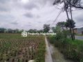 cicilan perumahan di majalengka,perumahan subsidi majalengka,perumahan baru di majalengka,daftar perumahan di majalengka,perumahan cluster di majalengka,perumahan sukahaji majalengka,harga perum bca majalengka,rumah tanpa dp majalengka,rumah majalengka,rumah kpr majalengka,rumah di majalengka,perumahan di majalengka,perumahan islami majalengka,perumahan islami di majalengka,perumahan syariah majalengka,perumahan syariah majalengka,rumah jatiwangi,rumah di jatiwangi,rumah jatiwangi majalengka,rumah di jatiwangi majalengka,rumah syariah jatiwangi,rumah syariah di jatiwangi,rumah syariah jatiwangi majalengka,rumah syariah di jatiwangi majalengka,rumah majalengka 200 jutaan,rumah majalengka 300 jutaan,rumah majalengka 400 jutaan,rumah majalengka 500 jutaan,rumah majalengka 600 jutaan,rumah majalengka 700 jutaan,rumah majalengka 800 jutaan,rumah majalengka 900 jutaan,rumah majalengka 1 milyar,rumah majalengka 2 milyar,rumah majalengka 3 milyar,rumah majalengka dekat bandara,rumah kampung majalengka 200 jutaan,rumah kampung majalengka 300 jutaan,rumah kampung majalengka 400 jutaan,rumah kampung majalengka 500 jutaan,rumah kampung majalengka 600 jutaan,rumah kampung majalengka 700 jutaan,rumah kampung majalengka 800 jutaan,rumah kampung majalengka 900 jutaan,rumah kampung majalengka 1 milyar,rumah kampung majalengka 2 milyar,rumah kampung majalengka 3 milyar,rumah kampung majalengka dekat bandara,rumah dijual majalengka 200 jutaan,rumah dijual majalengka 300 jutaan,rumah dijual majalengka 400 jutaan,rumah dijual majalengka 500 jutaan,rumah dijual majalengka 600 jutaan,rumah dijual majalengka 700 jutaan,rumah dijual majalengka 800 jutaan,rumah dijual majalengka 900 jutaan,rumah dijual majalengka 1 milyar,rumah dijual majalengka 2 milyar,rumah dijual majalengka 3 milyar,rumah dijual majalengka dekat bandara,rumah dijual kampung majalengka 200 jutaan,rumah dijual kampung majalengka 300 jutaan,rumah dijual kampung majalengka 400 jutaan,rumah dijual kampung majalengka 500 jutaan,rumah dijual kampung majalengka 600 jutaan,rumah dijual kampung majalengka 700 jutaan,rumah dijual kampung majalengka 800 jutaan,rumah dijual kampung majalengka 900 jutaan,rumah dijual kampung majalengka 1 milyar,rumah dijual kampung majalengka 2 milyar,rumah dijual kampung majalengka 3 milyar,rumah dijual kampung majalengka dekat bandara,rumah dijual di majalengka 200 jutaan,rumah dijual di majalengka 300 jutaan,rumah dijual di majalengka 400 jutaan,rumah dijual di majalengka 500 jutaan,rumah dijual di majalengka 600 jutaan,rumah dijual di majalengka 700 jutaan,rumah dijual di majalengka 800 jutaan,rumah dijual di majalengka 900 jutaan,rumah dijual di majalengka 1 milyar,rumah dijual di majalengka 2 milyar,rumah dijual di majalengka 3 milyar,rumah dijual di majalengka dekat bandara,rumah dijual kampung di majalengka 200 jutaan,rumah dijual kampung di majalengka 300 jutaan,rumah dijual kampung di majalengka 400 jutaan,rumah dijual kampung di majalengka 500 jutaan,rumah dijual kampung di majalengka 600 jutaan,rumah dijual kampung di majalengka 700 jutaan,rumah dijual kampung di majalengka 800 jutaan,rumah dijual kampung di majalengka 900 jutaan,rumah dijual kampung di majalengka 1 milyar,rumah dijual kampung di majalengka 2 milyar,rumah dijual kampung di majalengka 3 milyar,rumah dijual kampung di majalengka dekat bandara,rumah majalengka 200 jutaan dijual,rumah majalengka 300 jutaan dijual,rumah majalengka 400 jutaan dijual,rumah majalengka 500 jutaan dijual,rumah majalengka 600 jutaan dijual,rumah majalengka 700 jutaan dijual,rumah majalengka 800 jutaan dijual,rumah majalengka 900 jutaan dijual,rumah majalengka 1 milyar dijual,rumah majalengka 2 milyar dijual,rumah majalengka 3 milyar dijual,rumah majalengka dekat bandara dijual,rumah kampung majalengka 200 jutaan dijual,rumah kampung majalengka 300 jutaan dijual,rumah kampung majalengka 400 jutaan dijual,rumah kampung majalengka 500 jutaan dijual,rumah kampung majalengka 600 jutaan dijual,rumah kampung majalengka 700 jutaan dijual,rumah kampung majalengka 800 jutaan dijual,rumah kampung majalengka 900 jutaan dijual,rumah kampung majalengka 1 milyar dijual,rumah kampung majalengka 2 milyar dijual,rumah kampung majalengka 3 milyar dijual,rumah kampung majalengka dekat bandara dijual,lelang rumah di majalengka,rumah murah di majalengka,rumah dijual di majalengka kulon,daftar perumahan di majalengka,harga cicilan perumahan di majalengka,perumahan elit di majalengka,jual rumah dan tanah di majalengka,jual rumah butuh uang majalengka,perumahan jatiwangi, majalengka,jual beli rumah majalengka,harga tanah di majalengka kulon,jual rumah dan tanah di majalengka,tanah dijual di cigasong majalengka,over kredit perumahan di majalengka,rumah yg dijual murah di ciborelang majalengka,jual rumah kadipaten majalengka,jual beli tanah majalengka,harga tanah 1 bata - di majalengka,jual tanah di jatipamor majalengka,harga tanah per meter di majalengka,jual tanah kebun murah di majalengka,harga tanah di majalengka kulon,tanah dijual di jatiwangi majalengka,tanah kavling majalengka,harga tanah di majalengka kulon,jual tanah di maja majalengka,tanah dijual di jatiwangi majalengka,harga tanah di kadipaten majalengka,perkebunan dijual di majalengka,harga tanah 1 bata - di majalengka,jual tanah di jatipamor majalengka,harga tanah per meter di sumberjaya majalengka,Dijual tanah kavling di majalengka kota,Dijual tanah kavling di majalengka,Dijual tanah kavling majalengka,KAVLING MURAH MAJALENGKA,Tanah Kavling Sanyland Cikasarung Majalengka,Dijual kavling di daerah Kabupaten Majalengka,bandara kertajati dijual,tanah dijual di kertajati majalengka,harga tanah di kertajati majalengka,perumahan dekat bandara kertajati,komplek neglasari majalengka,kertajati dimana,kertajati, majalengka,tol kertajati,bandara kertajati diresmikan,kecamatan kertajati,jadwal penerbangan bandara kertajati 2022,bandara kertajati ditutup,denah bandara kertajati ,jual rumah cibubur,perumahan cibubur 200 juta,rumah cibubur murah,jual cepat rumah cibubur,perumahan cluster di cibubur,perumahan baru di cibubur,sewa rumah cibubur,alamat rumah di cibubur,Rumah Dijual di Cibubur,Rumah Dijual di Cibubur murah,Rumah untuk dijual untuk rumah murah cibubur,harga tanah per meter indramayu,harga tanah perbata di indramayu,jual tanah di sindang indramayu,tanah dijual di jatibarang indramayu,njop tanah indramayu kota,sawah dijual di indramayu,perumahan elit di indramayu,cari rumah harga 50 juta di indramayu,njop tanah indramayu kota,jual tanah di sindang, indramayu,harga tanah perbata di indramayu,perumahan elit di indramayu,cari rumah harga 50 juta di indramayu,harga tanah per 1 bata,harga tanah di jatibarang indramayu,cek harga tanah per meter,agen properti indramayu,perumahan indramayu kota,perumahan elit di indramayu,over kredit rumah di indramayu,kpr indramayu,jual beli rumah bekas indramayu,perumahan subsidi di indramayu kota,perumahan indramayu regency,tanah residensial adalah,tanah industri adalah,iklan komersial,contoh komersial,produk komersial adalah,komersial adalah brainly,contoh jasa komersial,media komersial adalah,perumahan cirebon murah,perumahan murah cirebon,perumahan di cirebon murah,perumahan murah di cirebon,rumah murah cirebon,rumah murah di cirebon,rumah cirebon murah,rumah di cirebon murah,Rumah Subsidi di Cirebon Termurah,harga cicilan perumahan cirebon,perumahan subsidi cirebon,perumahan terbaik di cirebon,perumahan baru di cirebon,perumahan cirebon sumber,perumahan cirebon dp murah,perumahan cirebon timur,Rekomendasi Perumahan di Cirebon ,Perumahan di Cirebon ,Cluster perumahan cirebon,Dijual rumah baru Cirebon,Daftar Perumahan Cirebon Dan Kuningan,Daftar Perumahan Cirebon ,Daftar Perumahan Kuningan ,Daftar Perumahan Majalengka,Daftar Perumahan Indramayu,Daftar Perumahan Kota Cirebon,Daftar Perumahan Brebes,Daftar Perumahan tegal,Daftar Perumahan Kedawung,Daftar Perumahan sumber,Daftar Perumahan klayan,Daftar Perumahan gunung jati,Daftar Perumahan weru,Daftar Perumahan plered,Daftar Perumahan arjawinangun,Daftar Perumahan watubelah,Daftar Perumahan susukan,Daftar Perumahan ciwaringin,Daftar Perumahan jamblang,Daftar Perumahan depok,Daftar Perumahan dukupuntang,Daftar Perumahan ciwaringin,Daftar Perumahan sindanglaut,Daftar Perumahan beber,Daftar Perumahan astanajapura,Daftar Perumahan pangenan,Daftar Perumahan Gebang,Daftar Perumahan Babakan,Daftar Perumahan Pangenan,Daftar Perumahan ciledug,Daftar Perumahan Gegesik,Daftar Perumahan Gempol,Daftar Perumahan Greged,Daftar Perumahan Kaliwedi,Daftar Perumahan Karangsembung,Daftar Perumahan Karangwareng,Daftar Perumahan Losari,Daftar Perumahan Mundu,Daftar Perumahan Pabedilan,Daftar Perumahan Pabuaran,Daftar Perumahan Palimanan,Daftar Perumahan Klangenan,Daftar Perumahan Pasaleman,Daftar Perumahan Sedong,Daftar Perumahan Suranenggala,Daftar Perumahan tengahtani,Daftar Perumahan Waled,Daftar Perumahan Susukanlebak,Daftar Perumahan Talun,Daftar Perumahan Kesambi,Daftar Perumahan Harjamukti,Daftar Perumahan kejaksaan,Daftar Perumahan Lemahwungkuk,Daftar Perumahan Pekalipan,Daftar Perumahan Ciawigebang,Daftar Perumahan Cibereum,Daftar Perumahan Cibingbin,Daftar Perumahan CIdahu,Daftar Perumahan Cigandamekar,Daftar Perumahan Cigugur,Daftar Perumahan CIlebak,Daftar Perumahan Cilimus,Daftar Perumahan Cimahi,Daftar Perumahan Darma,Daftar Perumahan Garawangi,Daftar Perumahan Cipicung,Daftar Perumahan Ciniru,Daftar Perumahan Ciwaru,Daftar Perumahan Hantara,Daftar Perumahan Jalaksana,Daftar Perumahan Kadugede,Daftar Perumahan Japara,Daftar Perumahan Kalimanggis,Daftar Perumahan Karangkancana,Daftar Perumahan Kramatmulya,Daftar Perumahan Lebakwangi,Daftar Perumahan Luragung,Daftar Perumahan maleber,Daftar Perumahan Mandirancan,Daftar Perumahan Nusaherang,Daftar Perumahan Pancalang,Daftar Perumahan Pasawahan,Daftar Perumahan Salajambe,Daftar Perumahan Sindangagung,Daftar Perumahan Subang,Daftar Perumahan Argapura,Daftar Perumahan Banjaran,Daftar Perumahan Bantarujeg,Daftar Perumahan Cigasong,Daftar Perumahan Cikijing,Daftar Perumahan CIngambul,Daftar Perumahan Dawuan,Daftar Perumahan Jatitujuh,Daftar Perumahan jatiwangi,Daftar Perumahan Kadipaten,Daftar Perumahan Kasokandel,Daftar Perumahan Kertajati,Daftar Perumahan Lemahsugih,Daftar Perumahan Leuwimunding,Daftar Perumahan Ligung,Daftar Perumahan Maja,Daftar Perumahan Palasah,Daftar Perumahan malausma,Daftar Perumahan Panyingkiran,Daftar Perumahan Rajagaluh,Daftar Perumahan Sindang,Daftar Perumahan SIndangwangi,Daftar Perumahan Sukahaji,Daftar Perumahan Sumberjaya,Daftar Perumahan Talaga,Daftar Perumahan Anjatan,Daftar Perumahan Arahan,Daftar Perumahan Balongan,Daftar Perumahan Bangodua,Daftar Perumahan Bongas,Daftar Perumahan Cantigi,Daftar Perumahan Cikedung,Daftar Perumahan Gabuswetan,Daftar Perumahan Gantar,Daftar Perumahan Haurgeulis,Daftar Perumahan Jatibarang,Daftar Perumahan Indramayu,Daftar Perumahan Juntinyuat,Daftar Perumahan Kandanghaur,Daftar Perumahan Karangampel,Daftar Perumahan Kedokan bunder,Daftar Perumahan kertasemaya,Daftar Perumahan Krangkeng,Daftar Perumahan Kroya,Daftar Perumahan Lelea,Daftar Perumahan Lohbener,Daftar Perumahan Losarang,Daftar Perumahan Pasekan,Daftar Perumahan Patrol,Daftar Perumahan SIndang,Daftar Perumahan SLiyeg,Daftar Perumahan Sukagumiwang,Daftar Perumahan SUkra,Daftar Perumahan Terisi,Daftar Perumahan Widasari,Daftar Perumahan Banjarharjo,Daftar Perumahan Bantarkawung,Daftar Perumahan Brebes,Daftar Perumahan Bulakamba,Daftar Perumahan Bumiayu,Daftar Perumahan Jatibarang,Daftar Perumahan Kersana,Daftar Perumahan Losari,Daftar Perumahan Paguyangan,Daftar Perumahan Salem,Daftar Perumahan Sirampog,Daftar Perumahan Tanjung,Daftar Perumahan Tonjong,Daftar Perumahan Wanasari,Perumahan Baru Kota Cirebon,Perumahan baru kabupaten cirebon,Perumahan baru majalengka,Perumahan baru indramayu,Perumahan baru kuningan,perumahan baru tegal,perumahan baru slawi,Perumahan Strategis di Cirebon,Perumahan Strategis di Majalengka,Perumahan Strategis di KUningan,Perumahan Strategis di Indramayu,Perumahan Strategis di Brebes,Perumahan Strategis di Tegal,Beli Rumah Di Cirebon Sekarang,Beli Rumah Di Kota Cirebon Sekarang,Beli Rumah Di Kuningan Sekarang,Beli Rumah Di Majalengka Sekarang,Beli Rumah Di Indramayu Sekarang,Rumah Subsidi di indramayu,Rumah Subsidi di kuningan,Rumah Subsidi di majalengka,Rumah Subsidi di brebes,Rumah Subsidi di tegal,Rumah dijual di Cirebon Kota,Rumah dijual di Cirebon,Rumah dijual di majalengka,Rumah dijual di kuningan,Rumah dijual di indramayu,Rumah dijual di brebes,rumah murah di cirebon,komplek perumahan di cirebon,jual rumah cirebon kota,rumah harga 200 juta di cirebon,rumah harga 50 juta di cirebon,rumah dijual di lemahwungkuk, cirebon,forum jual beli rumah cirebon,olx rumah cirebon,50 juta,rumah mewah,kota cirebon jawa,sumber cirebon,rumah dijual,rumah kampung,mitula properti,kedawung cirebon,kedawung regency,kabupaten cirebon,perumahan,pangeran cakrabuana,kesambi cirebon,kab cirebon,perumahan cirebon,cluster,perumahan subsidi cirebon,perumahan syariah cirebon,perumahan mewah,kedawung cirebon,ciledug cirebon,cirebon profile,trovit,kota cirebon jawa,rumah subsidi,perumahan elit,kpr subsidi,dijual,perumahan cluster,plumbon cirebon,properti,wisata,kota,stasiun,hotel,peta,keraton,grage,pelabuhan,tugu,pantai,indonesia,logo,kasepuhan,malam,tempat,jalan,balai kota,night city,map,palimanan,jawa,alamat,sumber,kuliner,sultan,dulu,rumah,banjir,cottage,cirebon map,cirebon wisata,kecamatan di kabupaten cirebon,cirebon to jakarta,luas cirebon,bahasa cirebon,cirebon hotel,cirebon kuliner,agen properti kuningan jawa barat,lelang rumah di kuningan jawa barat,rumah dijual di kuningan jawa barat,rumah lelang bank di kuningan,jual rumah pedesaan kuningan jawa barat,lelang rumah btn kuningan,jual tanah di kuningan, jawa barat,rumah 100 juta kuningan jawa barat,rumah,rumah kuningan,rumah di kuningan,rumah kuningan dijual,rumah kuningan disewa,rumah kuningan dijual murah,rumah kuningan disewa murah,rumah di kuningan dijual,rumah di kuningan disewa,rumah di kuningan disewa,rumah di kuningan disewa murah,Daftar iklan properti dijual di Kuningan,iklan properti dijual di Kuningan ,cari properti di Kuningan ,properti terlengkap di Kuningan,harga tanah di kuningan,harga ruko di kuningan,harga rumah di kuningan,harga gudang di kuningan,harga perumahan subsidi di kuningan,harga perumahan cluster di kuningan,rumah dijual di kuningan,rumah di kuningan dijual cepat,rumah di kuningan 100 jutaan,rumah di kuningan 200 jutaan,rumah di kuningan 300 jutaan,rumah di kuningan 400 jutaan,rumah di kuningan 500 jutaan,rumah di kuningan 600 jutaan,rumah di kuningan 700 jutaan,rumah di kuningan 800 jutaan,rumah di kuningan 900 jutaan,rumah di kuningan 1 Milyar,rumah di kuningan 2 Milyar,rumah di kuningan 3 Milyar,rumah di kuningan 4 Milyar,rumah di kuningan 5 Milyar,rumah di kuningan 6 Milyar,rumah di kuningan 7 Milyar,rumah di kuningan 8 Milyar,rumah di kuningan 9 Milyar,rumah di kuningan 10 Milyar,rumah di kuningan diatas 10 Milyar,rumah di kuningan dibawah 1 Milyar,rumah di kuningan diatas 1 Milyar,rumah dijual di kuningan 100 jutaan,rumah dijual di kuningan 200 jutaan,rumah dijual di kuningan 300 jutaan,rumah dijual di kuningan 400 jutaan,rumah dijual di kuningan 500 jutaan,rumah dijual di kuningan 600 jutaan,rumah dijual di kuningan 700 jutaan,rumah dijual di kuningan 800 jutaan,rumah dijual di kuningan 900 jutaan,rumah dijual di kuningan 1 Milyar,rumah dijual di kuningan 2 Milyar,rumah dijual di kuningan 3 Milyar,rumah dijual di kuningan 4 Milyar,rumah dijual di kuningan 5 Milyar,rumah dijual di kuningan 6 Milyar,rumah dijual di kuningan 7 Milyar,rumah dijual di kuningan 8 Milyar,rumah dijual di kuningan 9 Milyar,rumah dijual di kuningan 10 Milyar,rumah dijual di kuningan diatas 10 Milyar,rumah dijual di kuningan dibawah 1 Milyar,rumah dijual di kuningan diatas 1 Milyar,atr bpn kabupaten kuningan,kepala bpn kuningan,layanan atrbpn,intan atrbpn go id pengecekan sertifikat,https intan atr_bpn go id,ptsl kabupaten kuningan,tanah harga 30 jutaan di kuningan jawa barat,harga tanah per meter di kuningan jawa barat,harga tanah pedesaan kuningan,harga tanah di mandirancan kuningan,jual tanah kebun murah di kuningan,komunitas jual beli rumah kuningan jawa barat,harga tanah di maleber kuningan,jual sawah di kuningan jawa barat,harga tanah per bata di kuningan jawa barat,harga tanah pedesaan kuningan,harga tanah di cijoho kuningan,harga tanah per meter di kuningan jakarta,harga tanah di jalaksana kuningan,harga tanah di maleber kuningan,jual rumah pedesaan kuningan jawa barat,harga tanah di mandirancan kuningan,lelang rumah di kuningan jawa barat,rumah lelang bank di kuningan,rumah 100 juta kuningan jawa barat,rumah dijual di ciporang kuningan jawa barat,rumah dijual di cilimus kuningan jawa barat,jual rumah pedesaan kuningan jawa barat,lelang rumah btn kuningan,perumahan cijoho kuningan jawa barat,peta cijoho kuningan,kode pos cijoho kuningan,cijoho landeuh,cijoho ciamis,cijoho singaparna,cijoho tasikmalaya,cijoho garut,loker pt kuningan jawa barat,loker pabrik kuningan jawa barat,pt.indofood kuningan jawa barat,pt mayora kuningan jawa barat,daftar perusahaan di kabupaten bogor,daftar perusahaan manufacturing di bogor,perusahaan di karawang,perusahaan di bogor,daftar sekolah di kuningan jawa barat,jumlah sma di kabupaten kuningan,smk di kuningan jawa barat,daftar nama sma di kuningan jawa barat,sma terbaik di kuningan jawa barat,sma swasta di kuningan,jumlah sd di kabupaten kuningan,sekolah dapodik,daftar universitas di kuningan jawa barat,universitas terbaik di kuningan jawa barat,biaya kuliah universitas kuningan,jurusan universitas kuningan,akreditasi universitas kuningan,universitas kuningan negeri atau swasta,biaya kuliah universitas kuningan 2022,beasiswa uniku 2022,struktur organisasi polres kuningan,website polres kuningan,kapolres kuningan,klinik polres kuningan,website polda jabar,rikkes berkala polri,biddokkes polri adalah,alamat biddokkes polda jabar,Properti dan Perumahan Dijual di Kuningan Terlengkap,perbedaan properti syariah dan konvensional,bisnis properti syariah adalah,pertanyaan tentang properti syariah,agen properti syariah,properti syariah bodong,kenapa harus property syariah,resiko perumahan syariah,contoh artikel tentang properti syariah,agen jual tanah,agen penjualan rumah,agen properti,agen properti bandung,agen properti bekasi,agen properti bogor,agen properti cikarang,agen properti di bandung,agen properti di bekasi,agen properti di bogor,agen properti di jakarta,agen properti di surabaya,agen properti jakarta,agen properti karawang,agen properti surabaya,agen properti syariah,agen properti tangerang,agen rumah bandung,agen rumah jakarta,agen tanah,agency property adalah,agency property syariah,alamat perumahan di bogor,amanah property syariah,bandung property,bekasi perumahan,beli perumahan,beli properti,beli rumah,beli rumah baru,beli rumah bekasi,beli rumah bogor,beli rumah cicil ke developer,beli rumah cikarang,beli rumah di bekasi,beli rumah di bogor,beli rumah di cikarang,beli rumah di jakarta barat,beli rumah di perumahan,beli rumah di tangerang,beli rumah jakarta timur,beli rumah murah di jakarta,beli rumah perumahan,beli rumah syariah,beli rumah tangerang,beli rumah tanpa riba,berkah property,biaya beli rumah dari developer,biaya jual rumah,biaya penjualan rumah,bisnis agen properti,bisnis jual beli rumah,bisnis jual rumah,bisnis properti rumah,bisnis properti syariah,bogor perumahan,cara beli perumahan,cara beli rumah di perumahan,cara beli rumah tanpa riba,cara bisnis perumahan,cara bisnis properti perumahan,cara cari rumah,cara cicil rumah tanpa riba,cara jual rumah,cara jual rumah ke agen properti,cara kredit rumah tanpa riba,cara membeli perumahan,cara membeli properti,cara membeli rumah,cara membeli rumah di perumahan,cara membeli rumah tanpa riba,cara memilih rumah,cara memiliki rumah tanpa riba,cara menawarkan rumah,cara mencicil rumah,cara menjadi pengusaha properti,cara punya rumah tanpa riba,cari developer perumahan,cari perumahan,cari perumahan murah di jakarta,cari properti,cari rumah,cari rumah baru,cari rumah di bekasi,cari rumah di jual,cari rumah dijual,cari rumah untuk dijual,cek developer perumahan,cek developer rumah,cicil rumah bandung,cicil rumah ke developer,cicil rumah murah,cicil rumah surabaya,cicil rumah tanpa riba,cikarang perumahan,cikarang residence,daftar agen properti bandung,daftar developer perumahan syariah terpercaya,daftar developer perumahan terpercaya,daftar developer property syariah,daftar perumahan syariah di tangerang,dalam perumahan,deskripsi properti,developer bekasi,developer bogor,developer di bandung,developer di indonesia,developer di surabaya,developer mencari tanah,developer perumahan bandung,developer perumahan di bandung,developer perumahan jakarta,developer perumahan surabaya,developer perumahan syariah,developer perumahan terbaik,developer perumahan terpercaya,developer properti indonesia,developer property syariah,developer property syariah bandung,developer property syariah bogor,developer property syariah indonesia,developer rumah bandung,developer rumah jakarta,developer rumah surabaya,developer rumah syariah,developer rumah terbaik,developer rumah terpercaya,developer surabaya,developer syariah,developer syariah bandung,developer syariah bekasi,developer syariah terpercaya,developer tangerang,developer terbaik,developer terbaik di indonesia,developer terdekat,developer terpercaya,di jual rumah,di jual rumah di bekasi,dicari tanah untuk perumahan,dijual perumahan,dijual rumah bekasi,dijual rumah di tangerang kota,dp rumah bandung,dp rumah di bekasi,dp rumah di jakarta,dp rumah murah bandung,dp rumah murah di bandung,dp rumah murah tangerang,dp rumah syariah,el mumtaz,grand cikarang residence,griya el mumtaz,griya mustanir residence,harga dp rumah,harga kpr rumah di bandung,harga kpr rumah di jakarta,harga perumahan cikarang,harga perumahan di cikarang,harga properti,harga properti jakarta,harga rumah,harga rumah baru,harga rumah bekasi,harga rumah bogor,harga rumah cikarang,harga rumah daerah bogor,harga rumah di,harga rumah di bandung,harga rumah di bandung timur,harga rumah di bekasi,harga rumah di bekasi barat,harga rumah di cikarang,harga rumah di indonesia,harga rumah di kabupaten tangerang,harga rumah di kota bogor,harga rumah di perumahan,harga rumah di perumahan bandung,harga rumah di perumahan jakarta,harga rumah di perumahan surabaya,harga rumah di tangerang,harga rumah di tangerang kota,harga rumah dijual,harga rumah karawang,harga rumah kpr di bandung,harga rumah kpr di bekasi,harga rumah kpr di tangerang,harga rumah lippo cikarang,harga rumah murah di jakarta barat,harga rumah murah di tangerang,harga rumah perumahan,harga rumah tangerang,harga tanah rumah,hunian islami,hunian syariah,iklan jual beli rumah,indonesia rumah,info jual beli rumah,info jual rumah,info perumahan,info rumah,info rumah di jual,info rumah dijual,info rumah dijual di bandung,ingin punya rumah tanpa riba,investasi perumahan,investasi properti 2021,investasi properti di indonesia,investasi properti syariah,investasi rumah,investasi rumah adalah,isykariman property penipuan,isykariman property syariah,isykariman property syariah penipuan,jenis jenis property,jenis properti,jual beli perumahan,jual beli properti,jual beli rumah,jual beli rumah cikarang,jual beli rumah dan tanah,jual beli rumah di bekasi,jual beli rumah di bogor,jual beli rumah surabaya,jual perumahan,jual perumahan di bandung,jual perumahan di jakarta,jual perumahan di surabaya,jual properti,jual properti jakarta,jual properti rumah,jual rumah,jual rumah baru,jual rumah bekasi,jual rumah bekasi barat,jual rumah bogor,jual rumah bogor baru,jual rumah cikarang,jual rumah daerah bekasi,jual rumah daerah bogor,jual rumah daerah tangerang,jual rumah di,jual rumah di bekasi,jual rumah di bogor,jual rumah di cikarang,jual rumah di tangerang,jual rumah karawang barat,jual rumah ke developer,jual rumah kota bekasi,jual rumah kota tangerang,jual rumah kredit,jual rumah murah di tangerang,jual rumah perumahan,jual rumah syariah,jual rumah syariah bandung,jual rumah syariah jakarta,jual rumah tanpa riba,jual rumah website,jual tanah perumahan,kantor agen properti terdekat,kantor developer,kantor properti terdekat,karangpawitan residence,kavling rumah,kavling syariah bandung,kavling syariah bekasi,kavling syariah bogor,konsep perumahan,konsep perumahan syariah,konsep rumah islami,kpr rumah bekasi,kpr rumah di bekasi,kpr rumah jakarta timur,kpr rumah murah,kpr rumah surabaya,kpr rumah syariah bandung,kpr rumah tanpa riba,kpr syariah tanpa riba,kpr tanpa bank,kpr tanpa bunga,kredit rumah bandung,kredit rumah bekasi,kredit rumah bogor,kredit rumah langsung ke developer,kredit rumah murah jakarta timur,kredit rumah syariah bogor,kredit rumah syariah jakarta,kredit rumah syariah surabaya,kredit rumah syariah tangerang,kredit rumah tanpa bank,kredit rumah tanpa bank di tangerang,kredit rumah tanpa riba,kredit rumah tanpa riba di surabaya,kredit rumah tanpa riba tanpa dp,legalitas developer perumahan,legalitas perumahan,legalitas perusahaan developer,legalitas properti,legalitas rumah,lihat perumahan,lokasi perumahan,macam properti,marketing jual rumah,marketing property syariah,mau beli rumah,mau jual rumah,membeli rumah,membeli rumah dengan kpr,membeli rumah tanpa riba,memilih rumah,mencari agen jual rumah,mencari rumah,mencari rumah dijual,mencari rumah murah,mitra properti,mitra properti syariah,pekerjaan agen properti,pembiayaan rumah syariah tanpa dp,pembiayaan rumah tanpa riba,pencarian rumah,pengalaman beli rumah tanpa riba,pengalaman jadi agen properti,pengembang perumahan terbaik,pengusaha properti adalah,penipuan developer syariah,penipuan perumahan,penipuan perumahan syariah,penipuan rumah syariah,penipuan syariah,pertimbangan membeli rumah,perum di bekasi,perum syariah,perumahan bagus,perumahan bagus di bekasi,perumahan baru,perumahan baru 2021,perumahan baru bekasi,perumahan baru bogor,perumahan baru cikarang,perumahan baru di bekasi,perumahan baru di bogor,perumahan baru di cikarang,perumahan baru terdekat,perumahan bekasi,perumahan bogor,perumahan cikarang,perumahan cikarang barat,perumahan cikarang baru,perumahan cikarang baru bekasi,perumahan cikarang bekasi,perumahan cikarang pusat,perumahan cikarang timur,perumahan di bandung murah,perumahan di bandung timur,perumahan di bekasi barat,perumahan di bogor,perumahan di bogor 2021,perumahan di cikarang,perumahan di cikarang barat,perumahan di cikarang pusat,perumahan di cikarang timur,perumahan di indonesia,perumahan di jual,perumahan di kredit rumah melalui developer,perumahan dijual,perumahan dp murah di bandung,perumahan grand,perumahan indonesia,perumahan islam,perumahan islami bandung,perumahan islami di bandung,perumahan islami di bekasi,perumahan islami di jakarta,perumahan islami di tangerang,perumahan kavling,perumahan kota bekasi,perumahan kpr murah,perumahan kpr murah di bandung,perumahan kpr surabaya,perumahan kpr syariah,perumahan murah cikarang,perumahan murah di bandung timur,perumahan murah di bekasi timur,perumahan murah di bogor kota,perumahan muslim,perumahan properti,perumahan residence,perumahan residence adalah,perumahan rumah,perumahan safa marwah,perumahan syariah adalah,perumahan syariah bandung,perumahan syariah bandung barat,perumahan syariah bandung tanpa dp,perumahan syariah bandung timur,perumahan syariah bekasi,perumahan syariah bekasi 2021,perumahan syariah bekasi timur,perumahan syariah bogor,perumahan syariah bogor 2021,perumahan syariah cikarang,perumahan syariah di bandung,perumahan syariah di bekasi,perumahan syariah di bekasi timur,perumahan syariah di bogor,perumahan syariah di cikarang,perumahan syariah di jakarta,perumahan syariah di karawang,perumahan syariah di surabaya,perumahan syariah di tangerang,perumahan syariah dp 0,perumahan syariah jakarta barat,perumahan syariah jakarta timur,perumahan syariah kabupaten tangerang,perumahan syariah karawang,perumahan syariah surabaya,perumahan syariah tangerang,perumahan syariah tanpa dp di tangerang,perumahan syariah tanpa riba,perumahan syariah terdekat,perumahan tanpa riba,perumahan tanpa riba di bekasi,perumahan terbaik,perumahan terbaik di bekasi,perumahan terbaru,perumahan terbaru 2021,perumahan terbesar di bekasi,perumahan yang bagus,perusahaan jual beli rumah,perusahaan properti di bandung,pesan rumah,profesional properti,properti baru,properti baru di jakarta,properti bekasi,properti bogor,properti di bekasi,properti di bogor,properti di indonesia,properti di jakarta,properti dijual,properti id,properti indonesia,properti jakarta,properti jawa barat,properti jawa timur,properti jual beli rumah,properti karawang,properti perumahan,properti rumah,properti rumah adalah,properti rumah dijual,properti rumah murah,properti syariah bandung,properti syariah bekasi,properti syariah bogor,properti syariah jakarta,properti syariah karawang,properti syariah surabaya,properti tanah,property bandung,property bogor,property cikarang,property syariah,property syariah adalah,property syariah bandung,property syariah bekasi,property syariah bogor,property syariah indonesia,property syariah surabaya,proyek perumahan,proyek perumahan baru,proyek properti,pt guna berkah propertindo,punya rumah tanpa riba,puri alam sakinah,puri cikarang,rekomendasi perumahan di bekasi,rekomendasi perumahan di bogor,rekomendasi perumahan di cikarang,rekomendasi perumahan di jakarta,residence perumahan,ru mah,ruma h,rumah 100 jutaan di jakarta,rumah 12,rumah bandung,rumah banyak,rumah baru,rumah baru bekasi,rumah baru di bekasi,rumah baru di bogor,rumah baru di jakarta,rumah baru di tangerang,rumah baru dijual,rumah baru jakarta,rumah baru murah,rumah baru surabaya,rumah baru surabaya timur,rumah baru tangerang,rumah bekasi,rumah bekasi dijual,rumah beli,rumah bogor,rumah bogor murah,rumah cicil ke developer,rumah cikarang,rumah cok,rumah daerah bogor,rumah daerah cikarang,rumah daerah tangerang,rumah developer,rumah di bekasi,rumah di bekasi murah,rumah di bekasi timur,rumah di bogor,rumah di bogor murah,rumah di cikarang,rumah di daerah bogor,rumah di indonesia,rumah di jababeka,rumah di jakarta murah,rumah di jual,rumah di jual daerah bogor,rumah di jual di bekasi,rumah di jual di cikarang,rumah di jual di tangerang kota,rumah di perumahan,rumah di surabaya timur,rumah di tangerang murah,rumah dijual cikarang,rumah dijual di,rumah dijual di bandung,rumah dijual di bandung kota,rumah dijual di bekasi,rumah dijual di bekasi timur,rumah dijual di bogor barat,rumah dijual di bogor baru,rumah dijual di cikarang,rumah dijual di cikarang barat,rumah dijual di indonesia,rumah dijual di jababeka cikarang,rumah dijual di jakarta barat,rumah dijual di kota bekasi,rumah dijual di kota bogor,rumah dijual di kota tangerang,rumah dijual di jabodetabek,rumah dijual di cibubur,rumah dijual di ciracas,rumah dijual di cipayung,rumah dijual di jatiasih,rumah dijual di bintaro,rumah dijual di cirebon,rumah dijual di bandung,rumah dijual di brebes,rumah dijual di kuningan,rumah dijual di indramayu,rumah dijual di majalengka,rumah dijual di subang,rumah dijual di palimanan,rumah dijual di kedawung,rumah dijual di kalikoa,rumah dijual di astanajapura,rumah dijual di arjawinangun,rumah dijual di plumbon,rumah dijual di jamblang,rumah dijual di dukupuntang,rumah dijual di sumber,rumah dijual di ciledug,rumah dijual di pasaleman,rumah dijual di gebang,rumah dijual di pangenan,rumah dijual di klayan,rumah dijual di gunungjati,rumah dijual di susukan,rumah dijual di ciwaringin,rumah dijual di tengahtani,rumah dijual di depok,rumah dijual di watubelah,rumah dijual di babakan,rumah dijual di lemahabang,rumah dijual di waled,rumah dijual di kesambi,rumah dijual di larangan,rumah dijual di perumnas,rumah dijual di harjamukti,rumah dijual di majasem,rumah dijual di karyamulya,rumah dijual di pekalipan,rumah dijual di lemahwungkuk,rumah dijual di kejaksaan,rumah dijual di argasunya,rumah dijual di kalijaga,rumah dijual di kecapi,rumah dijual di kebonbaru,rumah dijual di kesenden,rumah dijual di sukapura,rumah dijual di drajat,rumah dijual di sunyaragi,rumah dijual di pekiringan,rumah dijual di kasepuhan,rumah dijual di panjunan,rumah dijual di pegambiran,rumah dijual di pekalangan,rumah dijual di pulasaren,rumah dijual di jagasatru,rumah dijual di beber,rumah dijual di gegesik,rumah dijual di gempol,rumah dijual di kaliwedi,rumah dijual di kapetakan,rumah dijual di karangsembung,rumah dijual di karangwareng,rumah dijual di losari,rumah dijual di mundu,rumah dijual di pabedilan,rumah dijual di kedawung,rumah dijual di pabuaran,rumah dijual di panguragan,rumah dijual di plered,rumah dijual di sedong,rumah dijual di suranenggala,rumah dijual di susukan,rumah dijual di susukan lebak,rumah dijual di talun,rumah dijual di weru,rumah dijual di greged,rumah dijual di cakung,rumah dijual di jatinegara,rumah dijual di cipayung,rumah dijual di duren sawit,rumah dijual di kramat jati,rumah dijual di makasar,rumah dijual di matraman,rumah dijual di pasar rebo,rumah dijual di pulo gadung,rumah dijual di cakung barat,rumah dijual di cakung timur,rumah dijual di kelapa dua wetan,rumah dijual di kampung rambutan,rumah dijual di lubang buaya,rumah dijual di pulo gebang,rumah dijual di rawa terate,rumah dijual di ujung menteng,rumah dijual di pondok ranggon,rumah dijual di malaka jaya,rumah dijual di pondok bambu,rumah dijual di pondok kopi,rumah dijual di majalengka dekat BIJB,rumah dijual kota tangerang,rumah dijual murah bekasi,rumah dijual murah di tangerang,rumah dijual murah jakarta timur,rumah do,rumah dp murah,rumah dp murah bandung,rumah dp murah jakarta,rumah fi,rumah halal,rumah halal bogor,rumah halal indonesia,rumah harga,rumah hunian,rumah indonesia,rumah ini di jual,rumah ini dijual,rumah investasi,rumah islami,rumah jababeka,rumah jual beli,rumah kota bekasi,rumah kota tangerang,rumah kpr bandung,rumah kpr bandung barat,rumah kpr bandung timur,rumah kpr bekasi timur,rumah kpr di bandung,rumah kpr di bandung kota,rumah kpr di jakarta barat,rumah kpr murah,rumah kpr murah di bandung,rumah kpr murah jakarta,rumah kpr surabaya,rumah kpr syariah,rumah kpr syariah bandung,rumah kpr syariah bogor,rumah kpr syariah jakarta,rumah kpr syariah tangerang,rumah kpr syariah cibubur,rumah kpr syariah jatiasih,rumah kpr syariah bekasi,rumah kpr syariah jakarta timur,rumah kpr syariah jakarta utara,rumah kpr syariah jakarta barat,rumah kpr syariah jakarta selatan,rumah kpr syariah jakarta pusat,rumah kpr syariah tangerang,rumah kpr syariah tangerang selatan,rumah kpr syariah kota bogor,rumah kpr syariah pondok aren,rumah kpr syariah bintaro,rumah kpr syariah jatisampurna,rumah kpr syariah ciracas,rumah kpr syariah cipayung,rumah kpr syariah cirebon,rumah kpr syariah brebes,rumah kpr syariah majalengka,rumah kpr syariah kuningan,rumah kpr syariah indramayu,rumah kredit murah,rumah kredit syariah,rumah mau dijual,rumah murah bekasi,rumah murah bekasi kota,rumah murah bogor,rumah murah bogor kota,rumah murah daerah bogor,rumah murah daerah tangerang,rumah murah di bekasi,rumah murah di bekasi timur,rumah murah di bogor,rumah murah di kota bekasi,rumah murah di kota bogor,rumah murah di kota tangerang,rumah murah di tangerang,rumah murah di cirebon,rumah murah di brebes,rumah murah di kuningan,rumah murah di majalengka,rumah murah di indramayu,rumah murah di subang,rumah murah di kota cirebon,rumah murah di kota kuningan,rumah murah di kota majalengka,rumah murah di kota brebes,rumah murah di kota indramayu,rumah murah kota bekasi,rumah murah kota tangerang,rumah murah kpr,rumah murah sekitar jakarta,rumah murah syariah,rumah perum,rumah properti,rumah property,rumah residence,rumah riba,rumah sekitar jakarta,rumah surabaya,rumah syariah,rumah syariah 100 jutaan,rumah syariah adalah,rumah syariah bandung,rumah syariah bandung 2021,rumah syariah bandung timur,rumah syariah bekasi,rumah syariah bogor,rumah syariah bogor tanpa dp,rumah syariah cikarang,rumah syariah di bandung,rumah syariah di bekasi,rumah syariah di bogor,rumah syariah di tangerang,rumah syariah dp 0,rumah syariah dp murah,rumah syariah halal,rumah syariah indonesia,rumah syariah jakarta timur,rumah syariah karawang,rumah syariah murah,rumah syariah murah bandung,rumah syariah surabaya,rumah syariah tangerang,rumah syariah tanpa bank,rumah syariah tanpa dp,rumah syariah tanpa dp bekasi,rumah syariah tanpa dp tangerang,rumah syariah tanpa riba,rumah tanpa bank,rumah tanpa dp bekasi,rumah tanpa riba,rumah tanpa riba bandung,rumah tanpa riba bekasi,rumah tanpa riba jakarta,rumah tanpa riba tangerang,rumah untuk dijual,rumah yang di jual,rumah yang dijual,rumah yg dijual,sakinah property,situs beli rumah,situs cari rumah,situs jual beli properti,situs jual beli rumah,situs jual properti,situs jual properti terbaik,situs jual rumah,situs penjualan rumah,situs properti,situs properti indonesia,situs properti terbaik,situs rumah,situs rumah dijual,situs untuk jual rumah,syarat jadi agen properti,syarat menjadi agen properti,syariah property,tempat jual beli rumah,tempat jual rumah,the rumah property,tips beli rumah tanpa riba,tips bisnis properti,tips cari rumah,tips membeli perumahan,tips membeli properti,tips membeli rumah,tips membeli rumah baru,tips membeli rumah di perumahan,tips membeli rumah syariah,tips memilih developer perumahan,tips mencari rumah,tips properti,tips untuk beli rumah,unit rumah,usaha jual beli rumah,usaha perumahan,villa syariah bogor,visi misi perusahaan properti,web jual beli rumah,web jual rumah,web penjualan rumah,web untuk jual rumah,website agen properti,website cari rumah,website jual beli properti,website jual properti,website jual rumah jakarta,website properti,website properti indonesia,website properti terbaik,website rumah,website rumah dijual,website jual beli properti di jabodetabek,website jual beli properti di bogor,website jual beli properti di cibubur,website jual beli properti di jakarta timur,website jual beli properti di jakarta barat,website jual beli properti di jakarta utara,website jual beli properti di jakarta pusat,website jual beli properti di jakarta selatan,website jual beli properti di bekasi,website jual beli properti di depok,website jual beli properti di bogor,website jual beli properti di tangerang,website jual beli properti di bandung,website jual beli properti di cirebon,website jual beli properti di indramayu,website jual beli properti di majalengka,website jual beli properti di kuningan,website jual beli properti di brebes,website jual beli properti di kota bandung,website jual beli properti di kota jakarta,website jual beli properti di kota cirebon,website jual beli properti di kota bekasi,website jual beli properti di kota depok,website jual beli properti di kota bogor,website jual beli properti di kota tangerang,website jual beli properti di kota tangerang selatan,website jual beli properti di kota indramayu,website jual beli properti di kota kuningan,website jual beli properti di kota majalengka,website jual beli properti di kota brebes,website jual beli properti di kota subang,website jual properti,website jual rumah jakarta,website jual rumah jakarta barat,website jual rumah jakarta utara,website jual rumah jakarta selatan,website jual rumah jakarta timur,website jual rumah jakarta pusat,website jual rumah bekasi,website jual rumah depok,website jual rumah cirebon,website jual rumah bogor,website jual rumah tangerang,website jual rumah tangerang selatan,website jual rumah bandung,website jual rumah brebes,website jual rumah kuningan,website jual rumah majalengka,website jual rumah indramayu,website properti,website properti indonesia,website properti jawa,website properti jawa barat,website properti cirebon,website properti majalengka,website properti kuningan,website properti indramayu,website properti brebes,website properti depok,website properti bekasi,website properti bogor,website properti tangerang,website properti tangerang selatan,website properti jakarta timur,website properti jakarta utara,website properti jakarta pusat,website properti jakarta barat,website properti jakarta selatan,website properti bandung,website properti kota bandung,website properti terbaik,website rumah,website rumah dijual,agen properti cirebon,agen properti di cirebon,agent properti di kota cirebon,agent property di kota cirebon,agen properti di majalengka,agen properti di kota majalengka,agen properti di kertajati,agen properti di ligung,agen properti di jatiwangi,agen properti di majalengka kota,agen properti di indramayu,agen properti di kota indramayu,agen properti di kuningan,agen properti di kota kuningan,agen properti di brebes,agen properti di kota brebes,agen properti di tegal,agen properti di kota tegal,agen properti di pemalang,agen properti di kota pemalang,agen properti di kabupaten cirebon,agen properti di kabupaten majalengka,agen properti di kabupaten indramayu,agen properti di kabupaten kuningan,agen properti di kabupaten brebes,agen properti di kabupaten tegal,agen properti di kabupaten pemalang,agen properti di jawa barat,agen properti di jabar,agen properti di ciayumajakuning,agen properti di cirebon indramayu majalengka kuningan,agen property kab cirebon,agen property cirebon,agen property kota cirebon,agen property majalengka,agen property kuningan,agen property indramayu,agen property brebes,agen property slawi,agen property tegal,agen property bandung,agen property jakarta timur,agen property jakarta selatan,agen property jakarta barat,agen property tangerang,agen property bekasi,agen property depok,agen property bogor,agen property sumber cirebon,agen property plered cirebon,agen property palimanan cirebon,agen property klangenan cirebon,agen property arjawinangun cirebon,agen property cirebon timur,agen property ligung majalengka,agen property jatiwangi majalengka,Tanah industri cirebon,Tanah industri majalengka,Tanah industri kuningan,Tanah industri brebes,Tanah industri indramayu,Tanah industri tegal,Tanah industri pemalang,Tanah industri slawi,Tanah industri kota cirebon,Tanah industri cirebon timur,Tanah industri di cirebon,Tanah industri di kuningan,Tanah industri di majalengka,Tanah industri di indramayu,Tanah industri di tegal,Tanah industri di brebes,Tanah industri di pemalang,Tanah industri di slawi,Tanah industri di bandung,Tanah industri di batang,Tanah komersial di cirebon,Tanah komersial di palimanan,Tanah komersial di kalangenan,Tanah komersial di kota cirebon,Tanah komersial di wahidin cirebon,Tanah komersial di jalan wahidin cirebon,Tanah komersial di jalan tuparev cirebon,Tanah komersial di indramayu,Tanah komersial di kuningan,Tanah komersial di majalengka,Tanah komersial di brebes,Tanah komersial di pemalang,Tanah komersial di tegal,Tanah komersial di slawi,Tanah komersial dijual di cirebon,Tanah komersial dijual di malajengka,Tanah komersial dijual di kuningan,Tanah komersial dijual di indramayu,Tanah komersial dijual di tegal,Tanah komersial dijual di brebes,Tanah komersial dijual di bandung,Tanah komersial dijual di semarang,Tanah komersial dijual di slawi,Tanah komersial dijual di batang,Tanah komersial dijual di palimanan,Tanah komersial dijual di klangenan,Tanah komersial dijual di weru,Tanah komersial dijual di plered,Tanah komersial dijual di sumber ,Tanah komersial dijual di cirebon timur,Tanah komersial dijual di cirebon barat,Tanah komersial dijual di cirebon utara,Tanah komersial dijual di cirebon selatan,Tanah komersial dijual di majalengka timur,Tanah komersial dijual di majalengka kulon,Tanah komersial dijual di majalengka utara,Tanah komersial dijual di majalengka kota,ruko cirebon ,ruko cirebon dijual,ruko dijual di cirebon,ruko dijual di sumber,ruko dijual di klangenan,ruko dijual di palimanan,ruko dijual di plered,ruko dijual di weru,ruko dijual di tengah tani,ruko dijual di klayan,ruko dijual di tuparev,ruko dijual di jalan tuparev cirebon,ruko dijual di jalan wahidin cirebon,ruko dijual di kota cirebon,ruko dijual di brebes,ruko dijual di indramayu,ruko dijual di kuningan,ruko dijual di majalengka,ruko dijual di tegal,ruko dijual di slawi,ruko dijual di bandung,ruko dijual di bekasi,ruko dijual di depok,ruko dijual di bogor,ruko dijual di pemalang,ruko dijual di subang,rumah dijual di sumber,rumah dijual di klangenan,rumah dijual di palimanan,rumah dijual di kalangenan,rumah dijual di plered,rumah dijual di weru,rumah dijual di tengah tani,rumah dijual di dawuan,rumah dijual di kedawung,rumah dijual di klayan,rumah dijual di pilang,rumah dijual di watubelah,rumah dijual di sumber,rumah dijual di talun,rumah dijual di ciperna,rumah dijual di sedong,rumah dijual di lemahabang,rumah dijual di gebang,rumah dijual di ciledug,rumah dijual di arjawinangun,rumah dijual di tegalgubug,rumah dijual di susukan,rumah dijual di ciwaringin,rumah dijual di jamblang,rumah dijual di dukupuntang,rumah dijual di tegalwangi,rumah dijual di megu cilik,rumah dijual di megu gede,rumah dijual di jalan fatahillah cirebon,rumah dijual di jalan fatahilah plered,rumah dijual di jalan fatahilah cirebon,rumah dijual di jalan cipto cirebon,rumah dijual di cideng,rumah dijual di cangkol,rumah dijual di gunungjati,rumah dijual di adidarma,rumah dijual di klayan cirebon,rumah dijual di tangkil cirebon,rumah dijual di tangkil,rumah dijual di jalan tuparev cirebon,rumah dijual di perjuangan,rumah dijual di majasem cirebon,rumah dijual di jalan tuparev cirebon,rumah dijual di jalan panjunan,rumah dijual di jalan pagongan cirebon,rumah dijual di jalan ligung ,rumah dijual di jalan ligung majalengka,rumah dijual di jalan jatiwangi majalengka,Harga tanah di kawasan industri,Harga tanah di kawasan industri cirebon,Harga tanah di kawasan industri cirebon timur,Harga tanah di kawasan industri cirebon barat,Harga tanah di kawasan industri cirebon utara,Harga tanah di kawasan industri cirebon selatan,Harga tanah di kawasan industri majalengka,Harga tanah di kawasan industri kuningan,Harga tanah di kawasan industri indramayu,Harga tanah di kawasan industri brebes,Harga tanah di kawasan industri tegal,Harga tanah di kawasan industri pemalang,Harga tanah di kawasan industri bandung,Harga tanah di kawasan industri slawi,Harga tanah di kawasan industri batang,Harga tanah di kawasan industri terpadu,kawasan industri cirebon,kawasan industri brebes,kawasan industri kuningan,kawasan industri majalengka,kawasan industri indramayu,kawasan industri tegal,kawasan industri slawi,kawasan industri bandung,kawasan industri batang,kawasan industri kertajati,kawasan industri cirebon timur,zona industri cirebon,zona industri cirebon timur,zona industri kuningan,zona industri majalengka,zona industri indramayu,zona industri tegal,zona industri slawi,zona industri brebes,zona industri bandung,zona industri palimanan,zona industri susukan cirebon,zona industri rawaurip,zona industri gebang cirebon,Dijual Tanah Zona Merah Industri Pabedilan Cirebon ,Dijual Tanah Zona Merah Industri Pabedilan ,fakultas di itb cirebon,jurusan di itb cirebon 2022,itb cirebon akreditasi,pendaftaran itb cirebon,fttm itb cirebon,jurusan di itb cirebon 2023,itb cirebon arjawinangun,passing grade itb cirebon,ridwan kamil,kampus,pembangunan kampus baru,kabupaten cirebon,itb arjawinangun cirebon,fttm itb,pembangunan itb,teknik pertambangan,teknik industri,pembangunan gedung,jurusan itb ,tanah itb arjawinangun,tana yg mau dijual wilaya arjawinangun,tanah itb cirebon,tanah itb winong,tanah itb arjawinangun cirebon,tanah dijual dekat itb cirebon,kavling itb cirebon,kavling dijual dekat itb cirebon ,aset kapling,tanah kavling,itb kampus cirebon,itb arjawinangun cirebon,kabupaten cirebon,pembangunan kampus,kavling arjawinangun,kavling cirebon,legalitas shm,kampus ganesha,kapolres cirebon,polres cirebon,polres ciko,kuwu,desa adidharma,gunung jati,tanah,kabupaten cirebon,klayan,kepala desa,tanah dijual,kab cirebon,polsek gunungjati,rumah dijual,,peta kecamatan lemahabang, cirebon,daftar nama camat kabupaten cirebon 2020,daftar nama kuwu se kabupaten cirebon,profil desa di kabupaten cirebon,kabupaten cirebon timur,cirebon selatan,cirebon utara meliputi,pertamina cirebon,golden klayan,graha alana klayan,sd negeri,desa klayan,radar cirebon,pertamina klayan,truk,gunung jati,jalan raya,diamond,kabupaten cirebon,hotel,reddoorz,jembatan tangkil,membakar spbu,lokasi syuting,pembakaran spbu,asal usul desa tangkil kulon,asal usul desa tangkil susukan,sejarah desa tangkil,desa tangkil panggul trenggalek,perumahan cirebon murah,perumahan baru di cirebon,perumahan cirebon tanpa dp,perumahan terbaik di cirebon,perumahan subsidi cirebon,perumahan mewah di cirebon,perumahan cirebon timur,perumahan cluster di cirebon,perumahan subsidi,lobunta cirebon,rumah subsidi,lobunta land,tanpa riba,perumahan mewah,perumahan syariah,rumah dijual,kpr syariah,kabupaten cirebon,cirebon timur,kenanga residence,properti,ciledug cirebon timur,citraland cirebon,beringin asri,pagedangan,ramayana plered,kavling murah,kavling pagedangan,pagedangan asri,tanah dijual,kavling tanah,kota cirebon,peta kecamatan jatiwangi majalengka,ciri khas jatiwangi,genteng jatiwangi,cuaca jatiwangi majalengka,jatiwangi dimana,jatiwangi bekasi,jatiwangi cirebon,jatiwangi tuban,genteng jatiwangi,jatiwangi art factory,gereja,kecamatan jatiwangi,kabupaten majalengka jawa,properti jatiwangi,gki,desa jatiwangi,bandara kertajati diresmikan,bandara kertajati ditutup,tol kertajati,bandara kertajati sepi,jadwal penerbangan bandara kertajati,bandara kertajati terkini,kode bandara kertajati,jadwal penerbangan bandara kertajati 2022,airport,mangkrak,pesawat antonov,jemaah haji,pembangunan bandara,proyek mangkrak,bandar udara,internasional kertajati sepi,kertajati international,kertajati mangkrak,tol cisumdawu,kerta jati,kertajati bandara bandung,bandara majalengka,penerbangan domestik,investasi emas atau bisnis properti,investor pemula,investasi rumah,sektor properti,berbisnis properti,berinvestasi,real estate,investasi perumahan,investasi saham,apartemen,beli properti,investor properti,bidang properti,pandemi,investasi properti online,keuntungan investasi properti,investasi properti untuk anak muda,modal investasi properti,investasi properti apa saja,investasi properti modal kecil,pertanyaan tentang investasi properti,cara investasi properti untuk pemula,contoh mafia tanah,pengertian mafia tanah menurut para ahli,ciri-ciri mafia tanah,cara melaporkan mafia tanah,bagaimana mafia tanah bekerja,mafia tanah bpn,kasus mafia tanah terbaru,mafia tanah di indonesia,rest area tol cileunyi,terowongan,pembebasan lahan,terowongan tol,bandara kertajati,cileunyi sumedang dawuan,pembangunan tol,proyek tol,kabupaten majalengka,gerbang tol,tarif tol,lahan tol,tol cisumdawu gratis,tol cisumdawu beroperasi,peta tol cisumdawu terbaru,tol cisumdawu sampai mana,exit tol cisumdawu,kapan tol cisumdawu selesai,gerbang tol cisumdawu,tarif tol cisumdawu,amblas,tol cisumdawu,jalan,daerah mana,tarif tol cikopo,cipali ambles,km 122,exit tol,one way,pembangunan tol,tol cipali hari ini,tol cipali angker,sejarah tol cipali,rute tol cipali,tol cipali dimana,tarif tol cipali,peta tol cipali,gerbang tol cipali,cipali,kertajati,bandara kertajati,tarif tol cikopo palimanan,cirebonsumberjaya majalengka,jalan tol cirebon,pintu tol palimanan,cipali sumberjaya,jalur alternatif,tol kertajati,tarif tol sumberjaya cikampek,tarif tol cipali cikampek,tarif tol sumberjaya tegal,tarif tol ciperna,tarif tol ciperna kertajati,tarif tol cipali golongan 2,tarif tol palimanan pejagan,tarif tol sumberjaya semarang,images for cicilan perumahan di majalengka,images for perumahan subsidi majalengka,images for perumahan baru di majalengka,images for daftar perumahan di majalengka,images for perumahan cluster di majalengka,images for perumahan sukahaji majalengka,images for harga perum bca majalengka,images for rumah tanpa dp majalengka,images for rumah majalengka,images for rumah kpr majalengka,images for rumah di majalengka,images for perumahan di majalengka,images for perumahan islami majalengka,images for perumahan islami di majalengka,images for perumahan syariah majalengka,images for perumahan syariah majalengka,images for rumah jatiwangi,images for rumah di jatiwangi,images for rumah jatiwangi majalengka,images for rumah di jatiwangi majalengka,images for rumah syariah jatiwangi,images for rumah syariah di jatiwangi,images for rumah syariah jatiwangi majalengka,images for rumah syariah di jatiwangi majalengka,images for rumah majalengka 200 jutaan,images for rumah majalengka 300 jutaan,images for rumah majalengka 400 jutaan,images for rumah majalengka 500 jutaan,images for rumah majalengka 600 jutaan,images for rumah majalengka 700 jutaan,images for rumah majalengka 800 jutaan,images for rumah majalengka 900 jutaan,images for rumah majalengka 1 milyar,images for rumah majalengka 2 milyar,images for rumah majalengka 3 milyar,images for rumah majalengka dekat bandara,images for rumah kampung majalengka 200 jutaan,images for rumah kampung majalengka 300 jutaan,images for rumah kampung majalengka 400 jutaan,images for rumah kampung majalengka 500 jutaan,images for rumah kampung majalengka 600 jutaan,images for rumah kampung majalengka 700 jutaan,images for rumah kampung majalengka 800 jutaan,images for rumah kampung majalengka 900 jutaan,images for rumah kampung majalengka 1 milyar,images for rumah kampung majalengka 2 milyar,images for rumah kampung majalengka 3 milyar,images for rumah kampung majalengka dekat bandara,images for rumah dijual majalengka 200 jutaan,images for rumah dijual majalengka 300 jutaan,images for rumah dijual majalengka 400 jutaan,images for rumah dijual majalengka 500 jutaan,images for rumah dijual majalengka 600 jutaan,images for rumah dijual majalengka 700 jutaan,images for rumah dijual majalengka 800 jutaan,images for rumah dijual majalengka 900 jutaan,images for rumah dijual majalengka 1 milyar,images for rumah dijual majalengka 2 milyar,images for rumah dijual majalengka 3 milyar,images for rumah dijual majalengka dekat bandara,images for rumah dijual kampung majalengka 200 jutaan,images for rumah dijual kampung majalengka 300 jutaan,images for rumah dijual kampung majalengka 400 jutaan,images for rumah dijual kampung majalengka 500 jutaan,images for rumah dijual kampung majalengka 600 jutaan,images for rumah dijual kampung majalengka 700 jutaan,images for rumah dijual kampung majalengka 800 jutaan,images for rumah dijual kampung majalengka 900 jutaan,images for rumah dijual kampung majalengka 1 milyar,images for rumah dijual kampung majalengka 2 milyar,images for rumah dijual kampung majalengka 3 milyar,images for rumah dijual kampung majalengka dekat bandara,images for rumah dijual di majalengka 200 jutaan,images for rumah dijual di majalengka 300 jutaan,images for rumah dijual di majalengka 400 jutaan,images for rumah dijual di majalengka 500 jutaan,images for rumah dijual di majalengka 600 jutaan,images for rumah dijual di majalengka 700 jutaan,images for rumah dijual di majalengka 800 jutaan,images for rumah dijual di majalengka 900 jutaan,images for rumah dijual di majalengka 1 milyar,images for rumah dijual di majalengka 2 milyar,images for rumah dijual di majalengka 3 milyar,images for rumah dijual di majalengka dekat bandara,images for rumah dijual kampung di majalengka 200 jutaan,images for rumah dijual kampung di majalengka 300 jutaan,images for rumah dijual kampung di majalengka 400 jutaan,images for rumah dijual kampung di majalengka 500 jutaan,images for rumah dijual kampung di majalengka 600 jutaan,images for rumah dijual kampung di majalengka 700 jutaan,images for rumah dijual kampung di majalengka 800 jutaan,images for rumah dijual kampung di majalengka 900 jutaan,images for rumah dijual kampung di majalengka 1 milyar,images for rumah dijual kampung di majalengka 2 milyar,images for rumah dijual kampung di majalengka 3 milyar,images for rumah dijual kampung di majalengka dekat bandara,images for rumah majalengka 200 jutaan dijual,images for rumah majalengka 300 jutaan dijual,images for rumah majalengka 400 jutaan dijual,images for rumah majalengka 500 jutaan dijual,images for rumah majalengka 600 jutaan dijual,images for rumah majalengka 700 jutaan dijual,images for rumah majalengka 800 jutaan dijual,images for rumah majalengka 900 jutaan dijual,images for rumah majalengka 1 milyar dijual,images for rumah majalengka 2 milyar dijual,images for rumah majalengka 3 milyar dijual,images for rumah majalengka dekat bandara dijual,images for rumah kampung majalengka 200 jutaan dijual,images for rumah kampung majalengka 300 jutaan dijual,images for rumah kampung majalengka 400 jutaan dijual,images for rumah kampung majalengka 500 jutaan dijual,images for rumah kampung majalengka 600 jutaan dijual,images for rumah kampung majalengka 700 jutaan dijual,images for rumah kampung majalengka 800 jutaan dijual,images for rumah kampung majalengka 900 jutaan dijual,images for rumah kampung majalengka 1 milyar dijual,images for rumah kampung majalengka 2 milyar dijual,images for rumah kampung majalengka 3 milyar dijual,images for rumah kampung majalengka dekat bandara dijual,images for lelang rumah di majalengka,images for rumah murah di majalengka,images for rumah dijual di majalengka kulon,images for daftar perumahan di majalengka,images for harga cicilan perumahan di majalengka,images for perumahan elit di majalengka,images for jual rumah dan tanah di majalengka,images for jual rumah butuh uang majalengka,images for perumahan jatiwangi, majalengka,images for jual beli rumah majalengka,images for harga tanah di majalengka kulon,images for jual rumah dan tanah di majalengka,images for tanah dijual di cigasong majalengka,images for over kredit perumahan di majalengka,images for rumah yg dijual murah di ciborelang majalengka,images for jual rumah kadipaten majalengka,images for jual beli tanah majalengka,images for harga tanah 1 bata - di majalengka,images for jual tanah di jatipamor majalengka,images for harga tanah per meter di majalengka,images for jual tanah kebun murah di majalengka,images for harga tanah di majalengka kulon,images for tanah dijual di jatiwangi majalengka,images for tanah kavling majalengka,images for harga tanah di majalengka kulon,images for jual tanah di maja majalengka,images for tanah dijual di jatiwangi majalengka,images for harga tanah di kadipaten majalengka,images for perkebunan dijual di majalengka,images for harga tanah 1 bata - di majalengka,images for jual tanah di jatipamor majalengka,images for harga tanah per meter di sumberjaya majalengka,images for Dijual tanah kavling di majalengka kota,images for Dijual tanah kavling di majalengka,images for Dijual tanah kavling majalengka,images for KAVLING MURAH MAJALENGKA,images for Tanah Kavling Sanyland Cikasarung Majalengka,images for Dijual kavling di daerah Kabupaten Majalengka,images for bandara kertajati dijual,images for tanah dijual di kertajati majalengka,images for harga tanah di kertajati majalengka,images for perumahan dekat bandara kertajati,images for komplek neglasari majalengka,images for kertajati dimana,images for kertajati, majalengka,images for tol kertajati,images for bandara kertajati diresmikan,images for kecamatan kertajati,images for jadwal penerbangan bandara kertajati 2022,images for bandara kertajati ditutup,images for denah bandara kertajati ,images for jual rumah cibubur,images for perumahan cibubur 200 juta,images for rumah cibubur murah,images for jual cepat rumah cibubur,images for perumahan cluster di cibubur,images for perumahan baru di cibubur,images for sewa rumah cibubur,images for alamat rumah di cibubur,images for Rumah Dijual di Cibubur,images for Rumah Dijual di Cibubur murah,images for Rumah untuk dijual untuk rumah murah cibubur,images for harga tanah per meter indramayu,images for harga tanah perbata di indramayu,images for jual tanah di sindang indramayu,images for tanah dijual di jatibarang indramayu,images for njop tanah indramayu kota,images for sawah dijual di indramayu,images for perumahan elit di indramayu,images for cari rumah harga 50 juta di indramayu,images for njop tanah indramayu kota,images for jual tanah di sindang, indramayu,images for harga tanah perbata di indramayu,images for perumahan elit di indramayu,images for cari rumah harga 50 juta di indramayu,images for harga tanah per 1 bata,images for harga tanah di jatibarang indramayu,images for cek harga tanah per meter,images for agen properti indramayu,images for perumahan indramayu kota,images for perumahan elit di indramayu,images for over kredit rumah di indramayu,images for kpr indramayu,images for jual beli rumah bekas indramayu,images for perumahan subsidi di indramayu kota,images for perumahan indramayu regency,images for tanah residensial adalah,images for tanah industri adalah,images for iklan komersial,images for contoh komersial,images for produk komersial adalah,images for komersial adalah brainly,images for contoh jasa komersial,images for media komersial adalah,images for perumahan cirebon murah,images for perumahan murah cirebon,images for perumahan di cirebon murah,images for perumahan murah di cirebon,images for rumah murah cirebon,images for rumah murah di cirebon,images for rumah cirebon murah,images for rumah di cirebon murah,images for Rumah Subsidi di Cirebon Termurah,images for harga cicilan perumahan cirebon,images for perumahan subsidi cirebon,images for perumahan terbaik di cirebon,images for perumahan baru di cirebon,images for perumahan cirebon sumber,images for perumahan cirebon dp murah,images for perumahan cirebon timur,images for Rekomendasi Perumahan di Cirebon ,images for Perumahan di Cirebon ,images for Cluster perumahan cirebon,images for Dijual rumah baru Cirebon,images for Daftar Perumahan Cirebon Dan Kuningan,images for Daftar Perumahan Cirebon ,images for Daftar Perumahan Kuningan ,images for Daftar Perumahan Majalengka,images for Daftar Perumahan Indramayu,images for Daftar Perumahan Kota Cirebon,images for Daftar Perumahan Brebes,images for Daftar Perumahan tegal,images for Daftar Perumahan Kedawung,images for Daftar Perumahan sumber,images for Daftar Perumahan klayan,images for Daftar Perumahan gunung jati,images for Daftar Perumahan weru,images for Daftar Perumahan plered,images for Daftar Perumahan arjawinangun,images for Daftar Perumahan watubelah,images for Daftar Perumahan susukan,images for Daftar Perumahan ciwaringin,images for Daftar Perumahan jamblang,images for Daftar Perumahan depok,images for Daftar Perumahan dukupuntang,images for Daftar Perumahan ciwaringin,images for Daftar Perumahan sindanglaut,images for Daftar Perumahan beber,images for Daftar Perumahan astanajapura,images for Daftar Perumahan pangenan,images for Daftar Perumahan Gebang,images for Daftar Perumahan Babakan,images for Daftar Perumahan Pangenan,images for Daftar Perumahan ciledug,images for Daftar Perumahan Gegesik,images for Daftar Perumahan Gempol,images for Daftar Perumahan Greged,images for Daftar Perumahan Kaliwedi,images for Daftar Perumahan Karangsembung,images for Daftar Perumahan Karangwareng,images for Daftar Perumahan Losari,images for Daftar Perumahan Mundu,images for Daftar Perumahan Pabedilan,images for Daftar Perumahan Pabuaran,images for Daftar Perumahan Palimanan,images for Daftar Perumahan Klangenan,images for Daftar Perumahan Pasaleman,images for Daftar Perumahan Sedong,images for Daftar Perumahan Suranenggala,images for Daftar Perumahan tengahtani,images for Daftar Perumahan Waled,images for Daftar Perumahan Susukanlebak,images for Daftar Perumahan Talun,images for Daftar Perumahan Kesambi,images for Daftar Perumahan Harjamukti,images for Daftar Perumahan kejaksaan,images for Daftar Perumahan Lemahwungkuk,images for Daftar Perumahan Pekalipan,images for Daftar Perumahan Ciawigebang,images for Daftar Perumahan Cibereum,images for Daftar Perumahan Cibingbin,images for Daftar Perumahan CIdahu,images for Daftar Perumahan Cigandamekar,images for Daftar Perumahan Cigugur,images for Daftar Perumahan CIlebak,images for Daftar Perumahan Cilimus,images for Daftar Perumahan Cimahi,images for Daftar Perumahan Darma,images for Daftar Perumahan Garawangi,images for Daftar Perumahan Cipicung,images for Daftar Perumahan Ciniru,images for Daftar Perumahan Ciwaru,images for Daftar Perumahan Hantara,images for Daftar Perumahan Jalaksana,images for Daftar Perumahan Kadugede,images for Daftar Perumahan Japara,images for Daftar Perumahan Kalimanggis,images for Daftar Perumahan Karangkancana,images for Daftar Perumahan Kramatmulya,images for Daftar Perumahan Lebakwangi,images for Daftar Perumahan Luragung,images for Daftar Perumahan maleber,images for Daftar Perumahan Mandirancan,images for Daftar Perumahan Nusaherang,images for Daftar Perumahan Pancalang,images for Daftar Perumahan Pasawahan,images for Daftar Perumahan Salajambe,images for Daftar Perumahan Sindangagung,images for Daftar Perumahan Subang,images for Daftar Perumahan Argapura,images for Daftar Perumahan Banjaran,images for Daftar Perumahan Bantarujeg,images for Daftar Perumahan Cigasong,images for Daftar Perumahan Cikijing,images for Daftar Perumahan CIngambul,images for Daftar Perumahan Dawuan,images for Daftar Perumahan Jatitujuh,images for Daftar Perumahan jatiwangi,images for Daftar Perumahan Kadipaten,images for Daftar Perumahan Kasokandel,images for Daftar Perumahan Kertajati,images for Daftar Perumahan Lemahsugih,images for Daftar Perumahan Leuwimunding,images for Daftar Perumahan Ligung,images for Daftar Perumahan Maja,images for Daftar Perumahan Palasah,images for Daftar Perumahan malausma,images for Daftar Perumahan Panyingkiran,images for Daftar Perumahan Rajagaluh,images for Daftar Perumahan Sindang,images for Daftar Perumahan SIndangwangi,images for Daftar Perumahan Sukahaji,images for Daftar Perumahan Sumberjaya,images for Daftar Perumahan Talaga,images for Daftar Perumahan Anjatan,images for Daftar Perumahan Arahan,images for Daftar Perumahan Balongan,images for Daftar Perumahan Bangodua,images for Daftar Perumahan Bongas,images for Daftar Perumahan Cantigi,images for Daftar Perumahan Cikedung,images for Daftar Perumahan Gabuswetan,images for Daftar Perumahan Gantar,images for Daftar Perumahan Haurgeulis,images for Daftar Perumahan Jatibarang,images for Daftar Perumahan Indramayu,images for Daftar Perumahan Juntinyuat,images for Daftar Perumahan Kandanghaur,images for Daftar Perumahan Karangampel,images for Daftar Perumahan Kedokan bunder,images for Daftar Perumahan kertasemaya,images for Daftar Perumahan Krangkeng,images for Daftar Perumahan Kroya,images for Daftar Perumahan Lelea,images for Daftar Perumahan Lohbener,images for Daftar Perumahan Losarang,images for Daftar Perumahan Pasekan,images for Daftar Perumahan Patrol,images for Daftar Perumahan SIndang,images for Daftar Perumahan SLiyeg,images for Daftar Perumahan Sukagumiwang,images for Daftar Perumahan SUkra,images for Daftar Perumahan Terisi,images for Daftar Perumahan Widasari,images for Daftar Perumahan Banjarharjo,images for Daftar Perumahan Bantarkawung,images for Daftar Perumahan Brebes,images for Daftar Perumahan Bulakamba,images for Daftar Perumahan Bumiayu,images for Daftar Perumahan Jatibarang,images for Daftar Perumahan Kersana,images for Daftar Perumahan Losari,images for Daftar Perumahan Paguyangan,images for Daftar Perumahan Salem,images for Daftar Perumahan Sirampog,images for Daftar Perumahan Tanjung,images for Daftar Perumahan Tonjong,images for Daftar Perumahan Wanasari,images for Perumahan Baru Kota Cirebon,images for Perumahan baru kabupaten cirebon,images for Perumahan baru majalengka,images for Perumahan baru indramayu,images for Perumahan baru kuningan,images for perumahan baru tegal,images for perumahan baru slawi,images for Perumahan Strategis di Cirebon,images for Perumahan Strategis di Majalengka,images for Perumahan Strategis di KUningan,images for Perumahan Strategis di Indramayu,images for Perumahan Strategis di Brebes,images for Perumahan Strategis di Tegal,images for Beli Rumah Di Cirebon Sekarang,images for Beli Rumah Di Kota Cirebon Sekarang,images for Beli Rumah Di Kuningan Sekarang,images for Beli Rumah Di Majalengka Sekarang,images for Beli Rumah Di Indramayu Sekarang,images for Rumah Subsidi di indramayu,images for Rumah Subsidi di kuningan,images for Rumah Subsidi di majalengka,images for Rumah Subsidi di brebes,images for Rumah Subsidi di tegal,images for Rumah dijual di Cirebon Kota,images for Rumah dijual di Cirebon,images for Rumah dijual di majalengka,images for Rumah dijual di kuningan,images for Rumah dijual di indramayu,images for Rumah dijual di brebes,images for rumah murah di cirebon,images for komplek perumahan di cirebon,images for jual rumah cirebon kota,images for rumah harga 200 juta di cirebon,images for rumah harga 50 juta di cirebon,images for rumah dijual di lemahwungkuk, cirebon,images for forum jual beli rumah cirebon,images for olx rumah cirebon,images for 50 juta,images for rumah mewah,images for kota cirebon jawa,images for sumber cirebon,images for rumah dijual,images for rumah kampung,images for mitula properti,images for kedawung cirebon,images for kedawung regency,images for kabupaten cirebon,images for perumahan,images for pangeran cakrabuana,images for kesambi cirebon,images for kab cirebon,images for perumahan cirebon,images for cluster,images for perumahan subsidi cirebon,images for perumahan syariah cirebon,images for perumahan mewah,images for kedawung cirebon,images for ciledug cirebon,images for cirebon profile,images for trovit,images for kota cirebon jawa,images for rumah subsidi,images for perumahan elit,images for kpr subsidi,images for dijual,images for perumahan cluster,images for plumbon cirebon,images for properti,images for wisata,images for kota,images for stasiun,images for hotel,images for peta,images for keraton,images for grage,images for pelabuhan,images for tugu,images for pantai,images for indonesia,images for logo,images for kasepuhan,images for malam,images for tempat,images for jalan,images for balai kota,images for night city,images for map,images for palimanan,images for jawa,images for alamat,images for sumber,images for kuliner,images for sultan,images for dulu,images for rumah,images for banjir,images for cottage,images for cirebon map,images for cirebon wisata,images for kecamatan di kabupaten cirebon,images for cirebon to jakarta,images for luas cirebon,images for bahasa cirebon,images for cirebon hotel,images for cirebon kuliner,images for agen properti kuningan jawa barat,images for lelang rumah di kuningan jawa barat,images for rumah dijual di kuningan jawa barat,images for rumah lelang bank di kuningan,images for jual rumah pedesaan kuningan jawa barat,images for lelang rumah btn kuningan,images for jual tanah di kuningan, jawa barat,images for rumah 100 juta kuningan jawa barat,images for rumah,images for rumah kuningan,images for rumah di kuningan,images for rumah kuningan dijual,images for rumah kuningan disewa,images for rumah kuningan dijual murah,images for rumah kuningan disewa murah,images for rumah di kuningan dijual,images for rumah di kuningan disewa,images for rumah di kuningan disewa,images for rumah di kuningan disewa murah,images for Daftar iklan properti dijual di Kuningan,images for iklan properti dijual di Kuningan ,images for cari properti di Kuningan ,images for properti terlengkap di Kuningan,images for harga tanah di kuningan,images for harga ruko di kuningan,images for harga rumah di kuningan,images for harga gudang di kuningan,images for harga perumahan subsidi di kuningan,images for harga perumahan cluster di kuningan,images for rumah dijual di kuningan,images for rumah di kuningan dijual cepat,images for rumah di kuningan 100 jutaan,images for rumah di kuningan 200 jutaan,images for rumah di kuningan 300 jutaan,images for rumah di kuningan 400 jutaan,images for rumah di kuningan 500 jutaan,images for rumah di kuningan 600 jutaan,images for rumah di kuningan 700 jutaan,images for rumah di kuningan 800 jutaan,images for rumah di kuningan 900 jutaan,images for rumah di kuningan 1 Milyar,images for rumah di kuningan 2 Milyar,images for rumah di kuningan 3 Milyar,images for rumah di kuningan 4 Milyar,images for rumah di kuningan 5 Milyar,images for rumah di kuningan 6 Milyar,images for rumah di kuningan 7 Milyar,images for rumah di kuningan 8 Milyar,images for rumah di kuningan 9 Milyar,images for rumah di kuningan 10 Milyar,images for rumah di kuningan diatas 10 Milyar,images for rumah di kuningan dibawah 1 Milyar,images for rumah di kuningan diatas 1 Milyar,images for rumah dijual di kuningan 100 jutaan,images for rumah dijual di kuningan 200 jutaan,images for rumah dijual di kuningan 300 jutaan,images for rumah dijual di kuningan 400 jutaan,images for rumah dijual di kuningan 500 jutaan,images for rumah dijual di kuningan 600 jutaan,images for rumah dijual di kuningan 700 jutaan,images for rumah dijual di kuningan 800 jutaan,images for rumah dijual di kuningan 900 jutaan,images for rumah dijual di kuningan 1 Milyar,images for rumah dijual di kuningan 2 Milyar,images for rumah dijual di kuningan 3 Milyar,images for rumah dijual di kuningan 4 Milyar,images for rumah dijual di kuningan 5 Milyar,images for rumah dijual di kuningan 6 Milyar,images for rumah dijual di kuningan 7 Milyar,images for rumah dijual di kuningan 8 Milyar,images for rumah dijual di kuningan 9 Milyar,images for rumah dijual di kuningan 10 Milyar,images for rumah dijual di kuningan diatas 10 Milyar,images for rumah dijual di kuningan dibawah 1 Milyar,images for rumah dijual di kuningan diatas 1 Milyar,images for atr bpn kabupaten kuningan,images for kepala bpn kuningan,images for layanan atrbpn,images for intan atrbpn go id pengecekan sertifikat,images for https intan atr_bpn go id,images for ptsl kabupaten kuningan,images for tanah harga 30 jutaan di kuningan jawa barat,images for harga tanah per meter di kuningan jawa barat,images for harga tanah pedesaan kuningan,images for harga tanah di mandirancan kuningan,images for jual tanah kebun murah di kuningan,images for komunitas jual beli rumah kuningan jawa barat,images for harga tanah di maleber kuningan,images for jual sawah di kuningan jawa barat,images for harga tanah per bata di kuningan jawa barat,images for harga tanah pedesaan kuningan,images for harga tanah di cijoho kuningan,images for harga tanah per meter di kuningan jakarta,images for harga tanah di jalaksana kuningan,images for harga tanah di maleber kuningan,images for jual rumah pedesaan kuningan jawa barat,images for harga tanah di mandirancan kuningan,images for lelang rumah di kuningan jawa barat,images for rumah lelang bank di kuningan,images for rumah 100 juta kuningan jawa barat,images for rumah dijual di ciporang kuningan jawa barat,images for rumah dijual di cilimus kuningan jawa barat,images for jual rumah pedesaan kuningan jawa barat,images for lelang rumah btn kuningan,images for perumahan cijoho kuningan jawa barat,images for peta cijoho kuningan,images for kode pos cijoho kuningan,images for cijoho landeuh,images for cijoho ciamis,images for cijoho singaparna,images for cijoho tasikmalaya,images for cijoho garut,images for loker pt kuningan jawa barat,images for loker pabrik kuningan jawa barat,images for pt.indofood kuningan jawa barat,images for pt mayora kuningan jawa barat,images for daftar perusahaan di kabupaten bogor,images for daftar perusahaan manufacturing di bogor,images for perusahaan di karawang,images for perusahaan di bogor,images for daftar sekolah di kuningan jawa barat,images for jumlah sma di kabupaten kuningan,images for smk di kuningan jawa barat,images for daftar nama sma di kuningan jawa barat,images for sma terbaik di kuningan jawa barat,images for sma swasta di kuningan,images for jumlah sd di kabupaten kuningan,images for sekolah dapodik,images for daftar universitas di kuningan jawa barat,images for universitas terbaik di kuningan jawa barat,images for biaya kuliah universitas kuningan,images for jurusan universitas kuningan,images for akreditasi universitas kuningan,images for universitas kuningan negeri atau swasta,images for biaya kuliah universitas kuningan 2022,images for beasiswa uniku 2022,images for struktur organisasi polres kuningan,images for website polres kuningan,images for kapolres kuningan,images for klinik polres kuningan,images for website polda jabar,images for rikkes berkala polri,images for biddokkes polri adalah,images for alamat biddokkes polda jabar,images for Properti dan Perumahan Dijual di Kuningan Terlengkap,images for perbedaan properti syariah dan konvensional,images for bisnis properti syariah adalah,images for pertanyaan tentang properti syariah,images for agen properti syariah,images for properti syariah bodong,images for kenapa harus property syariah,images for resiko perumahan syariah,images for contoh artikel tentang properti syariah,images for agen jual tanah,images for agen penjualan rumah,images for agen properti,images for agen properti bandung,images for agen properti bekasi,images for agen properti bogor,images for agen properti cikarang,images for agen properti di bandung,images for agen properti di bekasi,images for agen properti di bogor,images for agen properti di jakarta,images for agen properti di surabaya,images for agen properti jakarta,images for agen properti karawang,images for agen properti surabaya,images for agen properti syariah,images for agen properti tangerang,images for agen rumah bandung,images for agen rumah jakarta,images for agen tanah,images for agency property adalah,images for agency property syariah,images for alamat perumahan di bogor,images for amanah property syariah,images for bandung property,images for bekasi perumahan,images for beli perumahan,images for beli properti,images for beli rumah,images for beli rumah baru,images for beli rumah bekasi,images for beli rumah bogor,images for beli rumah cicil ke developer,images for beli rumah cikarang,images for beli rumah di bekasi,images for beli rumah di bogor,images for beli rumah di cikarang,images for beli rumah di jakarta barat,images for beli rumah di perumahan,images for beli rumah di tangerang,images for beli rumah jakarta timur,images for beli rumah murah di jakarta,images for beli rumah perumahan,images for beli rumah syariah,images for beli rumah tangerang,images for beli rumah tanpa riba,images for berkah property,images for biaya beli rumah dari developer,images for biaya jual rumah,images for biaya penjualan rumah,images for bisnis agen properti,images for bisnis jual beli rumah,images for bisnis jual rumah,images for bisnis properti rumah,images for bisnis properti syariah,images for bogor perumahan,images for cara beli perumahan,images for cara beli rumah di perumahan,images for cara beli rumah tanpa riba,images for cara bisnis perumahan,images for cara bisnis properti perumahan,images for cara cari rumah,images for cara cicil rumah tanpa riba,images for cara jual rumah,images for cara jual rumah ke agen properti,images for cara kredit rumah tanpa riba,images for cara membeli perumahan,images for cara membeli properti,images for cara membeli rumah,images for cara membeli rumah di perumahan,images for cara membeli rumah tanpa riba,images for cara memilih rumah,images for cara memiliki rumah tanpa riba,images for cara menawarkan rumah,images for cara mencicil rumah,images for cara menjadi pengusaha properti,images for cara punya rumah tanpa riba,images for cari developer perumahan,images for cari perumahan,images for cari perumahan murah di jakarta,images for cari properti,images for cari rumah,images for cari rumah baru,images for cari rumah di bekasi,images for cari rumah di jual,images for cari rumah dijual,images for cari rumah untuk dijual,images for cek developer perumahan,images for cek developer rumah,images for cicil rumah bandung,images for cicil rumah ke developer,images for cicil rumah murah,images for cicil rumah surabaya,images for cicil rumah tanpa riba,images for cikarang perumahan,images for cikarang residence,images for daftar agen properti bandung,images for daftar developer perumahan syariah terpercaya,images for daftar developer perumahan terpercaya,images for daftar developer property syariah,images for daftar perumahan syariah di tangerang,images for dalam perumahan,images for deskripsi properti,images for developer bekasi,images for developer bogor,images for developer di bandung,images for developer di indonesia,images for developer di surabaya,images for developer mencari tanah,images for developer perumahan bandung,images for developer perumahan di bandung,images for developer perumahan jakarta,images for developer perumahan surabaya,images for developer perumahan syariah,images for developer perumahan terbaik,images for developer perumahan terpercaya,images for developer properti indonesia,images for developer property syariah,images for developer property syariah bandung,images for developer property syariah bogor,images for developer property syariah indonesia,images for developer rumah bandung,images for developer rumah jakarta,images for developer rumah surabaya,images for developer rumah syariah,images for developer rumah terbaik,images for developer rumah terpercaya,images for developer surabaya,images for developer syariah,images for developer syariah bandung,images for developer syariah bekasi,images for developer syariah terpercaya,images for developer tangerang,images for developer terbaik,images for developer terbaik di indonesia,images for developer terdekat,images for developer terpercaya,images for di jual rumah,images for di jual rumah di bekasi,images for dicari tanah untuk perumahan,images for dijual perumahan,images for dijual rumah bekasi,images for dijual rumah di tangerang kota,images for dp rumah bandung,images for dp rumah di bekasi,images for dp rumah di jakarta,images for dp rumah murah bandung,images for dp rumah murah di bandung,images for dp rumah murah tangerang,images for dp rumah syariah,images for el mumtaz,images for grand cikarang residence,images for griya el mumtaz,images for griya mustanir residence,images for harga dp rumah,images for harga kpr rumah di bandung,images for harga kpr rumah di jakarta,images for harga perumahan cikarang,images for harga perumahan di cikarang,images for harga properti,images for harga properti jakarta,images for harga rumah,images for harga rumah baru,images for harga rumah bekasi,images for harga rumah bogor,images for harga rumah cikarang,images for harga rumah daerah bogor,images for harga rumah di,images for harga rumah di bandung,images for harga rumah di bandung timur,images for harga rumah di bekasi,images for harga rumah di bekasi barat,images for harga rumah di cikarang,images for harga rumah di indonesia,images for harga rumah di kabupaten tangerang,images for harga rumah di kota bogor,images for harga rumah di perumahan,images for harga rumah di perumahan bandung,images for harga rumah di perumahan jakarta,images for harga rumah di perumahan surabaya,images for harga rumah di tangerang,images for harga rumah di tangerang kota,images for harga rumah dijual,images for harga rumah karawang,images for harga rumah kpr di bandung,images for harga rumah kpr di bekasi,images for harga rumah kpr di tangerang,images for harga rumah lippo cikarang,images for harga rumah murah di jakarta barat,images for harga rumah murah di tangerang,images for harga rumah perumahan,images for harga rumah tangerang,images for harga tanah rumah,images for hunian islami,images for hunian syariah,images for iklan jual beli rumah,images for indonesia rumah,images for info jual beli rumah,images for info jual rumah,images for info perumahan,images for info rumah,images for info rumah di jual,images for info rumah dijual,images for info rumah dijual di bandung,images for ingin punya rumah tanpa riba,images for investasi perumahan,images for investasi properti 2021,images for investasi properti di indonesia,images for investasi properti syariah,images for investasi rumah,images for investasi rumah adalah,images for isykariman property penipuan,images for isykariman property syariah,images for isykariman property syariah penipuan,images for jenis jenis property,images for jenis properti,images for jual beli perumahan,images for jual beli properti,images for jual beli rumah,images for jual beli rumah cikarang,images for jual beli rumah dan tanah,images for jual beli rumah di bekasi,images for jual beli rumah di bogor,images for jual beli rumah surabaya,images for jual perumahan,images for jual perumahan di bandung,images for jual perumahan di jakarta,images for jual perumahan di surabaya,images for jual properti,images for jual properti jakarta,images for jual properti rumah,images for jual rumah,images for jual rumah baru,images for jual rumah bekasi,images for jual rumah bekasi barat,images for jual rumah bogor,images for jual rumah bogor baru,images for jual rumah cikarang,images for jual rumah daerah bekasi,images for jual rumah daerah bogor,images for jual rumah daerah tangerang,images for jual rumah di,images for jual rumah di bekasi,images for jual rumah di bogor,images for jual rumah di cikarang,images for jual rumah di tangerang,images for jual rumah karawang barat,images for jual rumah ke developer,images for jual rumah kota bekasi,images for jual rumah kota tangerang,images for jual rumah kredit,images for jual rumah murah di tangerang,images for jual rumah perumahan,images for jual rumah syariah,images for jual rumah syariah bandung,images for jual rumah syariah jakarta,images for jual rumah tanpa riba,images for jual rumah website,images for jual tanah perumahan,images for kantor agen properti terdekat,images for kantor developer,images for kantor properti terdekat,images for karangpawitan residence,images for kavling rumah,images for kavling syariah bandung,images for kavling syariah bekasi,images for kavling syariah bogor,images for konsep perumahan,images for konsep perumahan syariah,images for konsep rumah islami,images for kpr rumah bekasi,images for kpr rumah di bekasi,images for kpr rumah jakarta timur,images for kpr rumah murah,images for kpr rumah surabaya,images for kpr rumah syariah bandung,images for kpr rumah tanpa riba,images for kpr syariah tanpa riba,images for kpr tanpa bank,images for kpr tanpa bunga,images for kredit rumah bandung,images for kredit rumah bekasi,images for kredit rumah bogor,images for kredit rumah langsung ke developer,images for kredit rumah murah jakarta timur,images for kredit rumah syariah bogor,images for kredit rumah syariah jakarta,images for kredit rumah syariah surabaya,images for kredit rumah syariah tangerang,images for kredit rumah tanpa bank,images for kredit rumah tanpa bank di tangerang,images for kredit rumah tanpa riba,images for kredit rumah tanpa riba di surabaya,images for kredit rumah tanpa riba tanpa dp,images for legalitas developer perumahan,images for legalitas perumahan,images for legalitas perusahaan developer,images for legalitas properti,images for legalitas rumah,images for lihat perumahan,images for lokasi perumahan,images for macam properti,images for marketing jual rumah,images for marketing property syariah,images for mau beli rumah,images for mau jual rumah,images for membeli rumah,images for membeli rumah dengan kpr,images for membeli rumah tanpa riba,images for memilih rumah,images for mencari agen jual rumah,images for mencari rumah,images for mencari rumah dijual,images for mencari rumah murah,images for mitra properti,images for mitra properti syariah,images for pekerjaan agen properti,images for pembiayaan rumah syariah tanpa dp,images for pembiayaan rumah tanpa riba,images for pencarian rumah,images for pengalaman beli rumah tanpa riba,images for pengalaman jadi agen properti,images for pengembang perumahan terbaik,images for pengusaha properti adalah,images for penipuan developer syariah,images for penipuan perumahan,images for penipuan perumahan syariah,images for penipuan rumah syariah,images for penipuan syariah,images for pertimbangan membeli rumah,images for perum di bekasi,images for perum syariah,images for perumahan bagus,images for perumahan bagus di bekasi,images for perumahan baru,images for perumahan baru 2021,images for perumahan baru bekasi,images for perumahan baru bogor,images for perumahan baru cikarang,images for perumahan baru di bekasi,images for perumahan baru di bogor,images for perumahan baru di cikarang,images for perumahan baru terdekat,images for perumahan bekasi,images for perumahan bogor,images for perumahan cikarang,images for perumahan cikarang barat,images for perumahan cikarang baru,images for perumahan cikarang baru bekasi,images for perumahan cikarang bekasi,images for perumahan cikarang pusat,images for perumahan cikarang timur,images for perumahan di bandung murah,images for perumahan di bandung timur,images for perumahan di bekasi barat,images for perumahan di bogor,images for perumahan di bogor 2021,images for perumahan di cikarang,images for perumahan di cikarang barat,images for perumahan di cikarang pusat,images for perumahan di cikarang timur,images for perumahan di indonesia,images for perumahan di jual,images for perumahan di kredit rumah melalui developer,images for perumahan dijual,images for perumahan dp murah di bandung,images for perumahan grand,images for perumahan indonesia,images for perumahan islam,images for perumahan islami bandung,images for perumahan islami di bandung,images for perumahan islami di bekasi,images for perumahan islami di jakarta,images for perumahan islami di tangerang,images for perumahan kavling,images for perumahan kota bekasi,images for perumahan kpr murah,images for perumahan kpr murah di bandung,images for perumahan kpr surabaya,images for perumahan kpr syariah,images for perumahan murah cikarang,images for perumahan murah di bandung timur,images for perumahan murah di bekasi timur,images for perumahan murah di bogor kota,images for perumahan muslim,images for perumahan properti,images for perumahan residence,images for perumahan residence adalah,images for perumahan rumah,images for perumahan safa marwah,images for perumahan syariah adalah,images for perumahan syariah bandung,images for perumahan syariah bandung barat,images for perumahan syariah bandung tanpa dp,images for perumahan syariah bandung timur,images for perumahan syariah bekasi,images for perumahan syariah bekasi 2021,images for perumahan syariah bekasi timur,images for perumahan syariah bogor,images for perumahan syariah bogor 2021,images for perumahan syariah cikarang,images for perumahan syariah di bandung,images for perumahan syariah di bekasi,images for perumahan syariah di bekasi timur,images for perumahan syariah di bogor,images for perumahan syariah di cikarang,images for perumahan syariah di jakarta,images for perumahan syariah di karawang,images for perumahan syariah di surabaya,images for perumahan syariah di tangerang,images for perumahan syariah dp 0,images for perumahan syariah jakarta barat,images for perumahan syariah jakarta timur,images for perumahan syariah kabupaten tangerang,images for perumahan syariah karawang,images for perumahan syariah surabaya,images for perumahan syariah tangerang,images for perumahan syariah tanpa dp di tangerang,images for perumahan syariah tanpa riba,images for perumahan syariah terdekat,images for perumahan tanpa riba,images for perumahan tanpa riba di bekasi,images for perumahan terbaik,images for perumahan terbaik di bekasi,images for perumahan terbaru,images for perumahan terbaru 2021,images for perumahan terbesar di bekasi,images for perumahan yang bagus,images for perusahaan jual beli rumah,images for perusahaan properti di bandung,images for pesan rumah,images for profesional properti,images for properti baru,images for properti baru di jakarta,images for properti bekasi,images for properti bogor,images for properti di bekasi,images for properti di bogor,images for properti di indonesia,images for properti di jakarta,images for properti dijual,images for properti id,images for properti indonesia,images for properti jakarta,images for properti jawa barat,images for properti jawa timur,images for properti jual beli rumah,images for properti karawang,images for properti perumahan,images for properti rumah,images for properti rumah adalah,images for properti rumah dijual,images for properti rumah murah,images for properti syariah bandung,images for properti syariah bekasi,images for properti syariah bogor,images for properti syariah jakarta,images for properti syariah karawang,images for properti syariah surabaya,images for properti tanah,images for property bandung,images for property bogor,images for property cikarang,images for property syariah,images for property syariah adalah,images for property syariah bandung,images for property syariah bekasi,images for property syariah bogor,images for property syariah indonesia,images for property syariah surabaya,images for proyek perumahan,images for proyek perumahan baru,images for proyek properti,images for pt guna berkah propertindo,images for punya rumah tanpa riba,images for puri alam sakinah,images for puri cikarang,images for rekomendasi perumahan di bekasi,images for rekomendasi perumahan di bogor,images for rekomendasi perumahan di cikarang,images for rekomendasi perumahan di jakarta,images for residence perumahan,images for ru mah,images for ruma h,images for rumah 100 jutaan di jakarta,images for rumah 12,images for rumah bandung,images for rumah banyak,images for rumah baru,images for rumah baru bekasi,images for rumah baru di bekasi,images for rumah baru di bogor,images for rumah baru di jakarta,images for rumah baru di tangerang,images for rumah baru dijual,images for rumah baru jakarta,images for rumah baru murah,images for rumah baru surabaya,images for rumah baru surabaya timur,images for rumah baru tangerang,images for rumah bekasi,images for rumah bekasi dijual,images for rumah beli,images for rumah bogor,images for rumah bogor murah,images for rumah cicil ke developer,images for rumah cikarang,images for rumah cok,images for rumah daerah bogor,images for rumah daerah cikarang,images for rumah daerah tangerang,images for rumah developer,images for rumah di bekasi,images for rumah di bekasi murah,images for rumah di bekasi timur,images for rumah di bogor,images for rumah di bogor murah,images for rumah di cikarang,images for rumah di daerah bogor,images for rumah di indonesia,images for rumah di jababeka,images for rumah di jakarta murah,images for rumah di jual,images for rumah di jual daerah bogor,images for rumah di jual di bekasi,images for rumah di jual di cikarang,images for rumah di jual di tangerang kota,images for rumah di perumahan,images for rumah di surabaya timur,images for rumah di tangerang murah,images for rumah dijual cikarang,images for rumah dijual di,images for rumah dijual di bandung,images for rumah dijual di bandung kota,images for rumah dijual di bekasi,images for rumah dijual di bekasi timur,images for rumah dijual di bogor barat,images for rumah dijual di bogor baru,images for rumah dijual di cikarang,images for rumah dijual di cikarang barat,images for rumah dijual di indonesia,images for rumah dijual di jababeka cikarang,images for rumah dijual di jakarta barat,images for rumah dijual di kota bekasi,images for rumah dijual di kota bogor,images for rumah dijual di kota tangerang,images for rumah dijual di jabodetabek,images for rumah dijual di cibubur,images for rumah dijual di ciracas,images for rumah dijual di cipayung,images for rumah dijual di jatiasih,images for rumah dijual di bintaro,images for rumah dijual di cirebon,images for rumah dijual di bandung,images for rumah dijual di brebes,images for rumah dijual di kuningan,images for rumah dijual di indramayu,images for rumah dijual di majalengka,images for rumah dijual di subang,images for rumah dijual di palimanan,images for rumah dijual di kedawung,images for rumah dijual di kalikoa,images for rumah dijual di astanajapura,images for rumah dijual di arjawinangun,images for rumah dijual di plumbon,images for rumah dijual di jamblang,images for rumah dijual di dukupuntang,images for rumah dijual di sumber,images for rumah dijual di ciledug,images for rumah dijual di pasaleman,images for rumah dijual di gebang,images for rumah dijual di pangenan,images for rumah dijual di klayan,images for rumah dijual di gunungjati,images for rumah dijual di susukan,images for rumah dijual di ciwaringin,images for rumah dijual di tengahtani,images for rumah dijual di depok,images for rumah dijual di watubelah,images for rumah dijual di babakan,images for rumah dijual di lemahabang,images for rumah dijual di waled,images for rumah dijual di kesambi,images for rumah dijual di larangan,images for rumah dijual di perumnas,images for rumah dijual di harjamukti,images for rumah dijual di majasem,images for rumah dijual di karyamulya,images for rumah dijual di pekalipan,images for rumah dijual di lemahwungkuk,images for rumah dijual di kejaksaan,images for rumah dijual di argasunya,images for rumah dijual di kalijaga,images for rumah dijual di kecapi,images for rumah dijual di kebonbaru,images for rumah dijual di kesenden,images for rumah dijual di sukapura,images for rumah dijual di drajat,images for rumah dijual di sunyaragi,images for rumah dijual di pekiringan,images for rumah dijual di kasepuhan,images for rumah dijual di panjunan,images for rumah dijual di pegambiran,images for rumah dijual di pekalangan,images for rumah dijual di pulasaren,images for rumah dijual di jagasatru,images for rumah dijual di beber,images for rumah dijual di gegesik,images for rumah dijual di gempol,images for rumah dijual di kaliwedi,images for rumah dijual di kapetakan,images for rumah dijual di karangsembung,images for rumah dijual di karangwareng,images for rumah dijual di losari,images for rumah dijual di mundu,images for rumah dijual di pabedilan,images for rumah dijual di kedawung,images for rumah dijual di pabuaran,images for rumah dijual di panguragan,images for rumah dijual di plered,images for rumah dijual di sedong,images for rumah dijual di suranenggala,images for rumah dijual di susukan,images for rumah dijual di susukan lebak,images for rumah dijual di talun,images for rumah dijual di weru,images for rumah dijual di greged,images for rumah dijual di cakung,images for rumah dijual di jatinegara,images for rumah dijual di cipayung,images for rumah dijual di duren sawit,images for rumah dijual di kramat jati,images for rumah dijual di makasar,images for rumah dijual di matraman,images for rumah dijual di pasar rebo,images for rumah dijual di pulo gadung,images for rumah dijual di cakung barat,images for rumah dijual di cakung timur,images for rumah dijual di kelapa dua wetan,images for rumah dijual di kampung rambutan,images for rumah dijual di lubang buaya,images for rumah dijual di pulo gebang,images for rumah dijual di rawa terate,images for rumah dijual di ujung menteng,images for rumah dijual di pondok ranggon,images for rumah dijual di malaka jaya,images for rumah dijual di pondok bambu,images for rumah dijual di pondok kopi,images for rumah dijual di majalengka dekat BIJB,images for rumah dijual kota tangerang,images for rumah dijual murah bekasi,images for rumah dijual murah di tangerang,images for rumah dijual murah jakarta timur,images for rumah do,images for rumah dp murah,images for rumah dp murah bandung,images for rumah dp murah jakarta,images for rumah fi,images for rumah halal,images for rumah halal bogor,images for rumah halal indonesia,images for rumah harga,images for rumah hunian,images for rumah indonesia,images for rumah ini di jual,images for rumah ini dijual,images for rumah investasi,images for rumah islami,images for rumah jababeka,images for rumah jual beli,images for rumah kota bekasi,images for rumah kota tangerang,images for rumah kpr bandung,images for rumah kpr bandung barat,images for rumah kpr bandung timur,images for rumah kpr bekasi timur,images for rumah kpr di bandung,images for rumah kpr di bandung kota,images for rumah kpr di jakarta barat,images for rumah kpr murah,images for rumah kpr murah di bandung,images for rumah kpr murah jakarta,images for rumah kpr surabaya,images for rumah kpr syariah,images for rumah kpr syariah bandung,images for rumah kpr syariah bogor,images for rumah kpr syariah jakarta,images for rumah kpr syariah tangerang,images for rumah kpr syariah cibubur,images for rumah kpr syariah jatiasih,images for rumah kpr syariah bekasi,images for rumah kpr syariah jakarta timur,images for rumah kpr syariah jakarta utara,images for rumah kpr syariah jakarta barat,images for rumah kpr syariah jakarta selatan,images for rumah kpr syariah jakarta pusat,images for rumah kpr syariah tangerang,images for rumah kpr syariah tangerang selatan,images for rumah kpr syariah kota bogor,images for rumah kpr syariah pondok aren,images for rumah kpr syariah bintaro,images for rumah kpr syariah jatisampurna,images for rumah kpr syariah ciracas,images for rumah kpr syariah cipayung,images for rumah kpr syariah cirebon,images for rumah kpr syariah brebes,images for rumah kpr syariah majalengka,images for rumah kpr syariah kuningan,images for rumah kpr syariah indramayu,images for rumah kredit murah,images for rumah kredit syariah,images for rumah mau dijual,images for rumah murah bekasi,images for rumah murah bekasi kota,images for rumah murah bogor,images for rumah murah bogor kota,images for rumah murah daerah bogor,images for rumah murah daerah tangerang,images for rumah murah di bekasi,images for rumah murah di bekasi timur,images for rumah murah di bogor,images for rumah murah di kota bekasi,images for rumah murah di kota bogor,images for rumah murah di kota tangerang,images for rumah murah di tangerang,images for rumah murah di cirebon,images for rumah murah di brebes,images for rumah murah di kuningan,images for rumah murah di majalengka,images for rumah murah di indramayu,images for rumah murah di subang,images for rumah murah di kota cirebon,images for rumah murah di kota kuningan,images for rumah murah di kota majalengka,images for rumah murah di kota brebes,images for rumah murah di kota indramayu,images for rumah murah kota bekasi,images for rumah murah kota tangerang,images for rumah murah kpr,images for rumah murah sekitar jakarta,images for rumah murah syariah,images for rumah perum,images for rumah properti,images for rumah property,images for rumah residence,images for rumah riba,images for rumah sekitar jakarta,images for rumah surabaya,images for rumah syariah,images for rumah syariah 100 jutaan,images for rumah syariah adalah,images for rumah syariah bandung,images for rumah syariah bandung 2021,images for rumah syariah bandung timur,images for rumah syariah bekasi,images for rumah syariah bogor,images for rumah syariah bogor tanpa dp,images for rumah syariah cikarang,images for rumah syariah di bandung,images for rumah syariah di bekasi,images for rumah syariah di bogor,images for rumah syariah di tangerang,images for rumah syariah dp 0,images for rumah syariah dp murah,images for rumah syariah halal,images for rumah syariah indonesia,images for rumah syariah jakarta timur,images for rumah syariah karawang,images for rumah syariah murah,images for rumah syariah murah bandung,images for rumah syariah surabaya,images for rumah syariah tangerang,images for rumah syariah tanpa bank,images for rumah syariah tanpa dp,images for rumah syariah tanpa dp bekasi,images for rumah syariah tanpa dp tangerang,images for rumah syariah tanpa riba,images for rumah tanpa bank,images for rumah tanpa dp bekasi,images for rumah tanpa riba,images for rumah tanpa riba bandung,images for rumah tanpa riba bekasi,images for rumah tanpa riba jakarta,images for rumah tanpa riba tangerang,images for rumah untuk dijual,images for rumah yang di jual,images for rumah yang dijual,images for rumah yg dijual,images for sakinah property,images for situs beli rumah,images for situs cari rumah,images for situs jual beli properti,images for situs jual beli rumah,images for situs jual properti,images for situs jual properti terbaik,images for situs jual rumah,images for situs penjualan rumah,images for situs properti,images for situs properti indonesia,images for situs properti terbaik,images for situs rumah,images for situs rumah dijual,images for situs untuk jual rumah,images for syarat jadi agen properti,images for syarat menjadi agen properti,images for syariah property,images for tempat jual beli rumah,images for tempat jual rumah,images for the rumah property,images for tips beli rumah tanpa riba,images for tips bisnis properti,images for tips cari rumah,images for tips membeli perumahan,images for tips membeli properti,images for tips membeli rumah,images for tips membeli rumah baru,images for tips membeli rumah di perumahan,images for tips membeli rumah syariah,images for tips memilih developer perumahan,images for tips mencari rumah,images for tips properti,images for tips untuk beli rumah,images for unit rumah,images for usaha jual beli rumah,images for usaha perumahan,images for villa syariah bogor,images for visi misi perusahaan properti,images for web jual beli rumah,images for web jual rumah,images for web penjualan rumah,images for web untuk jual rumah,images for website agen properti,images for website cari rumah,images for website jual beli properti,images for website jual properti,images for website jual rumah jakarta,images for website properti,images for website properti indonesia,images for website properti terbaik,images for website rumah,images for website rumah dijual,images for website jual beli properti di jabodetabek,images for website jual beli properti di bogor,images for website jual beli properti di cibubur,images for website jual beli properti di jakarta timur,images for website jual beli properti di jakarta barat,images for website jual beli properti di jakarta utara,images for website jual beli properti di jakarta pusat,images for website jual beli properti di jakarta selatan,images for website jual beli properti di bekasi,images for website jual beli properti di depok,images for website jual beli properti di bogor,images for website jual beli properti di tangerang,images for website jual beli properti di bandung,images for website jual beli properti di cirebon,images for website jual beli properti di indramayu,images for website jual beli properti di majalengka,images for website jual beli properti di kuningan,images for website jual beli properti di brebes,images for website jual beli properti di kota bandung,images for website jual beli properti di kota jakarta,images for website jual beli properti di kota cirebon,images for website jual beli properti di kota bekasi,images for website jual beli properti di kota depok,images for website jual beli properti di kota bogor,images for website jual beli properti di kota tangerang,images for website jual beli properti di kota tangerang selatan,images for website jual beli properti di kota indramayu,images for website jual beli properti di kota kuningan,images for website jual beli properti di kota majalengka,images for website jual beli properti di kota brebes,images for website jual beli properti di kota subang,images for website jual properti,images for website jual rumah jakarta,images for website jual rumah jakarta barat,images for website jual rumah jakarta utara,images for website jual rumah jakarta selatan,images for website jual rumah jakarta timur,images for website jual rumah jakarta pusat,images for website jual rumah bekasi,images for website jual rumah depok,images for website jual rumah cirebon,images for website jual rumah bogor,images for website jual rumah tangerang,images for website jual rumah tangerang selatan,images for website jual rumah bandung,images for website jual rumah brebes,images for website jual rumah kuningan,images for website jual rumah majalengka,images for website jual rumah indramayu,images for website properti,images for website properti indonesia,images for website properti jawa,images for website properti jawa barat,images for website properti cirebon,images for website properti majalengka,images for website properti kuningan,images for website properti indramayu,images for website properti brebes,images for website properti depok,images for website properti bekasi,images for website properti bogor,images for website properti tangerang,images for website properti tangerang selatan,images for website properti jakarta timur,images for website properti jakarta utara,images for website properti jakarta pusat,images for website properti jakarta barat,images for website properti jakarta selatan,images for website properti bandung,images for website properti kota bandung,images for website properti terbaik,images for website rumah,images for website rumah dijual,images for agen properti cirebon,images for agen properti di cirebon,images for agent properti di kota cirebon,images for agent property di kota cirebon,images for agen properti di majalengka,images for agen properti di kota majalengka,images for agen properti di kertajati,images for agen properti di ligung,images for agen properti di jatiwangi,images for agen properti di majalengka kota,images for agen properti di indramayu,images for agen properti di kota indramayu,images for agen properti di kuningan,images for agen properti di kota kuningan,images for agen properti di brebes,images for agen properti di kota brebes,images for agen properti di tegal,images for agen properti di kota tegal,images for agen properti di pemalang,images for agen properti di kota pemalang,images for agen properti di kabupaten cirebon,images for agen properti di kabupaten majalengka,images for agen properti di kabupaten indramayu,images for agen properti di kabupaten kuningan,images for agen properti di kabupaten brebes,images for agen properti di kabupaten tegal,images for agen properti di kabupaten pemalang,images for agen properti di jawa barat,images for agen properti di jabar,images for agen properti di ciayumajakuning,images for agen properti di cirebon indramayu majalengka kuningan,images for agen property kab cirebon,images for agen property cirebon,images for agen property kota cirebon,images for agen property majalengka,images for agen property kuningan,images for agen property indramayu,images for agen property brebes,images for agen property slawi,images for agen property tegal,images for agen property bandung,images for agen property jakarta timur,images for agen property jakarta selatan,images for agen property jakarta barat,images for agen property tangerang,images for agen property bekasi,images for agen property depok,images for agen property bogor,images for agen property sumber cirebon,images for agen property plered cirebon,images for agen property palimanan cirebon,images for agen property klangenan cirebon,images for agen property arjawinangun cirebon,images for agen property cirebon timur,images for agen property ligung majalengka,images for agen property jatiwangi majalengka,images for Tanah industri cirebon,images for Tanah industri majalengka,images for Tanah industri kuningan,images for Tanah industri brebes,images for Tanah industri indramayu,images for Tanah industri tegal,images for Tanah industri pemalang,images for Tanah industri slawi,images for Tanah industri kota cirebon,images for Tanah industri cirebon timur,images for Tanah industri di cirebon,images for Tanah industri di kuningan,images for Tanah industri di majalengka,images for Tanah industri di indramayu,images for Tanah industri di tegal,images for Tanah industri di brebes,images for Tanah industri di pemalang,images for Tanah industri di slawi,images for Tanah industri di bandung,images for Tanah industri di batang,images for Tanah komersial di cirebon,images for Tanah komersial di palimanan,images for Tanah komersial di kalangenan,images for Tanah komersial di kota cirebon,images for Tanah komersial di wahidin cirebon,images for Tanah komersial di jalan wahidin cirebon,images for Tanah komersial di jalan tuparev cirebon,images for Tanah komersial di indramayu,images for Tanah komersial di kuningan,images for Tanah komersial di majalengka,images for Tanah komersial di brebes,images for Tanah komersial di pemalang,images for Tanah komersial di tegal,images for Tanah komersial di slawi,images for Tanah komersial dijual di cirebon,images for Tanah komersial dijual di malajengka,images for Tanah komersial dijual di kuningan,images for Tanah komersial dijual di indramayu,images for Tanah komersial dijual di tegal,images for Tanah komersial dijual di brebes,images for Tanah komersial dijual di bandung,images for Tanah komersial dijual di semarang,images for Tanah komersial dijual di slawi,images for Tanah komersial dijual di batang,images for Tanah komersial dijual di palimanan,images for Tanah komersial dijual di klangenan,images for Tanah komersial dijual di weru,images for Tanah komersial dijual di plered,images for Tanah komersial dijual di sumber ,images for Tanah komersial dijual di cirebon timur,images for Tanah komersial dijual di cirebon barat,images for Tanah komersial dijual di cirebon utara,images for Tanah komersial dijual di cirebon selatan,images for Tanah komersial dijual di majalengka timur,images for Tanah komersial dijual di majalengka kulon,images for Tanah komersial dijual di majalengka utara,images for Tanah komersial dijual di majalengka kota,images for ruko cirebon ,images for ruko cirebon dijual,images for ruko dijual di cirebon,images for ruko dijual di sumber,images for ruko dijual di klangenan,images for ruko dijual di palimanan,images for ruko dijual di plered,images for ruko dijual di weru,images for ruko dijual di tengah tani,images for ruko dijual di klayan,images for ruko dijual di tuparev,images for ruko dijual di jalan tuparev cirebon,images for ruko dijual di jalan wahidin cirebon,images for ruko dijual di kota cirebon,images for ruko dijual di brebes,images for ruko dijual di indramayu,images for ruko dijual di kuningan,images for ruko dijual di majalengka,images for ruko dijual di tegal,images for ruko dijual di slawi,images for ruko dijual di bandung,images for ruko dijual di bekasi,images for ruko dijual di depok,images for ruko dijual di bogor,images for ruko dijual di pemalang,images for ruko dijual di subang,images for rumah dijual di sumber,images for rumah dijual di klangenan,images for rumah dijual di palimanan,images for rumah dijual di kalangenan,images for rumah dijual di plered,images for rumah dijual di weru,images for rumah dijual di tengah tani,images for rumah dijual di dawuan,images for rumah dijual di kedawung,images for rumah dijual di klayan,images for rumah dijual di pilang,images for rumah dijual di watubelah,images for rumah dijual di sumber,images for rumah dijual di talun,images for rumah dijual di ciperna,images for rumah dijual di sedong,images for rumah dijual di lemahabang,images for rumah dijual di gebang,images for rumah dijual di ciledug,images for rumah dijual di arjawinangun,images for rumah dijual di tegalgubug,images for rumah dijual di susukan,images for rumah dijual di ciwaringin,images for rumah dijual di jamblang,images for rumah dijual di dukupuntang,images for rumah dijual di tegalwangi,images for rumah dijual di megu cilik,images for rumah dijual di megu gede,images for rumah dijual di jalan fatahillah cirebon,images for rumah dijual di jalan fatahilah plered,images for rumah dijual di jalan fatahilah cirebon,images for rumah dijual di jalan cipto cirebon,images for rumah dijual di cideng,images for rumah dijual di cangkol,images for rumah dijual di gunungjati,images for rumah dijual di adidarma,images for rumah dijual di klayan cirebon,images for rumah dijual di tangkil cirebon,images for rumah dijual di tangkil,images for rumah dijual di jalan tuparev cirebon,images for rumah dijual di perjuangan,images for rumah dijual di majasem cirebon,images for rumah dijual di jalan tuparev cirebon,images for rumah dijual di jalan panjunan,images for rumah dijual di jalan pagongan cirebon,images for rumah dijual di jalan ligung ,images for rumah dijual di jalan ligung majalengka,images for rumah dijual di jalan jatiwangi majalengka,images for Harga tanah di kawasan industri,images for Harga tanah di kawasan industri cirebon,images for Harga tanah di kawasan industri cirebon timur,images for Harga tanah di kawasan industri cirebon barat,images for Harga tanah di kawasan industri cirebon utara,images for Harga tanah di kawasan industri cirebon selatan,images for Harga tanah di kawasan industri majalengka,images for Harga tanah di kawasan industri kuningan,images for Harga tanah di kawasan industri indramayu,images for Harga tanah di kawasan industri brebes,images for Harga tanah di kawasan industri tegal,images for Harga tanah di kawasan industri pemalang,images for Harga tanah di kawasan industri bandung,images for Harga tanah di kawasan industri slawi,images for Harga tanah di kawasan industri batang,images for Harga tanah di kawasan industri terpadu,images for kawasan industri cirebon,images for kawasan industri brebes,images for kawasan industri kuningan,images for kawasan industri majalengka,images for kawasan industri indramayu,images for kawasan industri tegal,images for kawasan industri slawi,images for kawasan industri bandung,images for kawasan industri batang,images for kawasan industri kertajati,images for kawasan industri cirebon timur,images for zona industri cirebon,images for zona industri cirebon timur,images for zona industri kuningan,images for zona industri majalengka,images for zona industri indramayu,images for zona industri tegal,images for zona industri slawi,images for zona industri brebes,images for zona industri bandung,images for zona industri palimanan,images for zona industri susukan cirebon,images for zona industri rawaurip,images for zona industri gebang cirebon,images for Dijual Tanah Zona Merah Industri Pabedilan Cirebon ,images for Dijual Tanah Zona Merah Industri Pabedilan ,images for fakultas di itb cirebon,images for jurusan di itb cirebon 2022,images for itb cirebon akreditasi,images for pendaftaran itb cirebon,images for fttm itb cirebon,images for jurusan di itb cirebon 2023,images for itb cirebon arjawinangun,images for passing grade itb cirebon,images for ridwan kamil,images for kampus,images for pembangunan kampus baru,images for kabupaten cirebon,images for itb arjawinangun cirebon,images for fttm itb,images for pembangunan itb,images for teknik pertambangan,images for teknik industri,images for pembangunan gedung,images for jurusan itb ,images for tanah itb arjawinangun,images for tana yg mau dijual wilaya arjawinangun,images for tanah itb cirebon,images for tanah itb winong,images for tanah itb arjawinangun cirebon,images for tanah dijual dekat itb cirebon,images for kavling itb cirebon,images for kavling dijual dekat itb cirebon ,images for aset kapling,images for tanah kavling,images for itb kampus cirebon,images for itb arjawinangun cirebon,images for kabupaten cirebon,images for pembangunan kampus,images for kavling arjawinangun,images for kavling cirebon,images for legalitas shm,images for kampus ganesha,images for kapolres cirebon,images for polres cirebon,images for polres ciko,images for kuwu,images for desa adidharma,images for gunung jati,images for tanah,images for kabupaten cirebon,images for klayan,images for kepala desa,images for tanah dijual,images for kab cirebon,images for polsek gunungjati,images for rumah dijual,images for ,images for peta kecamatan lemahabang, cirebon,images for daftar nama camat kabupaten cirebon 2020,images for daftar nama kuwu se kabupaten cirebon,images for profil desa di kabupaten cirebon,images for kabupaten cirebon timur,images for cirebon selatan,images for cirebon utara meliputi,images for pertamina cirebon,images for golden klayan,images for graha alana klayan,images for sd negeri,images for desa klayan,images for radar cirebon,images for pertamina klayan,images for truk,images for gunung jati,images for jalan raya,images for diamond,images for kabupaten cirebon,images for hotel,images for reddoorz,images for jembatan tangkil,images for membakar spbu,images for lokasi syuting,images for pembakaran spbu,images for asal usul desa tangkil kulon,images for asal usul desa tangkil susukan,images for sejarah desa tangkil,images for desa tangkil panggul trenggalek,images for perumahan cirebon murah,images for perumahan baru di cirebon,images for perumahan cirebon tanpa dp,images for perumahan terbaik di cirebon,images for perumahan subsidi cirebon,images for perumahan mewah di cirebon,images for perumahan cirebon timur,images for perumahan cluster di cirebon,images for perumahan subsidi,images for lobunta cirebon,images for rumah subsidi,images for lobunta land,images for tanpa riba,images for perumahan mewah,images for perumahan syariah,images for rumah dijual,images for kpr syariah,images for kabupaten cirebon,images for cirebon timur,images for kenanga residence,images for properti,images for ciledug cirebon timur,images for citraland cirebon,images for beringin asri,images for pagedangan,images for ramayana plered,images for kavling murah,images for kavling pagedangan,images for pagedangan asri,images for tanah dijual,images for kavling tanah,images for kota cirebon,images for peta kecamatan jatiwangi majalengka,images for ciri khas jatiwangi,images for genteng jatiwangi,images for cuaca jatiwangi majalengka,images for jatiwangi dimana,images for jatiwangi bekasi,images for jatiwangi cirebon,images for jatiwangi tuban,images for genteng jatiwangi,images for jatiwangi art factory,images for gereja,images for kecamatan jatiwangi,images for kabupaten majalengka jawa,images for properti jatiwangi,images for gki,images for desa jatiwangi,images for bandara kertajati diresmikan,images for bandara kertajati ditutup,images for tol kertajati,images for bandara kertajati sepi,images for jadwal penerbangan bandara kertajati,images for bandara kertajati terkini,images for kode bandara kertajati,images for jadwal penerbangan bandara kertajati 2022,images for airport,images for mangkrak,images for pesawat antonov,images for jemaah haji,images for pembangunan bandara,images for proyek mangkrak,images for bandar udara,images for internasional kertajati sepi,images for kertajati international,images for kertajati mangkrak,images for tol cisumdawu,images for kerta jati,images for kertajati bandara bandung,images for bandara majalengka,images for penerbangan domestik,images for investasi emas atau bisnis properti,images for investor pemula,images for investasi rumah,images for sektor properti,images for berbisnis properti,images for berinvestasi,images for real estate,images for investasi perumahan,images for investasi saham,images for apartemen,images for beli properti,images for investor properti,images for bidang properti,images for pandemi,images for investasi properti online,images for keuntungan investasi properti,images for investasi properti untuk anak muda,images for modal investasi properti,images for investasi properti apa saja,images for investasi properti modal kecil,images for pertanyaan tentang investasi properti,images for cara investasi properti untuk pemula,images for contoh mafia tanah,images for pengertian mafia tanah menurut para ahli,images for ciri-ciri mafia tanah,images for cara melaporkan mafia tanah,images for bagaimana mafia tanah bekerja,images for mafia tanah bpn,images for kasus mafia tanah terbaru,images for mafia tanah di indonesia,images for rest area tol cileunyi,images for terowongan,images for pembebasan lahan,images for terowongan tol,images for bandara kertajati,images for cileunyi sumedang dawuan,images for pembangunan tol,images for proyek tol,images for kabupaten majalengka,images for gerbang tol,images for tarif tol,images for lahan tol,images for tol cisumdawu gratis,images for tol cisumdawu beroperasi,images for peta tol cisumdawu terbaru,images for tol cisumdawu sampai mana,images for exit tol cisumdawu,images for kapan tol cisumdawu selesai,images for gerbang tol cisumdawu,images for tarif tol cisumdawu,images for amblas,images for tol cisumdawu,images for jalan,images for daerah mana,images for tarif tol cikopo,images for cipali ambles,images for km 122,images for exit tol,images for one way,images for pembangunan tol,images for tol cipali hari ini,images for tol cipali angker,images for sejarah tol cipali,images for rute tol cipali,images for tol cipali dimana,images for tarif tol cipali,images for peta tol cipali,images for gerbang tol cipali,images for cipali,images for kertajati,images for bandara kertajati,images for tarif tol cikopo palimanan,images for cirebonsumberjaya majalengka,images for jalan tol cirebon,images for pintu tol palimanan,images for cipali sumberjaya,images for jalur alternatif,images for tol kertajati,images for tarif tol sumberjaya cikampek,images for tarif tol cipali cikampek,images for tarif tol sumberjaya tegal,images for tarif tol ciperna,images for tarif tol ciperna kertajati,images for tarif tol cipali golongan 2,images for tarif tol palimanan pejagan,images for tarif tol sumberjaya semarang