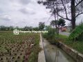 cicilan perumahan di majalengka,perumahan subsidi majalengka,perumahan baru di majalengka,daftar perumahan di majalengka,perumahan cluster di majalengka,perumahan sukahaji majalengka,harga perum bca majalengka,rumah tanpa dp majalengka,rumah majalengka,rumah kpr majalengka,rumah di majalengka,perumahan di majalengka,perumahan islami majalengka,perumahan islami di majalengka,perumahan syariah majalengka,perumahan syariah majalengka,rumah jatiwangi,rumah di jatiwangi,rumah jatiwangi majalengka,rumah di jatiwangi majalengka,rumah syariah jatiwangi,rumah syariah di jatiwangi,rumah syariah jatiwangi majalengka,rumah syariah di jatiwangi majalengka,rumah majalengka 200 jutaan,rumah majalengka 300 jutaan,rumah majalengka 400 jutaan,rumah majalengka 500 jutaan,rumah majalengka 600 jutaan,rumah majalengka 700 jutaan,rumah majalengka 800 jutaan,rumah majalengka 900 jutaan,rumah majalengka 1 milyar,rumah majalengka 2 milyar,rumah majalengka 3 milyar,rumah majalengka dekat bandara,rumah kampung majalengka 200 jutaan,rumah kampung majalengka 300 jutaan,rumah kampung majalengka 400 jutaan,rumah kampung majalengka 500 jutaan,rumah kampung majalengka 600 jutaan,rumah kampung majalengka 700 jutaan,rumah kampung majalengka 800 jutaan,rumah kampung majalengka 900 jutaan,rumah kampung majalengka 1 milyar,rumah kampung majalengka 2 milyar,rumah kampung majalengka 3 milyar,rumah kampung majalengka dekat bandara,rumah dijual majalengka 200 jutaan,rumah dijual majalengka 300 jutaan,rumah dijual majalengka 400 jutaan,rumah dijual majalengka 500 jutaan,rumah dijual majalengka 600 jutaan,rumah dijual majalengka 700 jutaan,rumah dijual majalengka 800 jutaan,rumah dijual majalengka 900 jutaan,rumah dijual majalengka 1 milyar,rumah dijual majalengka 2 milyar,rumah dijual majalengka 3 milyar,rumah dijual majalengka dekat bandara,rumah dijual kampung majalengka 200 jutaan,rumah dijual kampung majalengka 300 jutaan,rumah dijual kampung majalengka 400 jutaan,rumah dijual kampung majalengka 500 jutaan,rumah dijual kampung majalengka 600 jutaan,rumah dijual kampung majalengka 700 jutaan,rumah dijual kampung majalengka 800 jutaan,rumah dijual kampung majalengka 900 jutaan,rumah dijual kampung majalengka 1 milyar,rumah dijual kampung majalengka 2 milyar,rumah dijual kampung majalengka 3 milyar,rumah dijual kampung majalengka dekat bandara,rumah dijual di majalengka 200 jutaan,rumah dijual di majalengka 300 jutaan,rumah dijual di majalengka 400 jutaan,rumah dijual di majalengka 500 jutaan,rumah dijual di majalengka 600 jutaan,rumah dijual di majalengka 700 jutaan,rumah dijual di majalengka 800 jutaan,rumah dijual di majalengka 900 jutaan,rumah dijual di majalengka 1 milyar,rumah dijual di majalengka 2 milyar,rumah dijual di majalengka 3 milyar,rumah dijual di majalengka dekat bandara,rumah dijual kampung di majalengka 200 jutaan,rumah dijual kampung di majalengka 300 jutaan,rumah dijual kampung di majalengka 400 jutaan,rumah dijual kampung di majalengka 500 jutaan,rumah dijual kampung di majalengka 600 jutaan,rumah dijual kampung di majalengka 700 jutaan,rumah dijual kampung di majalengka 800 jutaan,rumah dijual kampung di majalengka 900 jutaan,rumah dijual kampung di majalengka 1 milyar,rumah dijual kampung di majalengka 2 milyar,rumah dijual kampung di majalengka 3 milyar,rumah dijual kampung di majalengka dekat bandara,rumah majalengka 200 jutaan dijual,rumah majalengka 300 jutaan dijual,rumah majalengka 400 jutaan dijual,rumah majalengka 500 jutaan dijual,rumah majalengka 600 jutaan dijual,rumah majalengka 700 jutaan dijual,rumah majalengka 800 jutaan dijual,rumah majalengka 900 jutaan dijual,rumah majalengka 1 milyar dijual,rumah majalengka 2 milyar dijual,rumah majalengka 3 milyar dijual,rumah majalengka dekat bandara dijual,rumah kampung majalengka 200 jutaan dijual,rumah kampung majalengka 300 jutaan dijual,rumah kampung majalengka 400 jutaan dijual,rumah kampung majalengka 500 jutaan dijual,rumah kampung majalengka 600 jutaan dijual,rumah kampung majalengka 700 jutaan dijual,rumah kampung majalengka 800 jutaan dijual,rumah kampung majalengka 900 jutaan dijual,rumah kampung majalengka 1 milyar dijual,rumah kampung majalengka 2 milyar dijual,rumah kampung majalengka 3 milyar dijual,rumah kampung majalengka dekat bandara dijual,lelang rumah di majalengka,rumah murah di majalengka,rumah dijual di majalengka kulon,daftar perumahan di majalengka,harga cicilan perumahan di majalengka,perumahan elit di majalengka,jual rumah dan tanah di majalengka,jual rumah butuh uang majalengka,perumahan jatiwangi, majalengka,jual beli rumah majalengka,harga tanah di majalengka kulon,jual rumah dan tanah di majalengka,tanah dijual di cigasong majalengka,over kredit perumahan di majalengka,rumah yg dijual murah di ciborelang majalengka,jual rumah kadipaten majalengka,jual beli tanah majalengka,harga tanah 1 bata - di majalengka,jual tanah di jatipamor majalengka,harga tanah per meter di majalengka,jual tanah kebun murah di majalengka,harga tanah di majalengka kulon,tanah dijual di jatiwangi majalengka,tanah kavling majalengka,harga tanah di majalengka kulon,jual tanah di maja majalengka,tanah dijual di jatiwangi majalengka,harga tanah di kadipaten majalengka,perkebunan dijual di majalengka,harga tanah 1 bata - di majalengka,jual tanah di jatipamor majalengka,harga tanah per meter di sumberjaya majalengka,Dijual tanah kavling di majalengka kota,Dijual tanah kavling di majalengka,Dijual tanah kavling majalengka,KAVLING MURAH MAJALENGKA,Tanah Kavling Sanyland Cikasarung Majalengka,Dijual kavling di daerah Kabupaten Majalengka,bandara kertajati dijual,tanah dijual di kertajati majalengka,harga tanah di kertajati majalengka,perumahan dekat bandara kertajati,komplek neglasari majalengka,kertajati dimana,kertajati, majalengka,tol kertajati,bandara kertajati diresmikan,kecamatan kertajati,jadwal penerbangan bandara kertajati 2022,bandara kertajati ditutup,denah bandara kertajati ,jual rumah cibubur,perumahan cibubur 200 juta,rumah cibubur murah,jual cepat rumah cibubur,perumahan cluster di cibubur,perumahan baru di cibubur,sewa rumah cibubur,alamat rumah di cibubur,Rumah Dijual di Cibubur,Rumah Dijual di Cibubur murah,Rumah untuk dijual untuk rumah murah cibubur,harga tanah per meter indramayu,harga tanah perbata di indramayu,jual tanah di sindang indramayu,tanah dijual di jatibarang indramayu,njop tanah indramayu kota,sawah dijual di indramayu,perumahan elit di indramayu,cari rumah harga 50 juta di indramayu,njop tanah indramayu kota,jual tanah di sindang, indramayu,harga tanah perbata di indramayu,perumahan elit di indramayu,cari rumah harga 50 juta di indramayu,harga tanah per 1 bata,harga tanah di jatibarang indramayu,cek harga tanah per meter,agen properti indramayu,perumahan indramayu kota,perumahan elit di indramayu,over kredit rumah di indramayu,kpr indramayu,jual beli rumah bekas indramayu,perumahan subsidi di indramayu kota,perumahan indramayu regency,tanah residensial adalah,tanah industri adalah,iklan komersial,contoh komersial,produk komersial adalah,komersial adalah brainly,contoh jasa komersial,media komersial adalah,perumahan cirebon murah,perumahan murah cirebon,perumahan di cirebon murah,perumahan murah di cirebon,rumah murah cirebon,rumah murah di cirebon,rumah cirebon murah,rumah di cirebon murah,Rumah Subsidi di Cirebon Termurah,harga cicilan perumahan cirebon,perumahan subsidi cirebon,perumahan terbaik di cirebon,perumahan baru di cirebon,perumahan cirebon sumber,perumahan cirebon dp murah,perumahan cirebon timur,Rekomendasi Perumahan di Cirebon ,Perumahan di Cirebon ,Cluster perumahan cirebon,Dijual rumah baru Cirebon,Daftar Perumahan Cirebon Dan Kuningan,Daftar Perumahan Cirebon ,Daftar Perumahan Kuningan ,Daftar Perumahan Majalengka,Daftar Perumahan Indramayu,Daftar Perumahan Kota Cirebon,Daftar Perumahan Brebes,Daftar Perumahan tegal,Daftar Perumahan Kedawung,Daftar Perumahan sumber,Daftar Perumahan klayan,Daftar Perumahan gunung jati,Daftar Perumahan weru,Daftar Perumahan plered,Daftar Perumahan arjawinangun,Daftar Perumahan watubelah,Daftar Perumahan susukan,Daftar Perumahan ciwaringin,Daftar Perumahan jamblang,Daftar Perumahan depok,Daftar Perumahan dukupuntang,Daftar Perumahan ciwaringin,Daftar Perumahan sindanglaut,Daftar Perumahan beber,Daftar Perumahan astanajapura,Daftar Perumahan pangenan,Daftar Perumahan Gebang,Daftar Perumahan Babakan,Daftar Perumahan Pangenan,Daftar Perumahan ciledug,Daftar Perumahan Gegesik,Daftar Perumahan Gempol,Daftar Perumahan Greged,Daftar Perumahan Kaliwedi,Daftar Perumahan Karangsembung,Daftar Perumahan Karangwareng,Daftar Perumahan Losari,Daftar Perumahan Mundu,Daftar Perumahan Pabedilan,Daftar Perumahan Pabuaran,Daftar Perumahan Palimanan,Daftar Perumahan Klangenan,Daftar Perumahan Pasaleman,Daftar Perumahan Sedong,Daftar Perumahan Suranenggala,Daftar Perumahan tengahtani,Daftar Perumahan Waled,Daftar Perumahan Susukanlebak,Daftar Perumahan Talun,Daftar Perumahan Kesambi,Daftar Perumahan Harjamukti,Daftar Perumahan kejaksaan,Daftar Perumahan Lemahwungkuk,Daftar Perumahan Pekalipan,Daftar Perumahan Ciawigebang,Daftar Perumahan Cibereum,Daftar Perumahan Cibingbin,Daftar Perumahan CIdahu,Daftar Perumahan Cigandamekar,Daftar Perumahan Cigugur,Daftar Perumahan CIlebak,Daftar Perumahan Cilimus,Daftar Perumahan Cimahi,Daftar Perumahan Darma,Daftar Perumahan Garawangi,Daftar Perumahan Cipicung,Daftar Perumahan Ciniru,Daftar Perumahan Ciwaru,Daftar Perumahan Hantara,Daftar Perumahan Jalaksana,Daftar Perumahan Kadugede,Daftar Perumahan Japara,Daftar Perumahan Kalimanggis,Daftar Perumahan Karangkancana,Daftar Perumahan Kramatmulya,Daftar Perumahan Lebakwangi,Daftar Perumahan Luragung,Daftar Perumahan maleber,Daftar Perumahan Mandirancan,Daftar Perumahan Nusaherang,Daftar Perumahan Pancalang,Daftar Perumahan Pasawahan,Daftar Perumahan Salajambe,Daftar Perumahan Sindangagung,Daftar Perumahan Subang,Daftar Perumahan Argapura,Daftar Perumahan Banjaran,Daftar Perumahan Bantarujeg,Daftar Perumahan Cigasong,Daftar Perumahan Cikijing,Daftar Perumahan CIngambul,Daftar Perumahan Dawuan,Daftar Perumahan Jatitujuh,Daftar Perumahan jatiwangi,Daftar Perumahan Kadipaten,Daftar Perumahan Kasokandel,Daftar Perumahan Kertajati,Daftar Perumahan Lemahsugih,Daftar Perumahan Leuwimunding,Daftar Perumahan Ligung,Daftar Perumahan Maja,Daftar Perumahan Palasah,Daftar Perumahan malausma,Daftar Perumahan Panyingkiran,Daftar Perumahan Rajagaluh,Daftar Perumahan Sindang,Daftar Perumahan SIndangwangi,Daftar Perumahan Sukahaji,Daftar Perumahan Sumberjaya,Daftar Perumahan Talaga,Daftar Perumahan Anjatan,Daftar Perumahan Arahan,Daftar Perumahan Balongan,Daftar Perumahan Bangodua,Daftar Perumahan Bongas,Daftar Perumahan Cantigi,Daftar Perumahan Cikedung,Daftar Perumahan Gabuswetan,Daftar Perumahan Gantar,Daftar Perumahan Haurgeulis,Daftar Perumahan Jatibarang,Daftar Perumahan Indramayu,Daftar Perumahan Juntinyuat,Daftar Perumahan Kandanghaur,Daftar Perumahan Karangampel,Daftar Perumahan Kedokan bunder,Daftar Perumahan kertasemaya,Daftar Perumahan Krangkeng,Daftar Perumahan Kroya,Daftar Perumahan Lelea,Daftar Perumahan Lohbener,Daftar Perumahan Losarang,Daftar Perumahan Pasekan,Daftar Perumahan Patrol,Daftar Perumahan SIndang,Daftar Perumahan SLiyeg,Daftar Perumahan Sukagumiwang,Daftar Perumahan SUkra,Daftar Perumahan Terisi,Daftar Perumahan Widasari,Daftar Perumahan Banjarharjo,Daftar Perumahan Bantarkawung,Daftar Perumahan Brebes,Daftar Perumahan Bulakamba,Daftar Perumahan Bumiayu,Daftar Perumahan Jatibarang,Daftar Perumahan Kersana,Daftar Perumahan Losari,Daftar Perumahan Paguyangan,Daftar Perumahan Salem,Daftar Perumahan Sirampog,Daftar Perumahan Tanjung,Daftar Perumahan Tonjong,Daftar Perumahan Wanasari,Perumahan Baru Kota Cirebon,Perumahan baru kabupaten cirebon,Perumahan baru majalengka,Perumahan baru indramayu,Perumahan baru kuningan,perumahan baru tegal,perumahan baru slawi,Perumahan Strategis di Cirebon,Perumahan Strategis di Majalengka,Perumahan Strategis di KUningan,Perumahan Strategis di Indramayu,Perumahan Strategis di Brebes,Perumahan Strategis di Tegal,Beli Rumah Di Cirebon Sekarang,Beli Rumah Di Kota Cirebon Sekarang,Beli Rumah Di Kuningan Sekarang,Beli Rumah Di Majalengka Sekarang,Beli Rumah Di Indramayu Sekarang,Rumah Subsidi di indramayu,Rumah Subsidi di kuningan,Rumah Subsidi di majalengka,Rumah Subsidi di brebes,Rumah Subsidi di tegal,Rumah dijual di Cirebon Kota,Rumah dijual di Cirebon,Rumah dijual di majalengka,Rumah dijual di kuningan,Rumah dijual di indramayu,Rumah dijual di brebes,rumah murah di cirebon,komplek perumahan di cirebon,jual rumah cirebon kota,rumah harga 200 juta di cirebon,rumah harga 50 juta di cirebon,rumah dijual di lemahwungkuk, cirebon,forum jual beli rumah cirebon,olx rumah cirebon,50 juta,rumah mewah,kota cirebon jawa,sumber cirebon,rumah dijual,rumah kampung,mitula properti,kedawung cirebon,kedawung regency,kabupaten cirebon,perumahan,pangeran cakrabuana,kesambi cirebon,kab cirebon,perumahan cirebon,cluster,perumahan subsidi cirebon,perumahan syariah cirebon,perumahan mewah,kedawung cirebon,ciledug cirebon,cirebon profile,trovit,kota cirebon jawa,rumah subsidi,perumahan elit,kpr subsidi,dijual,perumahan cluster,plumbon cirebon,properti,wisata,kota,stasiun,hotel,peta,keraton,grage,pelabuhan,tugu,pantai,indonesia,logo,kasepuhan,malam,tempat,jalan,balai kota,night city,map,palimanan,jawa,alamat,sumber,kuliner,sultan,dulu,rumah,banjir,cottage,cirebon map,cirebon wisata,kecamatan di kabupaten cirebon,cirebon to jakarta,luas cirebon,bahasa cirebon,cirebon hotel,cirebon kuliner,agen properti kuningan jawa barat,lelang rumah di kuningan jawa barat,rumah dijual di kuningan jawa barat,rumah lelang bank di kuningan,jual rumah pedesaan kuningan jawa barat,lelang rumah btn kuningan,jual tanah di kuningan, jawa barat,rumah 100 juta kuningan jawa barat,rumah,rumah kuningan,rumah di kuningan,rumah kuningan dijual,rumah kuningan disewa,rumah kuningan dijual murah,rumah kuningan disewa murah,rumah di kuningan dijual,rumah di kuningan disewa,rumah di kuningan disewa,rumah di kuningan disewa murah,Daftar iklan properti dijual di Kuningan,iklan properti dijual di Kuningan ,cari properti di Kuningan ,properti terlengkap di Kuningan,harga tanah di kuningan,harga ruko di kuningan,harga rumah di kuningan,harga gudang di kuningan,harga perumahan subsidi di kuningan,harga perumahan cluster di kuningan,rumah dijual di kuningan,rumah di kuningan dijual cepat,rumah di kuningan 100 jutaan,rumah di kuningan 200 jutaan,rumah di kuningan 300 jutaan,rumah di kuningan 400 jutaan,rumah di kuningan 500 jutaan,rumah di kuningan 600 jutaan,rumah di kuningan 700 jutaan,rumah di kuningan 800 jutaan,rumah di kuningan 900 jutaan,rumah di kuningan 1 Milyar,rumah di kuningan 2 Milyar,rumah di kuningan 3 Milyar,rumah di kuningan 4 Milyar,rumah di kuningan 5 Milyar,rumah di kuningan 6 Milyar,rumah di kuningan 7 Milyar,rumah di kuningan 8 Milyar,rumah di kuningan 9 Milyar,rumah di kuningan 10 Milyar,rumah di kuningan diatas 10 Milyar,rumah di kuningan dibawah 1 Milyar,rumah di kuningan diatas 1 Milyar,rumah dijual di kuningan 100 jutaan,rumah dijual di kuningan 200 jutaan,rumah dijual di kuningan 300 jutaan,rumah dijual di kuningan 400 jutaan,rumah dijual di kuningan 500 jutaan,rumah dijual di kuningan 600 jutaan,rumah dijual di kuningan 700 jutaan,rumah dijual di kuningan 800 jutaan,rumah dijual di kuningan 900 jutaan,rumah dijual di kuningan 1 Milyar,rumah dijual di kuningan 2 Milyar,rumah dijual di kuningan 3 Milyar,rumah dijual di kuningan 4 Milyar,rumah dijual di kuningan 5 Milyar,rumah dijual di kuningan 6 Milyar,rumah dijual di kuningan 7 Milyar,rumah dijual di kuningan 8 Milyar,rumah dijual di kuningan 9 Milyar,rumah dijual di kuningan 10 Milyar,rumah dijual di kuningan diatas 10 Milyar,rumah dijual di kuningan dibawah 1 Milyar,rumah dijual di kuningan diatas 1 Milyar,atr bpn kabupaten kuningan,kepala bpn kuningan,layanan atrbpn,intan atrbpn go id pengecekan sertifikat,https intan atr_bpn go id,ptsl kabupaten kuningan,tanah harga 30 jutaan di kuningan jawa barat,harga tanah per meter di kuningan jawa barat,harga tanah pedesaan kuningan,harga tanah di mandirancan kuningan,jual tanah kebun murah di kuningan,komunitas jual beli rumah kuningan jawa barat,harga tanah di maleber kuningan,jual sawah di kuningan jawa barat,harga tanah per bata di kuningan jawa barat,harga tanah pedesaan kuningan,harga tanah di cijoho kuningan,harga tanah per meter di kuningan jakarta,harga tanah di jalaksana kuningan,harga tanah di maleber kuningan,jual rumah pedesaan kuningan jawa barat,harga tanah di mandirancan kuningan,lelang rumah di kuningan jawa barat,rumah lelang bank di kuningan,rumah 100 juta kuningan jawa barat,rumah dijual di ciporang kuningan jawa barat,rumah dijual di cilimus kuningan jawa barat,jual rumah pedesaan kuningan jawa barat,lelang rumah btn kuningan,perumahan cijoho kuningan jawa barat,peta cijoho kuningan,kode pos cijoho kuningan,cijoho landeuh,cijoho ciamis,cijoho singaparna,cijoho tasikmalaya,cijoho garut,loker pt kuningan jawa barat,loker pabrik kuningan jawa barat,pt.indofood kuningan jawa barat,pt mayora kuningan jawa barat,daftar perusahaan di kabupaten bogor,daftar perusahaan manufacturing di bogor,perusahaan di karawang,perusahaan di bogor,daftar sekolah di kuningan jawa barat,jumlah sma di kabupaten kuningan,smk di kuningan jawa barat,daftar nama sma di kuningan jawa barat,sma terbaik di kuningan jawa barat,sma swasta di kuningan,jumlah sd di kabupaten kuningan,sekolah dapodik,daftar universitas di kuningan jawa barat,universitas terbaik di kuningan jawa barat,biaya kuliah universitas kuningan,jurusan universitas kuningan,akreditasi universitas kuningan,universitas kuningan negeri atau swasta,biaya kuliah universitas kuningan 2022,beasiswa uniku 2022,struktur organisasi polres kuningan,website polres kuningan,kapolres kuningan,klinik polres kuningan,website polda jabar,rikkes berkala polri,biddokkes polri adalah,alamat biddokkes polda jabar,Properti dan Perumahan Dijual di Kuningan Terlengkap,perbedaan properti syariah dan konvensional,bisnis properti syariah adalah,pertanyaan tentang properti syariah,agen properti syariah,properti syariah bodong,kenapa harus property syariah,resiko perumahan syariah,contoh artikel tentang properti syariah,agen jual tanah,agen penjualan rumah,agen properti,agen properti bandung,agen properti bekasi,agen properti bogor,agen properti cikarang,agen properti di bandung,agen properti di bekasi,agen properti di bogor,agen properti di jakarta,agen properti di surabaya,agen properti jakarta,agen properti karawang,agen properti surabaya,agen properti syariah,agen properti tangerang,agen rumah bandung,agen rumah jakarta,agen tanah,agency property adalah,agency property syariah,alamat perumahan di bogor,amanah property syariah,bandung property,bekasi perumahan,beli perumahan,beli properti,beli rumah,beli rumah baru,beli rumah bekasi,beli rumah bogor,beli rumah cicil ke developer,beli rumah cikarang,beli rumah di bekasi,beli rumah di bogor,beli rumah di cikarang,beli rumah di jakarta barat,beli rumah di perumahan,beli rumah di tangerang,beli rumah jakarta timur,beli rumah murah di jakarta,beli rumah perumahan,beli rumah syariah,beli rumah tangerang,beli rumah tanpa riba,berkah property,biaya beli rumah dari developer,biaya jual rumah,biaya penjualan rumah,bisnis agen properti,bisnis jual beli rumah,bisnis jual rumah,bisnis properti rumah,bisnis properti syariah,bogor perumahan,cara beli perumahan,cara beli rumah di perumahan,cara beli rumah tanpa riba,cara bisnis perumahan,cara bisnis properti perumahan,cara cari rumah,cara cicil rumah tanpa riba,cara jual rumah,cara jual rumah ke agen properti,cara kredit rumah tanpa riba,cara membeli perumahan,cara membeli properti,cara membeli rumah,cara membeli rumah di perumahan,cara membeli rumah tanpa riba,cara memilih rumah,cara memiliki rumah tanpa riba,cara menawarkan rumah,cara mencicil rumah,cara menjadi pengusaha properti,cara punya rumah tanpa riba,cari developer perumahan,cari perumahan,cari perumahan murah di jakarta,cari properti,cari rumah,cari rumah baru,cari rumah di bekasi,cari rumah di jual,cari rumah dijual,cari rumah untuk dijual,cek developer perumahan,cek developer rumah,cicil rumah bandung,cicil rumah ke developer,cicil rumah murah,cicil rumah surabaya,cicil rumah tanpa riba,cikarang perumahan,cikarang residence,daftar agen properti bandung,daftar developer perumahan syariah terpercaya,daftar developer perumahan terpercaya,daftar developer property syariah,daftar perumahan syariah di tangerang,dalam perumahan,deskripsi properti,developer bekasi,developer bogor,developer di bandung,developer di indonesia,developer di surabaya,developer mencari tanah,developer perumahan bandung,developer perumahan di bandung,developer perumahan jakarta,developer perumahan surabaya,developer perumahan syariah,developer perumahan terbaik,developer perumahan terpercaya,developer properti indonesia,developer property syariah,developer property syariah bandung,developer property syariah bogor,developer property syariah indonesia,developer rumah bandung,developer rumah jakarta,developer rumah surabaya,developer rumah syariah,developer rumah terbaik,developer rumah terpercaya,developer surabaya,developer syariah,developer syariah bandung,developer syariah bekasi,developer syariah terpercaya,developer tangerang,developer terbaik,developer terbaik di indonesia,developer terdekat,developer terpercaya,di jual rumah,di jual rumah di bekasi,dicari tanah untuk perumahan,dijual perumahan,dijual rumah bekasi,dijual rumah di tangerang kota,dp rumah bandung,dp rumah di bekasi,dp rumah di jakarta,dp rumah murah bandung,dp rumah murah di bandung,dp rumah murah tangerang,dp rumah syariah,el mumtaz,grand cikarang residence,griya el mumtaz,griya mustanir residence,harga dp rumah,harga kpr rumah di bandung,harga kpr rumah di jakarta,harga perumahan cikarang,harga perumahan di cikarang,harga properti,harga properti jakarta,harga rumah,harga rumah baru,harga rumah bekasi,harga rumah bogor,harga rumah cikarang,harga rumah daerah bogor,harga rumah di,harga rumah di bandung,harga rumah di bandung timur,harga rumah di bekasi,harga rumah di bekasi barat,harga rumah di cikarang,harga rumah di indonesia,harga rumah di kabupaten tangerang,harga rumah di kota bogor,harga rumah di perumahan,harga rumah di perumahan bandung,harga rumah di perumahan jakarta,harga rumah di perumahan surabaya,harga rumah di tangerang,harga rumah di tangerang kota,harga rumah dijual,harga rumah karawang,harga rumah kpr di bandung,harga rumah kpr di bekasi,harga rumah kpr di tangerang,harga rumah lippo cikarang,harga rumah murah di jakarta barat,harga rumah murah di tangerang,harga rumah perumahan,harga rumah tangerang,harga tanah rumah,hunian islami,hunian syariah,iklan jual beli rumah,indonesia rumah,info jual beli rumah,info jual rumah,info perumahan,info rumah,info rumah di jual,info rumah dijual,info rumah dijual di bandung,ingin punya rumah tanpa riba,investasi perumahan,investasi properti 2021,investasi properti di indonesia,investasi properti syariah,investasi rumah,investasi rumah adalah,isykariman property penipuan,isykariman property syariah,isykariman property syariah penipuan,jenis jenis property,jenis properti,jual beli perumahan,jual beli properti,jual beli rumah,jual beli rumah cikarang,jual beli rumah dan tanah,jual beli rumah di bekasi,jual beli rumah di bogor,jual beli rumah surabaya,jual perumahan,jual perumahan di bandung,jual perumahan di jakarta,jual perumahan di surabaya,jual properti,jual properti jakarta,jual properti rumah,jual rumah,jual rumah baru,jual rumah bekasi,jual rumah bekasi barat,jual rumah bogor,jual rumah bogor baru,jual rumah cikarang,jual rumah daerah bekasi,jual rumah daerah bogor,jual rumah daerah tangerang,jual rumah di,jual rumah di bekasi,jual rumah di bogor,jual rumah di cikarang,jual rumah di tangerang,jual rumah karawang barat,jual rumah ke developer,jual rumah kota bekasi,jual rumah kota tangerang,jual rumah kredit,jual rumah murah di tangerang,jual rumah perumahan,jual rumah syariah,jual rumah syariah bandung,jual rumah syariah jakarta,jual rumah tanpa riba,jual rumah website,jual tanah perumahan,kantor agen properti terdekat,kantor developer,kantor properti terdekat,karangpawitan residence,kavling rumah,kavling syariah bandung,kavling syariah bekasi,kavling syariah bogor,konsep perumahan,konsep perumahan syariah,konsep rumah islami,kpr rumah bekasi,kpr rumah di bekasi,kpr rumah jakarta timur,kpr rumah murah,kpr rumah surabaya,kpr rumah syariah bandung,kpr rumah tanpa riba,kpr syariah tanpa riba,kpr tanpa bank,kpr tanpa bunga,kredit rumah bandung,kredit rumah bekasi,kredit rumah bogor,kredit rumah langsung ke developer,kredit rumah murah jakarta timur,kredit rumah syariah bogor,kredit rumah syariah jakarta,kredit rumah syariah surabaya,kredit rumah syariah tangerang,kredit rumah tanpa bank,kredit rumah tanpa bank di tangerang,kredit rumah tanpa riba,kredit rumah tanpa riba di surabaya,kredit rumah tanpa riba tanpa dp,legalitas developer perumahan,legalitas perumahan,legalitas perusahaan developer,legalitas properti,legalitas rumah,lihat perumahan,lokasi perumahan,macam properti,marketing jual rumah,marketing property syariah,mau beli rumah,mau jual rumah,membeli rumah,membeli rumah dengan kpr,membeli rumah tanpa riba,memilih rumah,mencari agen jual rumah,mencari rumah,mencari rumah dijual,mencari rumah murah,mitra properti,mitra properti syariah,pekerjaan agen properti,pembiayaan rumah syariah tanpa dp,pembiayaan rumah tanpa riba,pencarian rumah,pengalaman beli rumah tanpa riba,pengalaman jadi agen properti,pengembang perumahan terbaik,pengusaha properti adalah,penipuan developer syariah,penipuan perumahan,penipuan perumahan syariah,penipuan rumah syariah,penipuan syariah,pertimbangan membeli rumah,perum di bekasi,perum syariah,perumahan bagus,perumahan bagus di bekasi,perumahan baru,perumahan baru 2021,perumahan baru bekasi,perumahan baru bogor,perumahan baru cikarang,perumahan baru di bekasi,perumahan baru di bogor,perumahan baru di cikarang,perumahan baru terdekat,perumahan bekasi,perumahan bogor,perumahan cikarang,perumahan cikarang barat,perumahan cikarang baru,perumahan cikarang baru bekasi,perumahan cikarang bekasi,perumahan cikarang pusat,perumahan cikarang timur,perumahan di bandung murah,perumahan di bandung timur,perumahan di bekasi barat,perumahan di bogor,perumahan di bogor 2021,perumahan di cikarang,perumahan di cikarang barat,perumahan di cikarang pusat,perumahan di cikarang timur,perumahan di indonesia,perumahan di jual,perumahan di kredit rumah melalui developer,perumahan dijual,perumahan dp murah di bandung,perumahan grand,perumahan indonesia,perumahan islam,perumahan islami bandung,perumahan islami di bandung,perumahan islami di bekasi,perumahan islami di jakarta,perumahan islami di tangerang,perumahan kavling,perumahan kota bekasi,perumahan kpr murah,perumahan kpr murah di bandung,perumahan kpr surabaya,perumahan kpr syariah,perumahan murah cikarang,perumahan murah di bandung timur,perumahan murah di bekasi timur,perumahan murah di bogor kota,perumahan muslim,perumahan properti,perumahan residence,perumahan residence adalah,perumahan rumah,perumahan safa marwah,perumahan syariah adalah,perumahan syariah bandung,perumahan syariah bandung barat,perumahan syariah bandung tanpa dp,perumahan syariah bandung timur,perumahan syariah bekasi,perumahan syariah bekasi 2021,perumahan syariah bekasi timur,perumahan syariah bogor,perumahan syariah bogor 2021,perumahan syariah cikarang,perumahan syariah di bandung,perumahan syariah di bekasi,perumahan syariah di bekasi timur,perumahan syariah di bogor,perumahan syariah di cikarang,perumahan syariah di jakarta,perumahan syariah di karawang,perumahan syariah di surabaya,perumahan syariah di tangerang,perumahan syariah dp 0,perumahan syariah jakarta barat,perumahan syariah jakarta timur,perumahan syariah kabupaten tangerang,perumahan syariah karawang,perumahan syariah surabaya,perumahan syariah tangerang,perumahan syariah tanpa dp di tangerang,perumahan syariah tanpa riba,perumahan syariah terdekat,perumahan tanpa riba,perumahan tanpa riba di bekasi,perumahan terbaik,perumahan terbaik di bekasi,perumahan terbaru,perumahan terbaru 2021,perumahan terbesar di bekasi,perumahan yang bagus,perusahaan jual beli rumah,perusahaan properti di bandung,pesan rumah,profesional properti,properti baru,properti baru di jakarta,properti bekasi,properti bogor,properti di bekasi,properti di bogor,properti di indonesia,properti di jakarta,properti dijual,properti id,properti indonesia,properti jakarta,properti jawa barat,properti jawa timur,properti jual beli rumah,properti karawang,properti perumahan,properti rumah,properti rumah adalah,properti rumah dijual,properti rumah murah,properti syariah bandung,properti syariah bekasi,properti syariah bogor,properti syariah jakarta,properti syariah karawang,properti syariah surabaya,properti tanah,property bandung,property bogor,property cikarang,property syariah,property syariah adalah,property syariah bandung,property syariah bekasi,property syariah bogor,property syariah indonesia,property syariah surabaya,proyek perumahan,proyek perumahan baru,proyek properti,pt guna berkah propertindo,punya rumah tanpa riba,puri alam sakinah,puri cikarang,rekomendasi perumahan di bekasi,rekomendasi perumahan di bogor,rekomendasi perumahan di cikarang,rekomendasi perumahan di jakarta,residence perumahan,ru mah,ruma h,rumah 100 jutaan di jakarta,rumah 12,rumah bandung,rumah banyak,rumah baru,rumah baru bekasi,rumah baru di bekasi,rumah baru di bogor,rumah baru di jakarta,rumah baru di tangerang,rumah baru dijual,rumah baru jakarta,rumah baru murah,rumah baru surabaya,rumah baru surabaya timur,rumah baru tangerang,rumah bekasi,rumah bekasi dijual,rumah beli,rumah bogor,rumah bogor murah,rumah cicil ke developer,rumah cikarang,rumah cok,rumah daerah bogor,rumah daerah cikarang,rumah daerah tangerang,rumah developer,rumah di bekasi,rumah di bekasi murah,rumah di bekasi timur,rumah di bogor,rumah di bogor murah,rumah di cikarang,rumah di daerah bogor,rumah di indonesia,rumah di jababeka,rumah di jakarta murah,rumah di jual,rumah di jual daerah bogor,rumah di jual di bekasi,rumah di jual di cikarang,rumah di jual di tangerang kota,rumah di perumahan,rumah di surabaya timur,rumah di tangerang murah,rumah dijual cikarang,rumah dijual di,rumah dijual di bandung,rumah dijual di bandung kota,rumah dijual di bekasi,rumah dijual di bekasi timur,rumah dijual di bogor barat,rumah dijual di bogor baru,rumah dijual di cikarang,rumah dijual di cikarang barat,rumah dijual di indonesia,rumah dijual di jababeka cikarang,rumah dijual di jakarta barat,rumah dijual di kota bekasi,rumah dijual di kota bogor,rumah dijual di kota tangerang,rumah dijual di jabodetabek,rumah dijual di cibubur,rumah dijual di ciracas,rumah dijual di cipayung,rumah dijual di jatiasih,rumah dijual di bintaro,rumah dijual di cirebon,rumah dijual di bandung,rumah dijual di brebes,rumah dijual di kuningan,rumah dijual di indramayu,rumah dijual di majalengka,rumah dijual di subang,rumah dijual di palimanan,rumah dijual di kedawung,rumah dijual di kalikoa,rumah dijual di astanajapura,rumah dijual di arjawinangun,rumah dijual di plumbon,rumah dijual di jamblang,rumah dijual di dukupuntang,rumah dijual di sumber,rumah dijual di ciledug,rumah dijual di pasaleman,rumah dijual di gebang,rumah dijual di pangenan,rumah dijual di klayan,rumah dijual di gunungjati,rumah dijual di susukan,rumah dijual di ciwaringin,rumah dijual di tengahtani,rumah dijual di depok,rumah dijual di watubelah,rumah dijual di babakan,rumah dijual di lemahabang,rumah dijual di waled,rumah dijual di kesambi,rumah dijual di larangan,rumah dijual di perumnas,rumah dijual di harjamukti,rumah dijual di majasem,rumah dijual di karyamulya,rumah dijual di pekalipan,rumah dijual di lemahwungkuk,rumah dijual di kejaksaan,rumah dijual di argasunya,rumah dijual di kalijaga,rumah dijual di kecapi,rumah dijual di kebonbaru,rumah dijual di kesenden,rumah dijual di sukapura,rumah dijual di drajat,rumah dijual di sunyaragi,rumah dijual di pekiringan,rumah dijual di kasepuhan,rumah dijual di panjunan,rumah dijual di pegambiran,rumah dijual di pekalangan,rumah dijual di pulasaren,rumah dijual di jagasatru,rumah dijual di beber,rumah dijual di gegesik,rumah dijual di gempol,rumah dijual di kaliwedi,rumah dijual di kapetakan,rumah dijual di karangsembung,rumah dijual di karangwareng,rumah dijual di losari,rumah dijual di mundu,rumah dijual di pabedilan,rumah dijual di kedawung,rumah dijual di pabuaran,rumah dijual di panguragan,rumah dijual di plered,rumah dijual di sedong,rumah dijual di suranenggala,rumah dijual di susukan,rumah dijual di susukan lebak,rumah dijual di talun,rumah dijual di weru,rumah dijual di greged,rumah dijual di cakung,rumah dijual di jatinegara,rumah dijual di cipayung,rumah dijual di duren sawit,rumah dijual di kramat jati,rumah dijual di makasar,rumah dijual di matraman,rumah dijual di pasar rebo,rumah dijual di pulo gadung,rumah dijual di cakung barat,rumah dijual di cakung timur,rumah dijual di kelapa dua wetan,rumah dijual di kampung rambutan,rumah dijual di lubang buaya,rumah dijual di pulo gebang,rumah dijual di rawa terate,rumah dijual di ujung menteng,rumah dijual di pondok ranggon,rumah dijual di malaka jaya,rumah dijual di pondok bambu,rumah dijual di pondok kopi,rumah dijual di majalengka dekat BIJB,rumah dijual kota tangerang,rumah dijual murah bekasi,rumah dijual murah di tangerang,rumah dijual murah jakarta timur,rumah do,rumah dp murah,rumah dp murah bandung,rumah dp murah jakarta,rumah fi,rumah halal,rumah halal bogor,rumah halal indonesia,rumah harga,rumah hunian,rumah indonesia,rumah ini di jual,rumah ini dijual,rumah investasi,rumah islami,rumah jababeka,rumah jual beli,rumah kota bekasi,rumah kota tangerang,rumah kpr bandung,rumah kpr bandung barat,rumah kpr bandung timur,rumah kpr bekasi timur,rumah kpr di bandung,rumah kpr di bandung kota,rumah kpr di jakarta barat,rumah kpr murah,rumah kpr murah di bandung,rumah kpr murah jakarta,rumah kpr surabaya,rumah kpr syariah,rumah kpr syariah bandung,rumah kpr syariah bogor,rumah kpr syariah jakarta,rumah kpr syariah tangerang,rumah kpr syariah cibubur,rumah kpr syariah jatiasih,rumah kpr syariah bekasi,rumah kpr syariah jakarta timur,rumah kpr syariah jakarta utara,rumah kpr syariah jakarta barat,rumah kpr syariah jakarta selatan,rumah kpr syariah jakarta pusat,rumah kpr syariah tangerang,rumah kpr syariah tangerang selatan,rumah kpr syariah kota bogor,rumah kpr syariah pondok aren,rumah kpr syariah bintaro,rumah kpr syariah jatisampurna,rumah kpr syariah ciracas,rumah kpr syariah cipayung,rumah kpr syariah cirebon,rumah kpr syariah brebes,rumah kpr syariah majalengka,rumah kpr syariah kuningan,rumah kpr syariah indramayu,rumah kredit murah,rumah kredit syariah,rumah mau dijual,rumah murah bekasi,rumah murah bekasi kota,rumah murah bogor,rumah murah bogor kota,rumah murah daerah bogor,rumah murah daerah tangerang,rumah murah di bekasi,rumah murah di bekasi timur,rumah murah di bogor,rumah murah di kota bekasi,rumah murah di kota bogor,rumah murah di kota tangerang,rumah murah di tangerang,rumah murah di cirebon,rumah murah di brebes,rumah murah di kuningan,rumah murah di majalengka,rumah murah di indramayu,rumah murah di subang,rumah murah di kota cirebon,rumah murah di kota kuningan,rumah murah di kota majalengka,rumah murah di kota brebes,rumah murah di kota indramayu,rumah murah kota bekasi,rumah murah kota tangerang,rumah murah kpr,rumah murah sekitar jakarta,rumah murah syariah,rumah perum,rumah properti,rumah property,rumah residence,rumah riba,rumah sekitar jakarta,rumah surabaya,rumah syariah,rumah syariah 100 jutaan,rumah syariah adalah,rumah syariah bandung,rumah syariah bandung 2021,rumah syariah bandung timur,rumah syariah bekasi,rumah syariah bogor,rumah syariah bogor tanpa dp,rumah syariah cikarang,rumah syariah di bandung,rumah syariah di bekasi,rumah syariah di bogor,rumah syariah di tangerang,rumah syariah dp 0,rumah syariah dp murah,rumah syariah halal,rumah syariah indonesia,rumah syariah jakarta timur,rumah syariah karawang,rumah syariah murah,rumah syariah murah bandung,rumah syariah surabaya,rumah syariah tangerang,rumah syariah tanpa bank,rumah syariah tanpa dp,rumah syariah tanpa dp bekasi,rumah syariah tanpa dp tangerang,rumah syariah tanpa riba,rumah tanpa bank,rumah tanpa dp bekasi,rumah tanpa riba,rumah tanpa riba bandung,rumah tanpa riba bekasi,rumah tanpa riba jakarta,rumah tanpa riba tangerang,rumah untuk dijual,rumah yang di jual,rumah yang dijual,rumah yg dijual,sakinah property,situs beli rumah,situs cari rumah,situs jual beli properti,situs jual beli rumah,situs jual properti,situs jual properti terbaik,situs jual rumah,situs penjualan rumah,situs properti,situs properti indonesia,situs properti terbaik,situs rumah,situs rumah dijual,situs untuk jual rumah,syarat jadi agen properti,syarat menjadi agen properti,syariah property,tempat jual beli rumah,tempat jual rumah,the rumah property,tips beli rumah tanpa riba,tips bisnis properti,tips cari rumah,tips membeli perumahan,tips membeli properti,tips membeli rumah,tips membeli rumah baru,tips membeli rumah di perumahan,tips membeli rumah syariah,tips memilih developer perumahan,tips mencari rumah,tips properti,tips untuk beli rumah,unit rumah,usaha jual beli rumah,usaha perumahan,villa syariah bogor,visi misi perusahaan properti,web jual beli rumah,web jual rumah,web penjualan rumah,web untuk jual rumah,website agen properti,website cari rumah,website jual beli properti,website jual properti,website jual rumah jakarta,website properti,website properti indonesia,website properti terbaik,website rumah,website rumah dijual,website jual beli properti di jabodetabek,website jual beli properti di bogor,website jual beli properti di cibubur,website jual beli properti di jakarta timur,website jual beli properti di jakarta barat,website jual beli properti di jakarta utara,website jual beli properti di jakarta pusat,website jual beli properti di jakarta selatan,website jual beli properti di bekasi,website jual beli properti di depok,website jual beli properti di bogor,website jual beli properti di tangerang,website jual beli properti di bandung,website jual beli properti di cirebon,website jual beli properti di indramayu,website jual beli properti di majalengka,website jual beli properti di kuningan,website jual beli properti di brebes,website jual beli properti di kota bandung,website jual beli properti di kota jakarta,website jual beli properti di kota cirebon,website jual beli properti di kota bekasi,website jual beli properti di kota depok,website jual beli properti di kota bogor,website jual beli properti di kota tangerang,website jual beli properti di kota tangerang selatan,website jual beli properti di kota indramayu,website jual beli properti di kota kuningan,website jual beli properti di kota majalengka,website jual beli properti di kota brebes,website jual beli properti di kota subang,website jual properti,website jual rumah jakarta,website jual rumah jakarta barat,website jual rumah jakarta utara,website jual rumah jakarta selatan,website jual rumah jakarta timur,website jual rumah jakarta pusat,website jual rumah bekasi,website jual rumah depok,website jual rumah cirebon,website jual rumah bogor,website jual rumah tangerang,website jual rumah tangerang selatan,website jual rumah bandung,website jual rumah brebes,website jual rumah kuningan,website jual rumah majalengka,website jual rumah indramayu,website properti,website properti indonesia,website properti jawa,website properti jawa barat,website properti cirebon,website properti majalengka,website properti kuningan,website properti indramayu,website properti brebes,website properti depok,website properti bekasi,website properti bogor,website properti tangerang,website properti tangerang selatan,website properti jakarta timur,website properti jakarta utara,website properti jakarta pusat,website properti jakarta barat,website properti jakarta selatan,website properti bandung,website properti kota bandung,website properti terbaik,website rumah,website rumah dijual,agen properti cirebon,agen properti di cirebon,agent properti di kota cirebon,agent property di kota cirebon,agen properti di majalengka,agen properti di kota majalengka,agen properti di kertajati,agen properti di ligung,agen properti di jatiwangi,agen properti di majalengka kota,agen properti di indramayu,agen properti di kota indramayu,agen properti di kuningan,agen properti di kota kuningan,agen properti di brebes,agen properti di kota brebes,agen properti di tegal,agen properti di kota tegal,agen properti di pemalang,agen properti di kota pemalang,agen properti di kabupaten cirebon,agen properti di kabupaten majalengka,agen properti di kabupaten indramayu,agen properti di kabupaten kuningan,agen properti di kabupaten brebes,agen properti di kabupaten tegal,agen properti di kabupaten pemalang,agen properti di jawa barat,agen properti di jabar,agen properti di ciayumajakuning,agen properti di cirebon indramayu majalengka kuningan,agen property kab cirebon,agen property cirebon,agen property kota cirebon,agen property majalengka,agen property kuningan,agen property indramayu,agen property brebes,agen property slawi,agen property tegal,agen property bandung,agen property jakarta timur,agen property jakarta selatan,agen property jakarta barat,agen property tangerang,agen property bekasi,agen property depok,agen property bogor,agen property sumber cirebon,agen property plered cirebon,agen property palimanan cirebon,agen property klangenan cirebon,agen property arjawinangun cirebon,agen property cirebon timur,agen property ligung majalengka,agen property jatiwangi majalengka,Tanah industri cirebon,Tanah industri majalengka,Tanah industri kuningan,Tanah industri brebes,Tanah industri indramayu,Tanah industri tegal,Tanah industri pemalang,Tanah industri slawi,Tanah industri kota cirebon,Tanah industri cirebon timur,Tanah industri di cirebon,Tanah industri di kuningan,Tanah industri di majalengka,Tanah industri di indramayu,Tanah industri di tegal,Tanah industri di brebes,Tanah industri di pemalang,Tanah industri di slawi,Tanah industri di bandung,Tanah industri di batang,Tanah komersial di cirebon,Tanah komersial di palimanan,Tanah komersial di kalangenan,Tanah komersial di kota cirebon,Tanah komersial di wahidin cirebon,Tanah komersial di jalan wahidin cirebon,Tanah komersial di jalan tuparev cirebon,Tanah komersial di indramayu,Tanah komersial di kuningan,Tanah komersial di majalengka,Tanah komersial di brebes,Tanah komersial di pemalang,Tanah komersial di tegal,Tanah komersial di slawi,Tanah komersial dijual di cirebon,Tanah komersial dijual di malajengka,Tanah komersial dijual di kuningan,Tanah komersial dijual di indramayu,Tanah komersial dijual di tegal,Tanah komersial dijual di brebes,Tanah komersial dijual di bandung,Tanah komersial dijual di semarang,Tanah komersial dijual di slawi,Tanah komersial dijual di batang,Tanah komersial dijual di palimanan,Tanah komersial dijual di klangenan,Tanah komersial dijual di weru,Tanah komersial dijual di plered,Tanah komersial dijual di sumber ,Tanah komersial dijual di cirebon timur,Tanah komersial dijual di cirebon barat,Tanah komersial dijual di cirebon utara,Tanah komersial dijual di cirebon selatan,Tanah komersial dijual di majalengka timur,Tanah komersial dijual di majalengka kulon,Tanah komersial dijual di majalengka utara,Tanah komersial dijual di majalengka kota,ruko cirebon ,ruko cirebon dijual,ruko dijual di cirebon,ruko dijual di sumber,ruko dijual di klangenan,ruko dijual di palimanan,ruko dijual di plered,ruko dijual di weru,ruko dijual di tengah tani,ruko dijual di klayan,ruko dijual di tuparev,ruko dijual di jalan tuparev cirebon,ruko dijual di jalan wahidin cirebon,ruko dijual di kota cirebon,ruko dijual di brebes,ruko dijual di indramayu,ruko dijual di kuningan,ruko dijual di majalengka,ruko dijual di tegal,ruko dijual di slawi,ruko dijual di bandung,ruko dijual di bekasi,ruko dijual di depok,ruko dijual di bogor,ruko dijual di pemalang,ruko dijual di subang,rumah dijual di sumber,rumah dijual di klangenan,rumah dijual di palimanan,rumah dijual di kalangenan,rumah dijual di plered,rumah dijual di weru,rumah dijual di tengah tani,rumah dijual di dawuan,rumah dijual di kedawung,rumah dijual di klayan,rumah dijual di pilang,rumah dijual di watubelah,rumah dijual di sumber,rumah dijual di talun,rumah dijual di ciperna,rumah dijual di sedong,rumah dijual di lemahabang,rumah dijual di gebang,rumah dijual di ciledug,rumah dijual di arjawinangun,rumah dijual di tegalgubug,rumah dijual di susukan,rumah dijual di ciwaringin,rumah dijual di jamblang,rumah dijual di dukupuntang,rumah dijual di tegalwangi,rumah dijual di megu cilik,rumah dijual di megu gede,rumah dijual di jalan fatahillah cirebon,rumah dijual di jalan fatahilah plered,rumah dijual di jalan fatahilah cirebon,rumah dijual di jalan cipto cirebon,rumah dijual di cideng,rumah dijual di cangkol,rumah dijual di gunungjati,rumah dijual di adidarma,rumah dijual di klayan cirebon,rumah dijual di tangkil cirebon,rumah dijual di tangkil,rumah dijual di jalan tuparev cirebon,rumah dijual di perjuangan,rumah dijual di majasem cirebon,rumah dijual di jalan tuparev cirebon,rumah dijual di jalan panjunan,rumah dijual di jalan pagongan cirebon,rumah dijual di jalan ligung ,rumah dijual di jalan ligung majalengka,rumah dijual di jalan jatiwangi majalengka,Harga tanah di kawasan industri,Harga tanah di kawasan industri cirebon,Harga tanah di kawasan industri cirebon timur,Harga tanah di kawasan industri cirebon barat,Harga tanah di kawasan industri cirebon utara,Harga tanah di kawasan industri cirebon selatan,Harga tanah di kawasan industri majalengka,Harga tanah di kawasan industri kuningan,Harga tanah di kawasan industri indramayu,Harga tanah di kawasan industri brebes,Harga tanah di kawasan industri tegal,Harga tanah di kawasan industri pemalang,Harga tanah di kawasan industri bandung,Harga tanah di kawasan industri slawi,Harga tanah di kawasan industri batang,Harga tanah di kawasan industri terpadu,kawasan industri cirebon,kawasan industri brebes,kawasan industri kuningan,kawasan industri majalengka,kawasan industri indramayu,kawasan industri tegal,kawasan industri slawi,kawasan industri bandung,kawasan industri batang,kawasan industri kertajati,kawasan industri cirebon timur,zona industri cirebon,zona industri cirebon timur,zona industri kuningan,zona industri majalengka,zona industri indramayu,zona industri tegal,zona industri slawi,zona industri brebes,zona industri bandung,zona industri palimanan,zona industri susukan cirebon,zona industri rawaurip,zona industri gebang cirebon,Dijual Tanah Zona Merah Industri Pabedilan Cirebon ,Dijual Tanah Zona Merah Industri Pabedilan ,fakultas di itb cirebon,jurusan di itb cirebon 2022,itb cirebon akreditasi,pendaftaran itb cirebon,fttm itb cirebon,jurusan di itb cirebon 2023,itb cirebon arjawinangun,passing grade itb cirebon,ridwan kamil,kampus,pembangunan kampus baru,kabupaten cirebon,itb arjawinangun cirebon,fttm itb,pembangunan itb,teknik pertambangan,teknik industri,pembangunan gedung,jurusan itb ,tanah itb arjawinangun,tana yg mau dijual wilaya arjawinangun,tanah itb cirebon,tanah itb winong,tanah itb arjawinangun cirebon,tanah dijual dekat itb cirebon,kavling itb cirebon,kavling dijual dekat itb cirebon ,aset kapling,tanah kavling,itb kampus cirebon,itb arjawinangun cirebon,kabupaten cirebon,pembangunan kampus,kavling arjawinangun,kavling cirebon,legalitas shm,kampus ganesha,kapolres cirebon,polres cirebon,polres ciko,kuwu,desa adidharma,gunung jati,tanah,kabupaten cirebon,klayan,kepala desa,tanah dijual,kab cirebon,polsek gunungjati,rumah dijual,,peta kecamatan lemahabang, cirebon,daftar nama camat kabupaten cirebon 2020,daftar nama kuwu se kabupaten cirebon,profil desa di kabupaten cirebon,kabupaten cirebon timur,cirebon selatan,cirebon utara meliputi,pertamina cirebon,golden klayan,graha alana klayan,sd negeri,desa klayan,radar cirebon,pertamina klayan,truk,gunung jati,jalan raya,diamond,kabupaten cirebon,hotel,reddoorz,jembatan tangkil,membakar spbu,lokasi syuting,pembakaran spbu,asal usul desa tangkil kulon,asal usul desa tangkil susukan,sejarah desa tangkil,desa tangkil panggul trenggalek,perumahan cirebon murah,perumahan baru di cirebon,perumahan cirebon tanpa dp,perumahan terbaik di cirebon,perumahan subsidi cirebon,perumahan mewah di cirebon,perumahan cirebon timur,perumahan cluster di cirebon,perumahan subsidi,lobunta cirebon,rumah subsidi,lobunta land,tanpa riba,perumahan mewah,perumahan syariah,rumah dijual,kpr syariah,kabupaten cirebon,cirebon timur,kenanga residence,properti,ciledug cirebon timur,citraland cirebon,beringin asri,pagedangan,ramayana plered,kavling murah,kavling pagedangan,pagedangan asri,tanah dijual,kavling tanah,kota cirebon,peta kecamatan jatiwangi majalengka,ciri khas jatiwangi,genteng jatiwangi,cuaca jatiwangi majalengka,jatiwangi dimana,jatiwangi bekasi,jatiwangi cirebon,jatiwangi tuban,genteng jatiwangi,jatiwangi art factory,gereja,kecamatan jatiwangi,kabupaten majalengka jawa,properti jatiwangi,gki,desa jatiwangi,bandara kertajati diresmikan,bandara kertajati ditutup,tol kertajati,bandara kertajati sepi,jadwal penerbangan bandara kertajati,bandara kertajati terkini,kode bandara kertajati,jadwal penerbangan bandara kertajati 2022,airport,mangkrak,pesawat antonov,jemaah haji,pembangunan bandara,proyek mangkrak,bandar udara,internasional kertajati sepi,kertajati international,kertajati mangkrak,tol cisumdawu,kerta jati,kertajati bandara bandung,bandara majalengka,penerbangan domestik,investasi emas atau bisnis properti,investor pemula,investasi rumah,sektor properti,berbisnis properti,berinvestasi,real estate,investasi perumahan,investasi saham,apartemen,beli properti,investor properti,bidang properti,pandemi,investasi properti online,keuntungan investasi properti,investasi properti untuk anak muda,modal investasi properti,investasi properti apa saja,investasi properti modal kecil,pertanyaan tentang investasi properti,cara investasi properti untuk pemula,contoh mafia tanah,pengertian mafia tanah menurut para ahli,ciri-ciri mafia tanah,cara melaporkan mafia tanah,bagaimana mafia tanah bekerja,mafia tanah bpn,kasus mafia tanah terbaru,mafia tanah di indonesia,rest area tol cileunyi,terowongan,pembebasan lahan,terowongan tol,bandara kertajati,cileunyi sumedang dawuan,pembangunan tol,proyek tol,kabupaten majalengka,gerbang tol,tarif tol,lahan tol,tol cisumdawu gratis,tol cisumdawu beroperasi,peta tol cisumdawu terbaru,tol cisumdawu sampai mana,exit tol cisumdawu,kapan tol cisumdawu selesai,gerbang tol cisumdawu,tarif tol cisumdawu,amblas,tol cisumdawu,jalan,daerah mana,tarif tol cikopo,cipali ambles,km 122,exit tol,one way,pembangunan tol,tol cipali hari ini,tol cipali angker,sejarah tol cipali,rute tol cipali,tol cipali dimana,tarif tol cipali,peta tol cipali,gerbang tol cipali,cipali,kertajati,bandara kertajati,tarif tol cikopo palimanan,cirebonsumberjaya majalengka,jalan tol cirebon,pintu tol palimanan,cipali sumberjaya,jalur alternatif,tol kertajati,tarif tol sumberjaya cikampek,tarif tol cipali cikampek,tarif tol sumberjaya tegal,tarif tol ciperna,tarif tol ciperna kertajati,tarif tol cipali golongan 2,tarif tol palimanan pejagan,tarif tol sumberjaya semarang,images for cicilan perumahan di majalengka,images for perumahan subsidi majalengka,images for perumahan baru di majalengka,images for daftar perumahan di majalengka,images for perumahan cluster di majalengka,images for perumahan sukahaji majalengka,images for harga perum bca majalengka,images for rumah tanpa dp majalengka,images for rumah majalengka,images for rumah kpr majalengka,images for rumah di majalengka,images for perumahan di majalengka,images for perumahan islami majalengka,images for perumahan islami di majalengka,images for perumahan syariah majalengka,images for perumahan syariah majalengka,images for rumah jatiwangi,images for rumah di jatiwangi,images for rumah jatiwangi majalengka,images for rumah di jatiwangi majalengka,images for rumah syariah jatiwangi,images for rumah syariah di jatiwangi,images for rumah syariah jatiwangi majalengka,images for rumah syariah di jatiwangi majalengka,images for rumah majalengka 200 jutaan,images for rumah majalengka 300 jutaan,images for rumah majalengka 400 jutaan,images for rumah majalengka 500 jutaan,images for rumah majalengka 600 jutaan,images for rumah majalengka 700 jutaan,images for rumah majalengka 800 jutaan,images for rumah majalengka 900 jutaan,images for rumah majalengka 1 milyar,images for rumah majalengka 2 milyar,images for rumah majalengka 3 milyar,images for rumah majalengka dekat bandara,images for rumah kampung majalengka 200 jutaan,images for rumah kampung majalengka 300 jutaan,images for rumah kampung majalengka 400 jutaan,images for rumah kampung majalengka 500 jutaan,images for rumah kampung majalengka 600 jutaan,images for rumah kampung majalengka 700 jutaan,images for rumah kampung majalengka 800 jutaan,images for rumah kampung majalengka 900 jutaan,images for rumah kampung majalengka 1 milyar,images for rumah kampung majalengka 2 milyar,images for rumah kampung majalengka 3 milyar,images for rumah kampung majalengka dekat bandara,images for rumah dijual majalengka 200 jutaan,images for rumah dijual majalengka 300 jutaan,images for rumah dijual majalengka 400 jutaan,images for rumah dijual majalengka 500 jutaan,images for rumah dijual majalengka 600 jutaan,images for rumah dijual majalengka 700 jutaan,images for rumah dijual majalengka 800 jutaan,images for rumah dijual majalengka 900 jutaan,images for rumah dijual majalengka 1 milyar,images for rumah dijual majalengka 2 milyar,images for rumah dijual majalengka 3 milyar,images for rumah dijual majalengka dekat bandara,images for rumah dijual kampung majalengka 200 jutaan,images for rumah dijual kampung majalengka 300 jutaan,images for rumah dijual kampung majalengka 400 jutaan,images for rumah dijual kampung majalengka 500 jutaan,images for rumah dijual kampung majalengka 600 jutaan,images for rumah dijual kampung majalengka 700 jutaan,images for rumah dijual kampung majalengka 800 jutaan,images for rumah dijual kampung majalengka 900 jutaan,images for rumah dijual kampung majalengka 1 milyar,images for rumah dijual kampung majalengka 2 milyar,images for rumah dijual kampung majalengka 3 milyar,images for rumah dijual kampung majalengka dekat bandara,images for rumah dijual di majalengka 200 jutaan,images for rumah dijual di majalengka 300 jutaan,images for rumah dijual di majalengka 400 jutaan,images for rumah dijual di majalengka 500 jutaan,images for rumah dijual di majalengka 600 jutaan,images for rumah dijual di majalengka 700 jutaan,images for rumah dijual di majalengka 800 jutaan,images for rumah dijual di majalengka 900 jutaan,images for rumah dijual di majalengka 1 milyar,images for rumah dijual di majalengka 2 milyar,images for rumah dijual di majalengka 3 milyar,images for rumah dijual di majalengka dekat bandara,images for rumah dijual kampung di majalengka 200 jutaan,images for rumah dijual kampung di majalengka 300 jutaan,images for rumah dijual kampung di majalengka 400 jutaan,images for rumah dijual kampung di majalengka 500 jutaan,images for rumah dijual kampung di majalengka 600 jutaan,images for rumah dijual kampung di majalengka 700 jutaan,images for rumah dijual kampung di majalengka 800 jutaan,images for rumah dijual kampung di majalengka 900 jutaan,images for rumah dijual kampung di majalengka 1 milyar,images for rumah dijual kampung di majalengka 2 milyar,images for rumah dijual kampung di majalengka 3 milyar,images for rumah dijual kampung di majalengka dekat bandara,images for rumah majalengka 200 jutaan dijual,images for rumah majalengka 300 jutaan dijual,images for rumah majalengka 400 jutaan dijual,images for rumah majalengka 500 jutaan dijual,images for rumah majalengka 600 jutaan dijual,images for rumah majalengka 700 jutaan dijual,images for rumah majalengka 800 jutaan dijual,images for rumah majalengka 900 jutaan dijual,images for rumah majalengka 1 milyar dijual,images for rumah majalengka 2 milyar dijual,images for rumah majalengka 3 milyar dijual,images for rumah majalengka dekat bandara dijual,images for rumah kampung majalengka 200 jutaan dijual,images for rumah kampung majalengka 300 jutaan dijual,images for rumah kampung majalengka 400 jutaan dijual,images for rumah kampung majalengka 500 jutaan dijual,images for rumah kampung majalengka 600 jutaan dijual,images for rumah kampung majalengka 700 jutaan dijual,images for rumah kampung majalengka 800 jutaan dijual,images for rumah kampung majalengka 900 jutaan dijual,images for rumah kampung majalengka 1 milyar dijual,images for rumah kampung majalengka 2 milyar dijual,images for rumah kampung majalengka 3 milyar dijual,images for rumah kampung majalengka dekat bandara dijual,images for lelang rumah di majalengka,images for rumah murah di majalengka,images for rumah dijual di majalengka kulon,images for daftar perumahan di majalengka,images for harga cicilan perumahan di majalengka,images for perumahan elit di majalengka,images for jual rumah dan tanah di majalengka,images for jual rumah butuh uang majalengka,images for perumahan jatiwangi, majalengka,images for jual beli rumah majalengka,images for harga tanah di majalengka kulon,images for jual rumah dan tanah di majalengka,images for tanah dijual di cigasong majalengka,images for over kredit perumahan di majalengka,images for rumah yg dijual murah di ciborelang majalengka,images for jual rumah kadipaten majalengka,images for jual beli tanah majalengka,images for harga tanah 1 bata - di majalengka,images for jual tanah di jatipamor majalengka,images for harga tanah per meter di majalengka,images for jual tanah kebun murah di majalengka,images for harga tanah di majalengka kulon,images for tanah dijual di jatiwangi majalengka,images for tanah kavling majalengka,images for harga tanah di majalengka kulon,images for jual tanah di maja majalengka,images for tanah dijual di jatiwangi majalengka,images for harga tanah di kadipaten majalengka,images for perkebunan dijual di majalengka,images for harga tanah 1 bata - di majalengka,images for jual tanah di jatipamor majalengka,images for harga tanah per meter di sumberjaya majalengka,images for Dijual tanah kavling di majalengka kota,images for Dijual tanah kavling di majalengka,images for Dijual tanah kavling majalengka,images for KAVLING MURAH MAJALENGKA,images for Tanah Kavling Sanyland Cikasarung Majalengka,images for Dijual kavling di daerah Kabupaten Majalengka,images for bandara kertajati dijual,images for tanah dijual di kertajati majalengka,images for harga tanah di kertajati majalengka,images for perumahan dekat bandara kertajati,images for komplek neglasari majalengka,images for kertajati dimana,images for kertajati, majalengka,images for tol kertajati,images for bandara kertajati diresmikan,images for kecamatan kertajati,images for jadwal penerbangan bandara kertajati 2022,images for bandara kertajati ditutup,images for denah bandara kertajati ,images for jual rumah cibubur,images for perumahan cibubur 200 juta,images for rumah cibubur murah,images for jual cepat rumah cibubur,images for perumahan cluster di cibubur,images for perumahan baru di cibubur,images for sewa rumah cibubur,images for alamat rumah di cibubur,images for Rumah Dijual di Cibubur,images for Rumah Dijual di Cibubur murah,images for Rumah untuk dijual untuk rumah murah cibubur,images for harga tanah per meter indramayu,images for harga tanah perbata di indramayu,images for jual tanah di sindang indramayu,images for tanah dijual di jatibarang indramayu,images for njop tanah indramayu kota,images for sawah dijual di indramayu,images for perumahan elit di indramayu,images for cari rumah harga 50 juta di indramayu,images for njop tanah indramayu kota,images for jual tanah di sindang, indramayu,images for harga tanah perbata di indramayu,images for perumahan elit di indramayu,images for cari rumah harga 50 juta di indramayu,images for harga tanah per 1 bata,images for harga tanah di jatibarang indramayu,images for cek harga tanah per meter,images for agen properti indramayu,images for perumahan indramayu kota,images for perumahan elit di indramayu,images for over kredit rumah di indramayu,images for kpr indramayu,images for jual beli rumah bekas indramayu,images for perumahan subsidi di indramayu kota,images for perumahan indramayu regency,images for tanah residensial adalah,images for tanah industri adalah,images for iklan komersial,images for contoh komersial,images for produk komersial adalah,images for komersial adalah brainly,images for contoh jasa komersial,images for media komersial adalah,images for perumahan cirebon murah,images for perumahan murah cirebon,images for perumahan di cirebon murah,images for perumahan murah di cirebon,images for rumah murah cirebon,images for rumah murah di cirebon,images for rumah cirebon murah,images for rumah di cirebon murah,images for Rumah Subsidi di Cirebon Termurah,images for harga cicilan perumahan cirebon,images for perumahan subsidi cirebon,images for perumahan terbaik di cirebon,images for perumahan baru di cirebon,images for perumahan cirebon sumber,images for perumahan cirebon dp murah,images for perumahan cirebon timur,images for Rekomendasi Perumahan di Cirebon ,images for Perumahan di Cirebon ,images for Cluster perumahan cirebon,images for Dijual rumah baru Cirebon,images for Daftar Perumahan Cirebon Dan Kuningan,images for Daftar Perumahan Cirebon ,images for Daftar Perumahan Kuningan ,images for Daftar Perumahan Majalengka,images for Daftar Perumahan Indramayu,images for Daftar Perumahan Kota Cirebon,images for Daftar Perumahan Brebes,images for Daftar Perumahan tegal,images for Daftar Perumahan Kedawung,images for Daftar Perumahan sumber,images for Daftar Perumahan klayan,images for Daftar Perumahan gunung jati,images for Daftar Perumahan weru,images for Daftar Perumahan plered,images for Daftar Perumahan arjawinangun,images for Daftar Perumahan watubelah,images for Daftar Perumahan susukan,images for Daftar Perumahan ciwaringin,images for Daftar Perumahan jamblang,images for Daftar Perumahan depok,images for Daftar Perumahan dukupuntang,images for Daftar Perumahan ciwaringin,images for Daftar Perumahan sindanglaut,images for Daftar Perumahan beber,images for Daftar Perumahan astanajapura,images for Daftar Perumahan pangenan,images for Daftar Perumahan Gebang,images for Daftar Perumahan Babakan,images for Daftar Perumahan Pangenan,images for Daftar Perumahan ciledug,images for Daftar Perumahan Gegesik,images for Daftar Perumahan Gempol,images for Daftar Perumahan Greged,images for Daftar Perumahan Kaliwedi,images for Daftar Perumahan Karangsembung,images for Daftar Perumahan Karangwareng,images for Daftar Perumahan Losari,images for Daftar Perumahan Mundu,images for Daftar Perumahan Pabedilan,images for Daftar Perumahan Pabuaran,images for Daftar Perumahan Palimanan,images for Daftar Perumahan Klangenan,images for Daftar Perumahan Pasaleman,images for Daftar Perumahan Sedong,images for Daftar Perumahan Suranenggala,images for Daftar Perumahan tengahtani,images for Daftar Perumahan Waled,images for Daftar Perumahan Susukanlebak,images for Daftar Perumahan Talun,images for Daftar Perumahan Kesambi,images for Daftar Perumahan Harjamukti,images for Daftar Perumahan kejaksaan,images for Daftar Perumahan Lemahwungkuk,images for Daftar Perumahan Pekalipan,images for Daftar Perumahan Ciawigebang,images for Daftar Perumahan Cibereum,images for Daftar Perumahan Cibingbin,images for Daftar Perumahan CIdahu,images for Daftar Perumahan Cigandamekar,images for Daftar Perumahan Cigugur,images for Daftar Perumahan CIlebak,images for Daftar Perumahan Cilimus,images for Daftar Perumahan Cimahi,images for Daftar Perumahan Darma,images for Daftar Perumahan Garawangi,images for Daftar Perumahan Cipicung,images for Daftar Perumahan Ciniru,images for Daftar Perumahan Ciwaru,images for Daftar Perumahan Hantara,images for Daftar Perumahan Jalaksana,images for Daftar Perumahan Kadugede,images for Daftar Perumahan Japara,images for Daftar Perumahan Kalimanggis,images for Daftar Perumahan Karangkancana,images for Daftar Perumahan Kramatmulya,images for Daftar Perumahan Lebakwangi,images for Daftar Perumahan Luragung,images for Daftar Perumahan maleber,images for Daftar Perumahan Mandirancan,images for Daftar Perumahan Nusaherang,images for Daftar Perumahan Pancalang,images for Daftar Perumahan Pasawahan,images for Daftar Perumahan Salajambe,images for Daftar Perumahan Sindangagung,images for Daftar Perumahan Subang,images for Daftar Perumahan Argapura,images for Daftar Perumahan Banjaran,images for Daftar Perumahan Bantarujeg,images for Daftar Perumahan Cigasong,images for Daftar Perumahan Cikijing,images for Daftar Perumahan CIngambul,images for Daftar Perumahan Dawuan,images for Daftar Perumahan Jatitujuh,images for Daftar Perumahan jatiwangi,images for Daftar Perumahan Kadipaten,images for Daftar Perumahan Kasokandel,images for Daftar Perumahan Kertajati,images for Daftar Perumahan Lemahsugih,images for Daftar Perumahan Leuwimunding,images for Daftar Perumahan Ligung,images for Daftar Perumahan Maja,images for Daftar Perumahan Palasah,images for Daftar Perumahan malausma,images for Daftar Perumahan Panyingkiran,images for Daftar Perumahan Rajagaluh,images for Daftar Perumahan Sindang,images for Daftar Perumahan SIndangwangi,images for Daftar Perumahan Sukahaji,images for Daftar Perumahan Sumberjaya,images for Daftar Perumahan Talaga,images for Daftar Perumahan Anjatan,images for Daftar Perumahan Arahan,images for Daftar Perumahan Balongan,images for Daftar Perumahan Bangodua,images for Daftar Perumahan Bongas,images for Daftar Perumahan Cantigi,images for Daftar Perumahan Cikedung,images for Daftar Perumahan Gabuswetan,images for Daftar Perumahan Gantar,images for Daftar Perumahan Haurgeulis,images for Daftar Perumahan Jatibarang,images for Daftar Perumahan Indramayu,images for Daftar Perumahan Juntinyuat,images for Daftar Perumahan Kandanghaur,images for Daftar Perumahan Karangampel,images for Daftar Perumahan Kedokan bunder,images for Daftar Perumahan kertasemaya,images for Daftar Perumahan Krangkeng,images for Daftar Perumahan Kroya,images for Daftar Perumahan Lelea,images for Daftar Perumahan Lohbener,images for Daftar Perumahan Losarang,images for Daftar Perumahan Pasekan,images for Daftar Perumahan Patrol,images for Daftar Perumahan SIndang,images for Daftar Perumahan SLiyeg,images for Daftar Perumahan Sukagumiwang,images for Daftar Perumahan SUkra,images for Daftar Perumahan Terisi,images for Daftar Perumahan Widasari,images for Daftar Perumahan Banjarharjo,images for Daftar Perumahan Bantarkawung,images for Daftar Perumahan Brebes,images for Daftar Perumahan Bulakamba,images for Daftar Perumahan Bumiayu,images for Daftar Perumahan Jatibarang,images for Daftar Perumahan Kersana,images for Daftar Perumahan Losari,images for Daftar Perumahan Paguyangan,images for Daftar Perumahan Salem,images for Daftar Perumahan Sirampog,images for Daftar Perumahan Tanjung,images for Daftar Perumahan Tonjong,images for Daftar Perumahan Wanasari,images for Perumahan Baru Kota Cirebon,images for Perumahan baru kabupaten cirebon,images for Perumahan baru majalengka,images for Perumahan baru indramayu,images for Perumahan baru kuningan,images for perumahan baru tegal,images for perumahan baru slawi,images for Perumahan Strategis di Cirebon,images for Perumahan Strategis di Majalengka,images for Perumahan Strategis di KUningan,images for Perumahan Strategis di Indramayu,images for Perumahan Strategis di Brebes,images for Perumahan Strategis di Tegal,images for Beli Rumah Di Cirebon Sekarang,images for Beli Rumah Di Kota Cirebon Sekarang,images for Beli Rumah Di Kuningan Sekarang,images for Beli Rumah Di Majalengka Sekarang,images for Beli Rumah Di Indramayu Sekarang,images for Rumah Subsidi di indramayu,images for Rumah Subsidi di kuningan,images for Rumah Subsidi di majalengka,images for Rumah Subsidi di brebes,images for Rumah Subsidi di tegal,images for Rumah dijual di Cirebon Kota,images for Rumah dijual di Cirebon,images for Rumah dijual di majalengka,images for Rumah dijual di kuningan,images for Rumah dijual di indramayu,images for Rumah dijual di brebes,images for rumah murah di cirebon,images for komplek perumahan di cirebon,images for jual rumah cirebon kota,images for rumah harga 200 juta di cirebon,images for rumah harga 50 juta di cirebon,images for rumah dijual di lemahwungkuk, cirebon,images for forum jual beli rumah cirebon,images for olx rumah cirebon,images for 50 juta,images for rumah mewah,images for kota cirebon jawa,images for sumber cirebon,images for rumah dijual,images for rumah kampung,images for mitula properti,images for kedawung cirebon,images for kedawung regency,images for kabupaten cirebon,images for perumahan,images for pangeran cakrabuana,images for kesambi cirebon,images for kab cirebon,images for perumahan cirebon,images for cluster,images for perumahan subsidi cirebon,images for perumahan syariah cirebon,images for perumahan mewah,images for kedawung cirebon,images for ciledug cirebon,images for cirebon profile,images for trovit,images for kota cirebon jawa,images for rumah subsidi,images for perumahan elit,images for kpr subsidi,images for dijual,images for perumahan cluster,images for plumbon cirebon,images for properti,images for wisata,images for kota,images for stasiun,images for hotel,images for peta,images for keraton,images for grage,images for pelabuhan,images for tugu,images for pantai,images for indonesia,images for logo,images for kasepuhan,images for malam,images for tempat,images for jalan,images for balai kota,images for night city,images for map,images for palimanan,images for jawa,images for alamat,images for sumber,images for kuliner,images for sultan,images for dulu,images for rumah,images for banjir,images for cottage,images for cirebon map,images for cirebon wisata,images for kecamatan di kabupaten cirebon,images for cirebon to jakarta,images for luas cirebon,images for bahasa cirebon,images for cirebon hotel,images for cirebon kuliner,images for agen properti kuningan jawa barat,images for lelang rumah di kuningan jawa barat,images for rumah dijual di kuningan jawa barat,images for rumah lelang bank di kuningan,images for jual rumah pedesaan kuningan jawa barat,images for lelang rumah btn kuningan,images for jual tanah di kuningan, jawa barat,images for rumah 100 juta kuningan jawa barat,images for rumah,images for rumah kuningan,images for rumah di kuningan,images for rumah kuningan dijual,images for rumah kuningan disewa,images for rumah kuningan dijual murah,images for rumah kuningan disewa murah,images for rumah di kuningan dijual,images for rumah di kuningan disewa,images for rumah di kuningan disewa,images for rumah di kuningan disewa murah,images for Daftar iklan properti dijual di Kuningan,images for iklan properti dijual di Kuningan ,images for cari properti di Kuningan ,images for properti terlengkap di Kuningan,images for harga tanah di kuningan,images for harga ruko di kuningan,images for harga rumah di kuningan,images for harga gudang di kuningan,images for harga perumahan subsidi di kuningan,images for harga perumahan cluster di kuningan,images for rumah dijual di kuningan,images for rumah di kuningan dijual cepat,images for rumah di kuningan 100 jutaan,images for rumah di kuningan 200 jutaan,images for rumah di kuningan 300 jutaan,images for rumah di kuningan 400 jutaan,images for rumah di kuningan 500 jutaan,images for rumah di kuningan 600 jutaan,images for rumah di kuningan 700 jutaan,images for rumah di kuningan 800 jutaan,images for rumah di kuningan 900 jutaan,images for rumah di kuningan 1 Milyar,images for rumah di kuningan 2 Milyar,images for rumah di kuningan 3 Milyar,images for rumah di kuningan 4 Milyar,images for rumah di kuningan 5 Milyar,images for rumah di kuningan 6 Milyar,images for rumah di kuningan 7 Milyar,images for rumah di kuningan 8 Milyar,images for rumah di kuningan 9 Milyar,images for rumah di kuningan 10 Milyar,images for rumah di kuningan diatas 10 Milyar,images for rumah di kuningan dibawah 1 Milyar,images for rumah di kuningan diatas 1 Milyar,images for rumah dijual di kuningan 100 jutaan,images for rumah dijual di kuningan 200 jutaan,images for rumah dijual di kuningan 300 jutaan,images for rumah dijual di kuningan 400 jutaan,images for rumah dijual di kuningan 500 jutaan,images for rumah dijual di kuningan 600 jutaan,images for rumah dijual di kuningan 700 jutaan,images for rumah dijual di kuningan 800 jutaan,images for rumah dijual di kuningan 900 jutaan,images for rumah dijual di kuningan 1 Milyar,images for rumah dijual di kuningan 2 Milyar,images for rumah dijual di kuningan 3 Milyar,images for rumah dijual di kuningan 4 Milyar,images for rumah dijual di kuningan 5 Milyar,images for rumah dijual di kuningan 6 Milyar,images for rumah dijual di kuningan 7 Milyar,images for rumah dijual di kuningan 8 Milyar,images for rumah dijual di kuningan 9 Milyar,images for rumah dijual di kuningan 10 Milyar,images for rumah dijual di kuningan diatas 10 Milyar,images for rumah dijual di kuningan dibawah 1 Milyar,images for rumah dijual di kuningan diatas 1 Milyar,images for atr bpn kabupaten kuningan,images for kepala bpn kuningan,images for layanan atrbpn,images for intan atrbpn go id pengecekan sertifikat,images for https intan atr_bpn go id,images for ptsl kabupaten kuningan,images for tanah harga 30 jutaan di kuningan jawa barat,images for harga tanah per meter di kuningan jawa barat,images for harga tanah pedesaan kuningan,images for harga tanah di mandirancan kuningan,images for jual tanah kebun murah di kuningan,images for komunitas jual beli rumah kuningan jawa barat,images for harga tanah di maleber kuningan,images for jual sawah di kuningan jawa barat,images for harga tanah per bata di kuningan jawa barat,images for harga tanah pedesaan kuningan,images for harga tanah di cijoho kuningan,images for harga tanah per meter di kuningan jakarta,images for harga tanah di jalaksana kuningan,images for harga tanah di maleber kuningan,images for jual rumah pedesaan kuningan jawa barat,images for harga tanah di mandirancan kuningan,images for lelang rumah di kuningan jawa barat,images for rumah lelang bank di kuningan,images for rumah 100 juta kuningan jawa barat,images for rumah dijual di ciporang kuningan jawa barat,images for rumah dijual di cilimus kuningan jawa barat,images for jual rumah pedesaan kuningan jawa barat,images for lelang rumah btn kuningan,images for perumahan cijoho kuningan jawa barat,images for peta cijoho kuningan,images for kode pos cijoho kuningan,images for cijoho landeuh,images for cijoho ciamis,images for cijoho singaparna,images for cijoho tasikmalaya,images for cijoho garut,images for loker pt kuningan jawa barat,images for loker pabrik kuningan jawa barat,images for pt.indofood kuningan jawa barat,images for pt mayora kuningan jawa barat,images for daftar perusahaan di kabupaten bogor,images for daftar perusahaan manufacturing di bogor,images for perusahaan di karawang,images for perusahaan di bogor,images for daftar sekolah di kuningan jawa barat,images for jumlah sma di kabupaten kuningan,images for smk di kuningan jawa barat,images for daftar nama sma di kuningan jawa barat,images for sma terbaik di kuningan jawa barat,images for sma swasta di kuningan,images for jumlah sd di kabupaten kuningan,images for sekolah dapodik,images for daftar universitas di kuningan jawa barat,images for universitas terbaik di kuningan jawa barat,images for biaya kuliah universitas kuningan,images for jurusan universitas kuningan,images for akreditasi universitas kuningan,images for universitas kuningan negeri atau swasta,images for biaya kuliah universitas kuningan 2022,images for beasiswa uniku 2022,images for struktur organisasi polres kuningan,images for website polres kuningan,images for kapolres kuningan,images for klinik polres kuningan,images for website polda jabar,images for rikkes berkala polri,images for biddokkes polri adalah,images for alamat biddokkes polda jabar,images for Properti dan Perumahan Dijual di Kuningan Terlengkap,images for perbedaan properti syariah dan konvensional,images for bisnis properti syariah adalah,images for pertanyaan tentang properti syariah,images for agen properti syariah,images for properti syariah bodong,images for kenapa harus property syariah,images for resiko perumahan syariah,images for contoh artikel tentang properti syariah,images for agen jual tanah,images for agen penjualan rumah,images for agen properti,images for agen properti bandung,images for agen properti bekasi,images for agen properti bogor,images for agen properti cikarang,images for agen properti di bandung,images for agen properti di bekasi,images for agen properti di bogor,images for agen properti di jakarta,images for agen properti di surabaya,images for agen properti jakarta,images for agen properti karawang,images for agen properti surabaya,images for agen properti syariah,images for agen properti tangerang,images for agen rumah bandung,images for agen rumah jakarta,images for agen tanah,images for agency property adalah,images for agency property syariah,images for alamat perumahan di bogor,images for amanah property syariah,images for bandung property,images for bekasi perumahan,images for beli perumahan,images for beli properti,images for beli rumah,images for beli rumah baru,images for beli rumah bekasi,images for beli rumah bogor,images for beli rumah cicil ke developer,images for beli rumah cikarang,images for beli rumah di bekasi,images for beli rumah di bogor,images for beli rumah di cikarang,images for beli rumah di jakarta barat,images for beli rumah di perumahan,images for beli rumah di tangerang,images for beli rumah jakarta timur,images for beli rumah murah di jakarta,images for beli rumah perumahan,images for beli rumah syariah,images for beli rumah tangerang,images for beli rumah tanpa riba,images for berkah property,images for biaya beli rumah dari developer,images for biaya jual rumah,images for biaya penjualan rumah,images for bisnis agen properti,images for bisnis jual beli rumah,images for bisnis jual rumah,images for bisnis properti rumah,images for bisnis properti syariah,images for bogor perumahan,images for cara beli perumahan,images for cara beli rumah di perumahan,images for cara beli rumah tanpa riba,images for cara bisnis perumahan,images for cara bisnis properti perumahan,images for cara cari rumah,images for cara cicil rumah tanpa riba,images for cara jual rumah,images for cara jual rumah ke agen properti,images for cara kredit rumah tanpa riba,images for cara membeli perumahan,images for cara membeli properti,images for cara membeli rumah,images for cara membeli rumah di perumahan,images for cara membeli rumah tanpa riba,images for cara memilih rumah,images for cara memiliki rumah tanpa riba,images for cara menawarkan rumah,images for cara mencicil rumah,images for cara menjadi pengusaha properti,images for cara punya rumah tanpa riba,images for cari developer perumahan,images for cari perumahan,images for cari perumahan murah di jakarta,images for cari properti,images for cari rumah,images for cari rumah baru,images for cari rumah di bekasi,images for cari rumah di jual,images for cari rumah dijual,images for cari rumah untuk dijual,images for cek developer perumahan,images for cek developer rumah,images for cicil rumah bandung,images for cicil rumah ke developer,images for cicil rumah murah,images for cicil rumah surabaya,images for cicil rumah tanpa riba,images for cikarang perumahan,images for cikarang residence,images for daftar agen properti bandung,images for daftar developer perumahan syariah terpercaya,images for daftar developer perumahan terpercaya,images for daftar developer property syariah,images for daftar perumahan syariah di tangerang,images for dalam perumahan,images for deskripsi properti,images for developer bekasi,images for developer bogor,images for developer di bandung,images for developer di indonesia,images for developer di surabaya,images for developer mencari tanah,images for developer perumahan bandung,images for developer perumahan di bandung,images for developer perumahan jakarta,images for developer perumahan surabaya,images for developer perumahan syariah,images for developer perumahan terbaik,images for developer perumahan terpercaya,images for developer properti indonesia,images for developer property syariah,images for developer property syariah bandung,images for developer property syariah bogor,images for developer property syariah indonesia,images for developer rumah bandung,images for developer rumah jakarta,images for developer rumah surabaya,images for developer rumah syariah,images for developer rumah terbaik,images for developer rumah terpercaya,images for developer surabaya,images for developer syariah,images for developer syariah bandung,images for developer syariah bekasi,images for developer syariah terpercaya,images for developer tangerang,images for developer terbaik,images for developer terbaik di indonesia,images for developer terdekat,images for developer terpercaya,images for di jual rumah,images for di jual rumah di bekasi,images for dicari tanah untuk perumahan,images for dijual perumahan,images for dijual rumah bekasi,images for dijual rumah di tangerang kota,images for dp rumah bandung,images for dp rumah di bekasi,images for dp rumah di jakarta,images for dp rumah murah bandung,images for dp rumah murah di bandung,images for dp rumah murah tangerang,images for dp rumah syariah,images for el mumtaz,images for grand cikarang residence,images for griya el mumtaz,images for griya mustanir residence,images for harga dp rumah,images for harga kpr rumah di bandung,images for harga kpr rumah di jakarta,images for harga perumahan cikarang,images for harga perumahan di cikarang,images for harga properti,images for harga properti jakarta,images for harga rumah,images for harga rumah baru,images for harga rumah bekasi,images for harga rumah bogor,images for harga rumah cikarang,images for harga rumah daerah bogor,images for harga rumah di,images for harga rumah di bandung,images for harga rumah di bandung timur,images for harga rumah di bekasi,images for harga rumah di bekasi barat,images for harga rumah di cikarang,images for harga rumah di indonesia,images for harga rumah di kabupaten tangerang,images for harga rumah di kota bogor,images for harga rumah di perumahan,images for harga rumah di perumahan bandung,images for harga rumah di perumahan jakarta,images for harga rumah di perumahan surabaya,images for harga rumah di tangerang,images for harga rumah di tangerang kota,images for harga rumah dijual,images for harga rumah karawang,images for harga rumah kpr di bandung,images for harga rumah kpr di bekasi,images for harga rumah kpr di tangerang,images for harga rumah lippo cikarang,images for harga rumah murah di jakarta barat,images for harga rumah murah di tangerang,images for harga rumah perumahan,images for harga rumah tangerang,images for harga tanah rumah,images for hunian islami,images for hunian syariah,images for iklan jual beli rumah,images for indonesia rumah,images for info jual beli rumah,images for info jual rumah,images for info perumahan,images for info rumah,images for info rumah di jual,images for info rumah dijual,images for info rumah dijual di bandung,images for ingin punya rumah tanpa riba,images for investasi perumahan,images for investasi properti 2021,images for investasi properti di indonesia,images for investasi properti syariah,images for investasi rumah,images for investasi rumah adalah,images for isykariman property penipuan,images for isykariman property syariah,images for isykariman property syariah penipuan,images for jenis jenis property,images for jenis properti,images for jual beli perumahan,images for jual beli properti,images for jual beli rumah,images for jual beli rumah cikarang,images for jual beli rumah dan tanah,images for jual beli rumah di bekasi,images for jual beli rumah di bogor,images for jual beli rumah surabaya,images for jual perumahan,images for jual perumahan di bandung,images for jual perumahan di jakarta,images for jual perumahan di surabaya,images for jual properti,images for jual properti jakarta,images for jual properti rumah,images for jual rumah,images for jual rumah baru,images for jual rumah bekasi,images for jual rumah bekasi barat,images for jual rumah bogor,images for jual rumah bogor baru,images for jual rumah cikarang,images for jual rumah daerah bekasi,images for jual rumah daerah bogor,images for jual rumah daerah tangerang,images for jual rumah di,images for jual rumah di bekasi,images for jual rumah di bogor,images for jual rumah di cikarang,images for jual rumah di tangerang,images for jual rumah karawang barat,images for jual rumah ke developer,images for jual rumah kota bekasi,images for jual rumah kota tangerang,images for jual rumah kredit,images for jual rumah murah di tangerang,images for jual rumah perumahan,images for jual rumah syariah,images for jual rumah syariah bandung,images for jual rumah syariah jakarta,images for jual rumah tanpa riba,images for jual rumah website,images for jual tanah perumahan,images for kantor agen properti terdekat,images for kantor developer,images for kantor properti terdekat,images for karangpawitan residence,images for kavling rumah,images for kavling syariah bandung,images for kavling syariah bekasi,images for kavling syariah bogor,images for konsep perumahan,images for konsep perumahan syariah,images for konsep rumah islami,images for kpr rumah bekasi,images for kpr rumah di bekasi,images for kpr rumah jakarta timur,images for kpr rumah murah,images for kpr rumah surabaya,images for kpr rumah syariah bandung,images for kpr rumah tanpa riba,images for kpr syariah tanpa riba,images for kpr tanpa bank,images for kpr tanpa bunga,images for kredit rumah bandung,images for kredit rumah bekasi,images for kredit rumah bogor,images for kredit rumah langsung ke developer,images for kredit rumah murah jakarta timur,images for kredit rumah syariah bogor,images for kredit rumah syariah jakarta,images for kredit rumah syariah surabaya,images for kredit rumah syariah tangerang,images for kredit rumah tanpa bank,images for kredit rumah tanpa bank di tangerang,images for kredit rumah tanpa riba,images for kredit rumah tanpa riba di surabaya,images for kredit rumah tanpa riba tanpa dp,images for legalitas developer perumahan,images for legalitas perumahan,images for legalitas perusahaan developer,images for legalitas properti,images for legalitas rumah,images for lihat perumahan,images for lokasi perumahan,images for macam properti,images for marketing jual rumah,images for marketing property syariah,images for mau beli rumah,images for mau jual rumah,images for membeli rumah,images for membeli rumah dengan kpr,images for membeli rumah tanpa riba,images for memilih rumah,images for mencari agen jual rumah,images for mencari rumah,images for mencari rumah dijual,images for mencari rumah murah,images for mitra properti,images for mitra properti syariah,images for pekerjaan agen properti,images for pembiayaan rumah syariah tanpa dp,images for pembiayaan rumah tanpa riba,images for pencarian rumah,images for pengalaman beli rumah tanpa riba,images for pengalaman jadi agen properti,images for pengembang perumahan terbaik,images for pengusaha properti adalah,images for penipuan developer syariah,images for penipuan perumahan,images for penipuan perumahan syariah,images for penipuan rumah syariah,images for penipuan syariah,images for pertimbangan membeli rumah,images for perum di bekasi,images for perum syariah,images for perumahan bagus,images for perumahan bagus di bekasi,images for perumahan baru,images for perumahan baru 2021,images for perumahan baru bekasi,images for perumahan baru bogor,images for perumahan baru cikarang,images for perumahan baru di bekasi,images for perumahan baru di bogor,images for perumahan baru di cikarang,images for perumahan baru terdekat,images for perumahan bekasi,images for perumahan bogor,images for perumahan cikarang,images for perumahan cikarang barat,images for perumahan cikarang baru,images for perumahan cikarang baru bekasi,images for perumahan cikarang bekasi,images for perumahan cikarang pusat,images for perumahan cikarang timur,images for perumahan di bandung murah,images for perumahan di bandung timur,images for perumahan di bekasi barat,images for perumahan di bogor,images for perumahan di bogor 2021,images for perumahan di cikarang,images for perumahan di cikarang barat,images for perumahan di cikarang pusat,images for perumahan di cikarang timur,images for perumahan di indonesia,images for perumahan di jual,images for perumahan di kredit rumah melalui developer,images for perumahan dijual,images for perumahan dp murah di bandung,images for perumahan grand,images for perumahan indonesia,images for perumahan islam,images for perumahan islami bandung,images for perumahan islami di bandung,images for perumahan islami di bekasi,images for perumahan islami di jakarta,images for perumahan islami di tangerang,images for perumahan kavling,images for perumahan kota bekasi,images for perumahan kpr murah,images for perumahan kpr murah di bandung,images for perumahan kpr surabaya,images for perumahan kpr syariah,images for perumahan murah cikarang,images for perumahan murah di bandung timur,images for perumahan murah di bekasi timur,images for perumahan murah di bogor kota,images for perumahan muslim,images for perumahan properti,images for perumahan residence,images for perumahan residence adalah,images for perumahan rumah,images for perumahan safa marwah,images for perumahan syariah adalah,images for perumahan syariah bandung,images for perumahan syariah bandung barat,images for perumahan syariah bandung tanpa dp,images for perumahan syariah bandung timur,images for perumahan syariah bekasi,images for perumahan syariah bekasi 2021,images for perumahan syariah bekasi timur,images for perumahan syariah bogor,images for perumahan syariah bogor 2021,images for perumahan syariah cikarang,images for perumahan syariah di bandung,images for perumahan syariah di bekasi,images for perumahan syariah di bekasi timur,images for perumahan syariah di bogor,images for perumahan syariah di cikarang,images for perumahan syariah di jakarta,images for perumahan syariah di karawang,images for perumahan syariah di surabaya,images for perumahan syariah di tangerang,images for perumahan syariah dp 0,images for perumahan syariah jakarta barat,images for perumahan syariah jakarta timur,images for perumahan syariah kabupaten tangerang,images for perumahan syariah karawang,images for perumahan syariah surabaya,images for perumahan syariah tangerang,images for perumahan syariah tanpa dp di tangerang,images for perumahan syariah tanpa riba,images for perumahan syariah terdekat,images for perumahan tanpa riba,images for perumahan tanpa riba di bekasi,images for perumahan terbaik,images for perumahan terbaik di bekasi,images for perumahan terbaru,images for perumahan terbaru 2021,images for perumahan terbesar di bekasi,images for perumahan yang bagus,images for perusahaan jual beli rumah,images for perusahaan properti di bandung,images for pesan rumah,images for profesional properti,images for properti baru,images for properti baru di jakarta,images for properti bekasi,images for properti bogor,images for properti di bekasi,images for properti di bogor,images for properti di indonesia,images for properti di jakarta,images for properti dijual,images for properti id,images for properti indonesia,images for properti jakarta,images for properti jawa barat,images for properti jawa timur,images for properti jual beli rumah,images for properti karawang,images for properti perumahan,images for properti rumah,images for properti rumah adalah,images for properti rumah dijual,images for properti rumah murah,images for properti syariah bandung,images for properti syariah bekasi,images for properti syariah bogor,images for properti syariah jakarta,images for properti syariah karawang,images for properti syariah surabaya,images for properti tanah,images for property bandung,images for property bogor,images for property cikarang,images for property syariah,images for property syariah adalah,images for property syariah bandung,images for property syariah bekasi,images for property syariah bogor,images for property syariah indonesia,images for property syariah surabaya,images for proyek perumahan,images for proyek perumahan baru,images for proyek properti,images for pt guna berkah propertindo,images for punya rumah tanpa riba,images for puri alam sakinah,images for puri cikarang,images for rekomendasi perumahan di bekasi,images for rekomendasi perumahan di bogor,images for rekomendasi perumahan di cikarang,images for rekomendasi perumahan di jakarta,images for residence perumahan,images for ru mah,images for ruma h,images for rumah 100 jutaan di jakarta,images for rumah 12,images for rumah bandung,images for rumah banyak,images for rumah baru,images for rumah baru bekasi,images for rumah baru di bekasi,images for rumah baru di bogor,images for rumah baru di jakarta,images for rumah baru di tangerang,images for rumah baru dijual,images for rumah baru jakarta,images for rumah baru murah,images for rumah baru surabaya,images for rumah baru surabaya timur,images for rumah baru tangerang,images for rumah bekasi,images for rumah bekasi dijual,images for rumah beli,images for rumah bogor,images for rumah bogor murah,images for rumah cicil ke developer,images for rumah cikarang,images for rumah cok,images for rumah daerah bogor,images for rumah daerah cikarang,images for rumah daerah tangerang,images for rumah developer,images for rumah di bekasi,images for rumah di bekasi murah,images for rumah di bekasi timur,images for rumah di bogor,images for rumah di bogor murah,images for rumah di cikarang,images for rumah di daerah bogor,images for rumah di indonesia,images for rumah di jababeka,images for rumah di jakarta murah,images for rumah di jual,images for rumah di jual daerah bogor,images for rumah di jual di bekasi,images for rumah di jual di cikarang,images for rumah di jual di tangerang kota,images for rumah di perumahan,images for rumah di surabaya timur,images for rumah di tangerang murah,images for rumah dijual cikarang,images for rumah dijual di,images for rumah dijual di bandung,images for rumah dijual di bandung kota,images for rumah dijual di bekasi,images for rumah dijual di bekasi timur,images for rumah dijual di bogor barat,images for rumah dijual di bogor baru,images for rumah dijual di cikarang,images for rumah dijual di cikarang barat,images for rumah dijual di indonesia,images for rumah dijual di jababeka cikarang,images for rumah dijual di jakarta barat,images for rumah dijual di kota bekasi,images for rumah dijual di kota bogor,images for rumah dijual di kota tangerang,images for rumah dijual di jabodetabek,images for rumah dijual di cibubur,images for rumah dijual di ciracas,images for rumah dijual di cipayung,images for rumah dijual di jatiasih,images for rumah dijual di bintaro,images for rumah dijual di cirebon,images for rumah dijual di bandung,images for rumah dijual di brebes,images for rumah dijual di kuningan,images for rumah dijual di indramayu,images for rumah dijual di majalengka,images for rumah dijual di subang,images for rumah dijual di palimanan,images for rumah dijual di kedawung,images for rumah dijual di kalikoa,images for rumah dijual di astanajapura,images for rumah dijual di arjawinangun,images for rumah dijual di plumbon,images for rumah dijual di jamblang,images for rumah dijual di dukupuntang,images for rumah dijual di sumber,images for rumah dijual di ciledug,images for rumah dijual di pasaleman,images for rumah dijual di gebang,images for rumah dijual di pangenan,images for rumah dijual di klayan,images for rumah dijual di gunungjati,images for rumah dijual di susukan,images for rumah dijual di ciwaringin,images for rumah dijual di tengahtani,images for rumah dijual di depok,images for rumah dijual di watubelah,images for rumah dijual di babakan,images for rumah dijual di lemahabang,images for rumah dijual di waled,images for rumah dijual di kesambi,images for rumah dijual di larangan,images for rumah dijual di perumnas,images for rumah dijual di harjamukti,images for rumah dijual di majasem,images for rumah dijual di karyamulya,images for rumah dijual di pekalipan,images for rumah dijual di lemahwungkuk,images for rumah dijual di kejaksaan,images for rumah dijual di argasunya,images for rumah dijual di kalijaga,images for rumah dijual di kecapi,images for rumah dijual di kebonbaru,images for rumah dijual di kesenden,images for rumah dijual di sukapura,images for rumah dijual di drajat,images for rumah dijual di sunyaragi,images for rumah dijual di pekiringan,images for rumah dijual di kasepuhan,images for rumah dijual di panjunan,images for rumah dijual di pegambiran,images for rumah dijual di pekalangan,images for rumah dijual di pulasaren,images for rumah dijual di jagasatru,images for rumah dijual di beber,images for rumah dijual di gegesik,images for rumah dijual di gempol,images for rumah dijual di kaliwedi,images for rumah dijual di kapetakan,images for rumah dijual di karangsembung,images for rumah dijual di karangwareng,images for rumah dijual di losari,images for rumah dijual di mundu,images for rumah dijual di pabedilan,images for rumah dijual di kedawung,images for rumah dijual di pabuaran,images for rumah dijual di panguragan,images for rumah dijual di plered,images for rumah dijual di sedong,images for rumah dijual di suranenggala,images for rumah dijual di susukan,images for rumah dijual di susukan lebak,images for rumah dijual di talun,images for rumah dijual di weru,images for rumah dijual di greged,images for rumah dijual di cakung,images for rumah dijual di jatinegara,images for rumah dijual di cipayung,images for rumah dijual di duren sawit,images for rumah dijual di kramat jati,images for rumah dijual di makasar,images for rumah dijual di matraman,images for rumah dijual di pasar rebo,images for rumah dijual di pulo gadung,images for rumah dijual di cakung barat,images for rumah dijual di cakung timur,images for rumah dijual di kelapa dua wetan,images for rumah dijual di kampung rambutan,images for rumah dijual di lubang buaya,images for rumah dijual di pulo gebang,images for rumah dijual di rawa terate,images for rumah dijual di ujung menteng,images for rumah dijual di pondok ranggon,images for rumah dijual di malaka jaya,images for rumah dijual di pondok bambu,images for rumah dijual di pondok kopi,images for rumah dijual di majalengka dekat BIJB,images for rumah dijual kota tangerang,images for rumah dijual murah bekasi,images for rumah dijual murah di tangerang,images for rumah dijual murah jakarta timur,images for rumah do,images for rumah dp murah,images for rumah dp murah bandung,images for rumah dp murah jakarta,images for rumah fi,images for rumah halal,images for rumah halal bogor,images for rumah halal indonesia,images for rumah harga,images for rumah hunian,images for rumah indonesia,images for rumah ini di jual,images for rumah ini dijual,images for rumah investasi,images for rumah islami,images for rumah jababeka,images for rumah jual beli,images for rumah kota bekasi,images for rumah kota tangerang,images for rumah kpr bandung,images for rumah kpr bandung barat,images for rumah kpr bandung timur,images for rumah kpr bekasi timur,images for rumah kpr di bandung,images for rumah kpr di bandung kota,images for rumah kpr di jakarta barat,images for rumah kpr murah,images for rumah kpr murah di bandung,images for rumah kpr murah jakarta,images for rumah kpr surabaya,images for rumah kpr syariah,images for rumah kpr syariah bandung,images for rumah kpr syariah bogor,images for rumah kpr syariah jakarta,images for rumah kpr syariah tangerang,images for rumah kpr syariah cibubur,images for rumah kpr syariah jatiasih,images for rumah kpr syariah bekasi,images for rumah kpr syariah jakarta timur,images for rumah kpr syariah jakarta utara,images for rumah kpr syariah jakarta barat,images for rumah kpr syariah jakarta selatan,images for rumah kpr syariah jakarta pusat,images for rumah kpr syariah tangerang,images for rumah kpr syariah tangerang selatan,images for rumah kpr syariah kota bogor,images for rumah kpr syariah pondok aren,images for rumah kpr syariah bintaro,images for rumah kpr syariah jatisampurna,images for rumah kpr syariah ciracas,images for rumah kpr syariah cipayung,images for rumah kpr syariah cirebon,images for rumah kpr syariah brebes,images for rumah kpr syariah majalengka,images for rumah kpr syariah kuningan,images for rumah kpr syariah indramayu,images for rumah kredit murah,images for rumah kredit syariah,images for rumah mau dijual,images for rumah murah bekasi,images for rumah murah bekasi kota,images for rumah murah bogor,images for rumah murah bogor kota,images for rumah murah daerah bogor,images for rumah murah daerah tangerang,images for rumah murah di bekasi,images for rumah murah di bekasi timur,images for rumah murah di bogor,images for rumah murah di kota bekasi,images for rumah murah di kota bogor,images for rumah murah di kota tangerang,images for rumah murah di tangerang,images for rumah murah di cirebon,images for rumah murah di brebes,images for rumah murah di kuningan,images for rumah murah di majalengka,images for rumah murah di indramayu,images for rumah murah di subang,images for rumah murah di kota cirebon,images for rumah murah di kota kuningan,images for rumah murah di kota majalengka,images for rumah murah di kota brebes,images for rumah murah di kota indramayu,images for rumah murah kota bekasi,images for rumah murah kota tangerang,images for rumah murah kpr,images for rumah murah sekitar jakarta,images for rumah murah syariah,images for rumah perum,images for rumah properti,images for rumah property,images for rumah residence,images for rumah riba,images for rumah sekitar jakarta,images for rumah surabaya,images for rumah syariah,images for rumah syariah 100 jutaan,images for rumah syariah adalah,images for rumah syariah bandung,images for rumah syariah bandung 2021,images for rumah syariah bandung timur,images for rumah syariah bekasi,images for rumah syariah bogor,images for rumah syariah bogor tanpa dp,images for rumah syariah cikarang,images for rumah syariah di bandung,images for rumah syariah di bekasi,images for rumah syariah di bogor,images for rumah syariah di tangerang,images for rumah syariah dp 0,images for rumah syariah dp murah,images for rumah syariah halal,images for rumah syariah indonesia,images for rumah syariah jakarta timur,images for rumah syariah karawang,images for rumah syariah murah,images for rumah syariah murah bandung,images for rumah syariah surabaya,images for rumah syariah tangerang,images for rumah syariah tanpa bank,images for rumah syariah tanpa dp,images for rumah syariah tanpa dp bekasi,images for rumah syariah tanpa dp tangerang,images for rumah syariah tanpa riba,images for rumah tanpa bank,images for rumah tanpa dp bekasi,images for rumah tanpa riba,images for rumah tanpa riba bandung,images for rumah tanpa riba bekasi,images for rumah tanpa riba jakarta,images for rumah tanpa riba tangerang,images for rumah untuk dijual,images for rumah yang di jual,images for rumah yang dijual,images for rumah yg dijual,images for sakinah property,images for situs beli rumah,images for situs cari rumah,images for situs jual beli properti,images for situs jual beli rumah,images for situs jual properti,images for situs jual properti terbaik,images for situs jual rumah,images for situs penjualan rumah,images for situs properti,images for situs properti indonesia,images for situs properti terbaik,images for situs rumah,images for situs rumah dijual,images for situs untuk jual rumah,images for syarat jadi agen properti,images for syarat menjadi agen properti,images for syariah property,images for tempat jual beli rumah,images for tempat jual rumah,images for the rumah property,images for tips beli rumah tanpa riba,images for tips bisnis properti,images for tips cari rumah,images for tips membeli perumahan,images for tips membeli properti,images for tips membeli rumah,images for tips membeli rumah baru,images for tips membeli rumah di perumahan,images for tips membeli rumah syariah,images for tips memilih developer perumahan,images for tips mencari rumah,images for tips properti,images for tips untuk beli rumah,images for unit rumah,images for usaha jual beli rumah,images for usaha perumahan,images for villa syariah bogor,images for visi misi perusahaan properti,images for web jual beli rumah,images for web jual rumah,images for web penjualan rumah,images for web untuk jual rumah,images for website agen properti,images for website cari rumah,images for website jual beli properti,images for website jual properti,images for website jual rumah jakarta,images for website properti,images for website properti indonesia,images for website properti terbaik,images for website rumah,images for website rumah dijual,images for website jual beli properti di jabodetabek,images for website jual beli properti di bogor,images for website jual beli properti di cibubur,images for website jual beli properti di jakarta timur,images for website jual beli properti di jakarta barat,images for website jual beli properti di jakarta utara,images for website jual beli properti di jakarta pusat,images for website jual beli properti di jakarta selatan,images for website jual beli properti di bekasi,images for website jual beli properti di depok,images for website jual beli properti di bogor,images for website jual beli properti di tangerang,images for website jual beli properti di bandung,images for website jual beli properti di cirebon,images for website jual beli properti di indramayu,images for website jual beli properti di majalengka,images for website jual beli properti di kuningan,images for website jual beli properti di brebes,images for website jual beli properti di kota bandung,images for website jual beli properti di kota jakarta,images for website jual beli properti di kota cirebon,images for website jual beli properti di kota bekasi,images for website jual beli properti di kota depok,images for website jual beli properti di kota bogor,images for website jual beli properti di kota tangerang,images for website jual beli properti di kota tangerang selatan,images for website jual beli properti di kota indramayu,images for website jual beli properti di kota kuningan,images for website jual beli properti di kota majalengka,images for website jual beli properti di kota brebes,images for website jual beli properti di kota subang,images for website jual properti,images for website jual rumah jakarta,images for website jual rumah jakarta barat,images for website jual rumah jakarta utara,images for website jual rumah jakarta selatan,images for website jual rumah jakarta timur,images for website jual rumah jakarta pusat,images for website jual rumah bekasi,images for website jual rumah depok,images for website jual rumah cirebon,images for website jual rumah bogor,images for website jual rumah tangerang,images for website jual rumah tangerang selatan,images for website jual rumah bandung,images for website jual rumah brebes,images for website jual rumah kuningan,images for website jual rumah majalengka,images for website jual rumah indramayu,images for website properti,images for website properti indonesia,images for website properti jawa,images for website properti jawa barat,images for website properti cirebon,images for website properti majalengka,images for website properti kuningan,images for website properti indramayu,images for website properti brebes,images for website properti depok,images for website properti bekasi,images for website properti bogor,images for website properti tangerang,images for website properti tangerang selatan,images for website properti jakarta timur,images for website properti jakarta utara,images for website properti jakarta pusat,images for website properti jakarta barat,images for website properti jakarta selatan,images for website properti bandung,images for website properti kota bandung,images for website properti terbaik,images for website rumah,images for website rumah dijual,images for agen properti cirebon,images for agen properti di cirebon,images for agent properti di kota cirebon,images for agent property di kota cirebon,images for agen properti di majalengka,images for agen properti di kota majalengka,images for agen properti di kertajati,images for agen properti di ligung,images for agen properti di jatiwangi,images for agen properti di majalengka kota,images for agen properti di indramayu,images for agen properti di kota indramayu,images for agen properti di kuningan,images for agen properti di kota kuningan,images for agen properti di brebes,images for agen properti di kota brebes,images for agen properti di tegal,images for agen properti di kota tegal,images for agen properti di pemalang,images for agen properti di kota pemalang,images for agen properti di kabupaten cirebon,images for agen properti di kabupaten majalengka,images for agen properti di kabupaten indramayu,images for agen properti di kabupaten kuningan,images for agen properti di kabupaten brebes,images for agen properti di kabupaten tegal,images for agen properti di kabupaten pemalang,images for agen properti di jawa barat,images for agen properti di jabar,images for agen properti di ciayumajakuning,images for agen properti di cirebon indramayu majalengka kuningan,images for agen property kab cirebon,images for agen property cirebon,images for agen property kota cirebon,images for agen property majalengka,images for agen property kuningan,images for agen property indramayu,images for agen property brebes,images for agen property slawi,images for agen property tegal,images for agen property bandung,images for agen property jakarta timur,images for agen property jakarta selatan,images for agen property jakarta barat,images for agen property tangerang,images for agen property bekasi,images for agen property depok,images for agen property bogor,images for agen property sumber cirebon,images for agen property plered cirebon,images for agen property palimanan cirebon,images for agen property klangenan cirebon,images for agen property arjawinangun cirebon,images for agen property cirebon timur,images for agen property ligung majalengka,images for agen property jatiwangi majalengka,images for Tanah industri cirebon,images for Tanah industri majalengka,images for Tanah industri kuningan,images for Tanah industri brebes,images for Tanah industri indramayu,images for Tanah industri tegal,images for Tanah industri pemalang,images for Tanah industri slawi,images for Tanah industri kota cirebon,images for Tanah industri cirebon timur,images for Tanah industri di cirebon,images for Tanah industri di kuningan,images for Tanah industri di majalengka,images for Tanah industri di indramayu,images for Tanah industri di tegal,images for Tanah industri di brebes,images for Tanah industri di pemalang,images for Tanah industri di slawi,images for Tanah industri di bandung,images for Tanah industri di batang,images for Tanah komersial di cirebon,images for Tanah komersial di palimanan,images for Tanah komersial di kalangenan,images for Tanah komersial di kota cirebon,images for Tanah komersial di wahidin cirebon,images for Tanah komersial di jalan wahidin cirebon,images for Tanah komersial di jalan tuparev cirebon,images for Tanah komersial di indramayu,images for Tanah komersial di kuningan,images for Tanah komersial di majalengka,images for Tanah komersial di brebes,images for Tanah komersial di pemalang,images for Tanah komersial di tegal,images for Tanah komersial di slawi,images for Tanah komersial dijual di cirebon,images for Tanah komersial dijual di malajengka,images for Tanah komersial dijual di kuningan,images for Tanah komersial dijual di indramayu,images for Tanah komersial dijual di tegal,images for Tanah komersial dijual di brebes,images for Tanah komersial dijual di bandung,images for Tanah komersial dijual di semarang,images for Tanah komersial dijual di slawi,images for Tanah komersial dijual di batang,images for Tanah komersial dijual di palimanan,images for Tanah komersial dijual di klangenan,images for Tanah komersial dijual di weru,images for Tanah komersial dijual di plered,images for Tanah komersial dijual di sumber ,images for Tanah komersial dijual di cirebon timur,images for Tanah komersial dijual di cirebon barat,images for Tanah komersial dijual di cirebon utara,images for Tanah komersial dijual di cirebon selatan,images for Tanah komersial dijual di majalengka timur,images for Tanah komersial dijual di majalengka kulon,images for Tanah komersial dijual di majalengka utara,images for Tanah komersial dijual di majalengka kota,images for ruko cirebon ,images for ruko cirebon dijual,images for ruko dijual di cirebon,images for ruko dijual di sumber,images for ruko dijual di klangenan,images for ruko dijual di palimanan,images for ruko dijual di plered,images for ruko dijual di weru,images for ruko dijual di tengah tani,images for ruko dijual di klayan,images for ruko dijual di tuparev,images for ruko dijual di jalan tuparev cirebon,images for ruko dijual di jalan wahidin cirebon,images for ruko dijual di kota cirebon,images for ruko dijual di brebes,images for ruko dijual di indramayu,images for ruko dijual di kuningan,images for ruko dijual di majalengka,images for ruko dijual di tegal,images for ruko dijual di slawi,images for ruko dijual di bandung,images for ruko dijual di bekasi,images for ruko dijual di depok,images for ruko dijual di bogor,images for ruko dijual di pemalang,images for ruko dijual di subang,images for rumah dijual di sumber,images for rumah dijual di klangenan,images for rumah dijual di palimanan,images for rumah dijual di kalangenan,images for rumah dijual di plered,images for rumah dijual di weru,images for rumah dijual di tengah tani,images for rumah dijual di dawuan,images for rumah dijual di kedawung,images for rumah dijual di klayan,images for rumah dijual di pilang,images for rumah dijual di watubelah,images for rumah dijual di sumber,images for rumah dijual di talun,images for rumah dijual di ciperna,images for rumah dijual di sedong,images for rumah dijual di lemahabang,images for rumah dijual di gebang,images for rumah dijual di ciledug,images for rumah dijual di arjawinangun,images for rumah dijual di tegalgubug,images for rumah dijual di susukan,images for rumah dijual di ciwaringin,images for rumah dijual di jamblang,images for rumah dijual di dukupuntang,images for rumah dijual di tegalwangi,images for rumah dijual di megu cilik,images for rumah dijual di megu gede,images for rumah dijual di jalan fatahillah cirebon,images for rumah dijual di jalan fatahilah plered,images for rumah dijual di jalan fatahilah cirebon,images for rumah dijual di jalan cipto cirebon,images for rumah dijual di cideng,images for rumah dijual di cangkol,images for rumah dijual di gunungjati,images for rumah dijual di adidarma,images for rumah dijual di klayan cirebon,images for rumah dijual di tangkil cirebon,images for rumah dijual di tangkil,images for rumah dijual di jalan tuparev cirebon,images for rumah dijual di perjuangan,images for rumah dijual di majasem cirebon,images for rumah dijual di jalan tuparev cirebon,images for rumah dijual di jalan panjunan,images for rumah dijual di jalan pagongan cirebon,images for rumah dijual di jalan ligung ,images for rumah dijual di jalan ligung majalengka,images for rumah dijual di jalan jatiwangi majalengka,images for Harga tanah di kawasan industri,images for Harga tanah di kawasan industri cirebon,images for Harga tanah di kawasan industri cirebon timur,images for Harga tanah di kawasan industri cirebon barat,images for Harga tanah di kawasan industri cirebon utara,images for Harga tanah di kawasan industri cirebon selatan,images for Harga tanah di kawasan industri majalengka,images for Harga tanah di kawasan industri kuningan,images for Harga tanah di kawasan industri indramayu,images for Harga tanah di kawasan industri brebes,images for Harga tanah di kawasan industri tegal,images for Harga tanah di kawasan industri pemalang,images for Harga tanah di kawasan industri bandung,images for Harga tanah di kawasan industri slawi,images for Harga tanah di kawasan industri batang,images for Harga tanah di kawasan industri terpadu,images for kawasan industri cirebon,images for kawasan industri brebes,images for kawasan industri kuningan,images for kawasan industri majalengka,images for kawasan industri indramayu,images for kawasan industri tegal,images for kawasan industri slawi,images for kawasan industri bandung,images for kawasan industri batang,images for kawasan industri kertajati,images for kawasan industri cirebon timur,images for zona industri cirebon,images for zona industri cirebon timur,images for zona industri kuningan,images for zona industri majalengka,images for zona industri indramayu,images for zona industri tegal,images for zona industri slawi,images for zona industri brebes,images for zona industri bandung,images for zona industri palimanan,images for zona industri susukan cirebon,images for zona industri rawaurip,images for zona industri gebang cirebon,images for Dijual Tanah Zona Merah Industri Pabedilan Cirebon ,images for Dijual Tanah Zona Merah Industri Pabedilan ,images for fakultas di itb cirebon,images for jurusan di itb cirebon 2022,images for itb cirebon akreditasi,images for pendaftaran itb cirebon,images for fttm itb cirebon,images for jurusan di itb cirebon 2023,images for itb cirebon arjawinangun,images for passing grade itb cirebon,images for ridwan kamil,images for kampus,images for pembangunan kampus baru,images for kabupaten cirebon,images for itb arjawinangun cirebon,images for fttm itb,images for pembangunan itb,images for teknik pertambangan,images for teknik industri,images for pembangunan gedung,images for jurusan itb ,images for tanah itb arjawinangun,images for tana yg mau dijual wilaya arjawinangun,images for tanah itb cirebon,images for tanah itb winong,images for tanah itb arjawinangun cirebon,images for tanah dijual dekat itb cirebon,images for kavling itb cirebon,images for kavling dijual dekat itb cirebon ,images for aset kapling,images for tanah kavling,images for itb kampus cirebon,images for itb arjawinangun cirebon,images for kabupaten cirebon,images for pembangunan kampus,images for kavling arjawinangun,images for kavling cirebon,images for legalitas shm,images for kampus ganesha,images for kapolres cirebon,images for polres cirebon,images for polres ciko,images for kuwu,images for desa adidharma,images for gunung jati,images for tanah,images for kabupaten cirebon,images for klayan,images for kepala desa,images for tanah dijual,images for kab cirebon,images for polsek gunungjati,images for rumah dijual,images for ,images for peta kecamatan lemahabang, cirebon,images for daftar nama camat kabupaten cirebon 2020,images for daftar nama kuwu se kabupaten cirebon,images for profil desa di kabupaten cirebon,images for kabupaten cirebon timur,images for cirebon selatan,images for cirebon utara meliputi,images for pertamina cirebon,images for golden klayan,images for graha alana klayan,images for sd negeri,images for desa klayan,images for radar cirebon,images for pertamina klayan,images for truk,images for gunung jati,images for jalan raya,images for diamond,images for kabupaten cirebon,images for hotel,images for reddoorz,images for jembatan tangkil,images for membakar spbu,images for lokasi syuting,images for pembakaran spbu,images for asal usul desa tangkil kulon,images for asal usul desa tangkil susukan,images for sejarah desa tangkil,images for desa tangkil panggul trenggalek,images for perumahan cirebon murah,images for perumahan baru di cirebon,images for perumahan cirebon tanpa dp,images for perumahan terbaik di cirebon,images for perumahan subsidi cirebon,images for perumahan mewah di cirebon,images for perumahan cirebon timur,images for perumahan cluster di cirebon,images for perumahan subsidi,images for lobunta cirebon,images for rumah subsidi,images for lobunta land,images for tanpa riba,images for perumahan mewah,images for perumahan syariah,images for rumah dijual,images for kpr syariah,images for kabupaten cirebon,images for cirebon timur,images for kenanga residence,images for properti,images for ciledug cirebon timur,images for citraland cirebon,images for beringin asri,images for pagedangan,images for ramayana plered,images for kavling murah,images for kavling pagedangan,images for pagedangan asri,images for tanah dijual,images for kavling tanah,images for kota cirebon,images for peta kecamatan jatiwangi majalengka,images for ciri khas jatiwangi,images for genteng jatiwangi,images for cuaca jatiwangi majalengka,images for jatiwangi dimana,images for jatiwangi bekasi,images for jatiwangi cirebon,images for jatiwangi tuban,images for genteng jatiwangi,images for jatiwangi art factory,images for gereja,images for kecamatan jatiwangi,images for kabupaten majalengka jawa,images for properti jatiwangi,images for gki,images for desa jatiwangi,images for bandara kertajati diresmikan,images for bandara kertajati ditutup,images for tol kertajati,images for bandara kertajati sepi,images for jadwal penerbangan bandara kertajati,images for bandara kertajati terkini,images for kode bandara kertajati,images for jadwal penerbangan bandara kertajati 2022,images for airport,images for mangkrak,images for pesawat antonov,images for jemaah haji,images for pembangunan bandara,images for proyek mangkrak,images for bandar udara,images for internasional kertajati sepi,images for kertajati international,images for kertajati mangkrak,images for tol cisumdawu,images for kerta jati,images for kertajati bandara bandung,images for bandara majalengka,images for penerbangan domestik,images for investasi emas atau bisnis properti,images for investor pemula,images for investasi rumah,images for sektor properti,images for berbisnis properti,images for berinvestasi,images for real estate,images for investasi perumahan,images for investasi saham,images for apartemen,images for beli properti,images for investor properti,images for bidang properti,images for pandemi,images for investasi properti online,images for keuntungan investasi properti,images for investasi properti untuk anak muda,images for modal investasi properti,images for investasi properti apa saja,images for investasi properti modal kecil,images for pertanyaan tentang investasi properti,images for cara investasi properti untuk pemula,images for contoh mafia tanah,images for pengertian mafia tanah menurut para ahli,images for ciri-ciri mafia tanah,images for cara melaporkan mafia tanah,images for bagaimana mafia tanah bekerja,images for mafia tanah bpn,images for kasus mafia tanah terbaru,images for mafia tanah di indonesia,images for rest area tol cileunyi,images for terowongan,images for pembebasan lahan,images for terowongan tol,images for bandara kertajati,images for cileunyi sumedang dawuan,images for pembangunan tol,images for proyek tol,images for kabupaten majalengka,images for gerbang tol,images for tarif tol,images for lahan tol,images for tol cisumdawu gratis,images for tol cisumdawu beroperasi,images for peta tol cisumdawu terbaru,images for tol cisumdawu sampai mana,images for exit tol cisumdawu,images for kapan tol cisumdawu selesai,images for gerbang tol cisumdawu,images for tarif tol cisumdawu,images for amblas,images for tol cisumdawu,images for jalan,images for daerah mana,images for tarif tol cikopo,images for cipali ambles,images for km 122,images for exit tol,images for one way,images for pembangunan tol,images for tol cipali hari ini,images for tol cipali angker,images for sejarah tol cipali,images for rute tol cipali,images for tol cipali dimana,images for tarif tol cipali,images for peta tol cipali,images for gerbang tol cipali,images for cipali,images for kertajati,images for bandara kertajati,images for tarif tol cikopo palimanan,images for cirebonsumberjaya majalengka,images for jalan tol cirebon,images for pintu tol palimanan,images for cipali sumberjaya,images for jalur alternatif,images for tol kertajati,images for tarif tol sumberjaya cikampek,images for tarif tol cipali cikampek,images for tarif tol sumberjaya tegal,images for tarif tol ciperna,images for tarif tol ciperna kertajati,images for tarif tol cipali golongan 2,images for tarif tol palimanan pejagan,images for tarif tol sumberjaya semarang